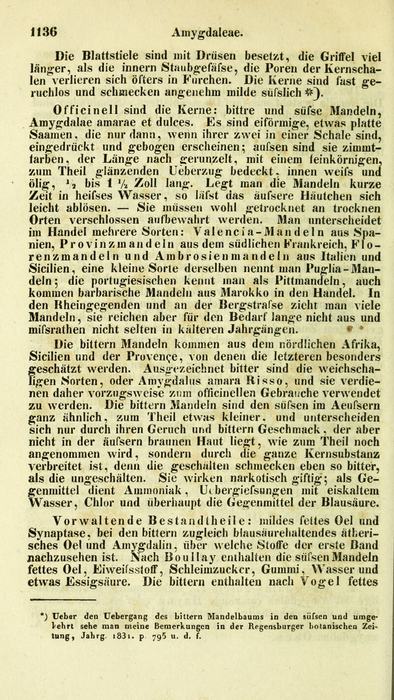 Die Blattstiele sind mit Drüsen besetzt, die Griffel viel länger, als die innern Staubgefäfse, die Poren der Kernscha- len verlieren sich öfters in Furchen. Die Kerne sind fast ge- ruchlos und schmecken angenehm milde süfslich Officinell sind die Kerne: bittre und süfse Mandeln, Amygdalae amarae et dulces. Es sind eiförmige, etwas platte Saamen, die nur dann, wenn ihrer zwei in einer Schale sind, eingedrückt und gebogen erscheinen; aufsen sind sie zimmt- tarben, der Länge nach gerunzelt, mit einem feinkörnigen, zum Theil glänzenden Ueberzug bedeckt, innen weifs und ölig, 12 bis 1 7* Zoll lang. Legt man die Mandeln kurze Zeit in heifses Wasser, so latst das äufsere Häutchen sich leicht ablösen. — Sie müssen wohl getrocknet an trocknen Orten verschlossen aufbewahrt werden. Man unterscheidet im Handel mehrere Sorten: V a 1 e n c i a - M a n d e 1 n aus Spa- nien, Provinz man de ln aus dem südlichen Frankreich, Flo- ren zman dein und Ambrosien m and ein aus Italien und Sicilien, eine kleine Sorte derselben nennt man Puglia-Man- deln; die portugiesischen kennt man als Pittmandeln, auch kommen barbarische Mandeln aus Marokko in den Handel. In den Rheingegenden und an der Bergstrafse zieht man viele Mandeln, sie reichen aber für den Bedarf lange nicht aus und mifsrathen nicht selten in kälteren Jahrgängen. Die bittern Mandeln kommen aus dem nördlichen Afrika, Sicilien und der Provence, von denen die letzteren besonders geschätzt werden. Ausgezeichnet bitter sind die weichscha- ligen Sorten, oder Amygdalus amara Risso, und sie verdie- nen daher vorzugsweise zum officinellen Gebrauche verw endet zu werden. Die bittern Mandeln sind den süfsen im Aeufsern ganz ähnlich, zum Theil etwas kleiner, und unterscheiden sich nur durch ihren Geruch und bittern Geschmack, der aber nicht in der äufsern braunen Haut liegt, wie zum Theil noch angenommen wird, sondern durch die ganze Kernsubstanz verbreitet ist, denn die geschälten schmecken eben so bitter, als die ungeschälten. Sie wirken narkotisch giftig; als Ge- genmittel dient Ammoniak, Ucbergiefsungen mit eiskaltem Wasser, Chlor und überhaupt die Gegenmittel der Blausäure. Vorwaltende Bestandtheile: mildes fettes Oel und Synaptase, bei den bittern zugleich blausäurehaltendes ätheri- sches Oel und Amygdalin, über welche Stoffe der erste Band nachzusehen ist. Nach Roullay enthalten die süfsen Mandeln fettes Oel, Eiweitsstoff, Schleimzuckcr, Gummi, Wasser und etwas Essigsäure. Die bittern enthalten nach Vogel fettes ') Ueber den Uebergang des bittern Mandelbaums in den süfsen und umge- kehrt sehe man meine Bemerkungen in der Regensburger botanischen Zei- tung, Jahrg. i83i. p 795 u. d. f.