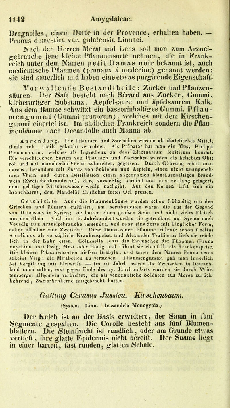 Brugnolles, einem Dorfe in der Provence, erhallen haben. — Prunus domestica var. galatcnsia Linnaei. Nach den Herren Zierat und Lens soll inan zum Arznei- gebrauche jene kleine Pflaumensorte nehmen, die in Frank- reich unter dem Namen petit Damas noir bekannt ist, auch medicinische Pflaumen (prunaux ä medecine) genannt werden 5 sie sind säuerlich und haben eine etwas purgirende Eigenschaft. V 0 r w a 11 e n d e B e s t a n d t h e i 1 e : Zucker und Pflanzen- säuren. Der Saft besteht nach Berard aus Zucker, Gummi, kleberartiger Substanz, Aepfelsäure und äpfelsaurem Kalk. Aus dem Baume schwitzt ein bassorinhaltiges Gummi, Pflau- inenguinmi (Gummi prunorum), welches mit dem Kirschen- gummi einerlei ist. Im südlichen Frankreich sondern die Pflau- menbäume nach Decandolle auch Manna ab. Anwendung. Die Pflaumen und Zwetschen werden als diätetisches Mittel, theih roh, theils gekocht verordnet. Als Präparat hat man ein Mus, Pulpa Prunorum, welches als Ingredienz zu dem Electuarium lenitivum kommt. Die verschiedenen Sorten von Pllaumen und Zwetschen werden als beliebtes Obst roh und auf mancherlei Weise zubereitet, gegessen. Durch Gährung erhält mau daraus . besonders mit Zusatz von Schlehen und Aepfeln, einen nicht unangeneh- men Wein und durch Destillation einen angenehmen blausäurehaltigen Brand- wein (Zwetschenbraudwein), der, vorsichtig bereitet und eine zeitlang gelagert, dem geistigen Kirschenwasser wenig nachgibt. Aus den Kernen läfst sich ein brauchbares, dem Mandelöl ähnliches fettes Oel pressen. Geschichte Auch die Pflaumenbäume wurden schon frühzeitig von den Griechen und Römern cullivirt, am berühmtesten waren die aus der Gegend von Damascus in Serien; sie hatten einen grofsen Stein und nicht vieles Fleisch um denselben Noch im 16. Jahrhundert wurden sie getrocknet aus Syrien nach Venedig zum Arzneigehrauche versendet, und zwar eine Sorte mit länglicher Form, daher offenbar eine Zwetsehe. Diese üamascener - Pflaume rühmte schon Coelius Aurelianus als vorzügliche Krankenspeise, und Alexander Trallianus lief* sie reich- lich in der Ruhr essen. Columella lehrt das Einmachen der Pflaumen (Pruna onychina, mit Essig, Most oder Honig und rühmt sie ebenfalls als Krankenspeise. Die kleinen Pflaumensorten hiefsen Brabyla , und unter dem Namen Pruna cerea scheint Virgil die Mirabellen zu verstehen Pflaumengummi gab man innerlich bei Vergiftung mit Bleiweifs. — Im 16. Jahrh waren die Zwetschen in Deutsch- land noch selten, erst gegen Ende des 17. Jahrhunderts wurden sie durch Wör- tern uerger allgemein verbreitet, die als venetianische Soldaten aus Morea zurück- kehrend , Zwetschenkerne mitgebracht hatten. Gattung Cerasus Jussieu. Kirschenbaum. (System. Linn. Icosandria Monogynia.) Der Kelch ist an der Basis erweitert, der Saum in fünf Segmente gespalten. Die Corolle besteht aus fünf Blumen- blättern. Die Steinfrucht ist rundlich, oder am Grunde etwas vertieft, ihre glatte Epidermis nicht bereift. Der Saarn« liegt in einer harten, fast runden, glatten Schale.