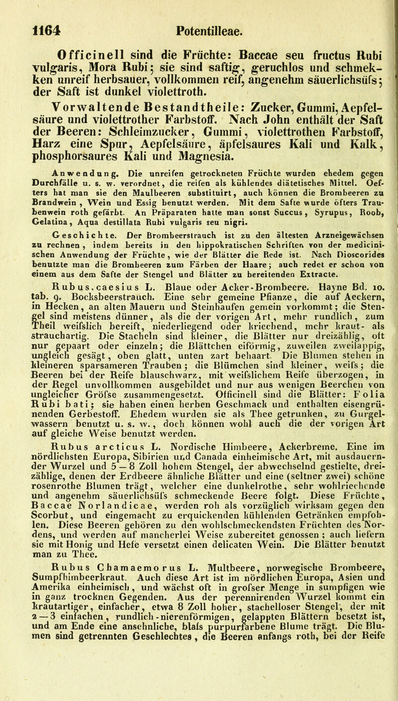 Officinell sind die Früchte: Baccae seu fructiis Rubi vulgaris, Mora Rubi; sie sind saftig, geruchlos und schmek- ken unreif herbsauer, vollkommen reif, angenehm säuerlichsüfs; der Saft ist dunkel violettroth. Vorwaltende Bestandtheile: Zucker, Gummi, Aepfel- säure und violettrother Farbstoff. Nach John enthält der Saft der Beeren: Schleimzucker, Gummi, violettrothen Farbstoff, Harz eine Spur, Aepfelsäure, äpfelsaures Kali und Kalk, phosphorsaures Kali und Magnesia. Anwendung. Die unreifen getrockneten Früchte wurden ehedem gegen Durchfälle u. s. w. verordnet, die reifen als kühlendes diätetisches Mittel. Oef- I ters hat man sie den Maulbeeren substituirt, auch können die Brombeeren zu ! Brandwein , Wein und Essig benutzt werden. Mit dem Safte wurde öfters Trau- ] benwein roth gefärbt. An Präparaten halte man sonst Succus, Syrupus, Roob, Gelatina, Aqua destillata Bubi vulgaris seu nigri. Geschichte. Der Brombeerstrauch ist zu den ältesten Arzneigewächsen zu rechnen , indem bereits in den hippokratischen Schriften von der medicipi- sehen Anwendung der Früchte , wie der Blätter die Rede ist. Nach Dioscorides benutzte man die Brombeeren zum Färben der Haare; auch redet er schon von einem aus dem Safte der Stengel und Blätter zu bereitenden Extracte. R ub US, caesi u s L. Blaue oder Acker-Brombeere. Hayne Bd. lo. tab. 9. Bocksbeerstrauch. Eine sehr gemeine Pflanze, die auf Aeckern, in Hecken, an alten Mauern und Steinhaufen gemein vorkommt; die Sten- fel sind meistens dünner, als die der vorigen Art, mehr rundlich, zum 'heil weifslich bereift, niederliegend oder kriechend, mehr kraut- als strauchartig. Die Stacheln sind kleiner, die Blätter nur dreizählig, oft nur gepaart oder einzeln; die Blättchen eiförmig, zuweilen zwcilappig, ungleich gesägt, oben glatt, unten zart behaart. Die Blumen stehen in kleineren sparsameren 'Trauben; die Blümchen sind kleiner, weifs; die Beeren bei der Reife blauschwarz, mit weifslichem Reife überzogen, in der Regel unvollkommen ausgebildct und nur aus wenigen Beerchen von ungleicher Gröfse zusammengesetzt. Officinell sind die Blätter: Folia Rubi bati; sie haben einen herben Geschmack und enthalten eisengrü- nenden Gerbestoff. Ehedem wurden sie als Thee getrunken, zu Gurgel- wassern benutzt u. s. w., doch können wohl auch die der vorigen Art auf gleiche Weise benutzt werden. Rubus arcticus L. Nordische Himbeere, Ackerbreme. Eine im nördlichsten Europa, Sibirien und Canada einheimische Art, mit ausdauern- der Wurzel und 5 — 8 Zoll hohem Stengel, der abwechselnd gestielte, drei- zählige, denen der Erdbeere ähnliche Blätter und eine (seltner zwei) schöne rosenrothe Blumen trägt, welcher eine dunkelrothe, sehr wohlriechende und angenehm säuerlichsüfs schmeckende Beere folgt. Diese Früchte, Baccae Norlandicae, werden roh als vorzüglich wirksam gegen den Scorbut, und eingemacht zu erquickenden kühlenden Getränken empfoh- len. Diese Beeren gehören zu den wohlschmeckendsten Früchten des Nor- dens, und werden auf mancherlei Weise zubereitet genossen; auch liefern sie mit Honig und Hefe versetzt einen delicaten Wein. Die Blätter benutzt man zu Thee. Rubus Chamaemorus L. Multbeere, norwe^sche Brombeere, Sumpfhimbeerkraut. Auch diese Art ist im nördlichen Europa, Asien und Amerika einheimisch, und wächst oft in grofser Menge in sumpfigen wie in ganz trocknen Gegenden. Aus der perennirenden Wurzel kommt ein krautartiger, einfacher, etwa 8 Zoll hoher, stachelloser Stengel, der mit 2 — 3 einfachen, rundlich-nierenförmigen, gelappten Blättern besetzt ist, und am Ende eine ansehnliche, blafs purpurfarbene Blume trägt. Die Blu- men sind getrennten Geschlechtes, die Beeren anfangs roth, bei der Reife