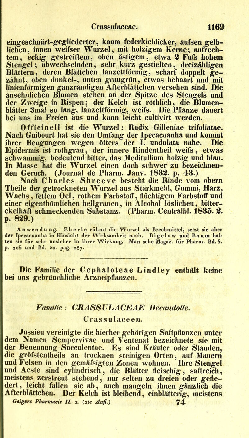 eingeschnürt-^e^liederter, kaum federkieldicker, aufsen gelb- lichen, innen weifser Wurzel, mit holzigem Kerne; aufrech- tem, eckig gestreiftem, oben ästigem, etwa 2 Fufs hohem Stengel; abwechselnden, sehr kurz gestielten, dreizähligen Blättern, deren Blättchen lanzettförmig, scharf doppelt ge- zähnt, oben dunkel-, unten graugrün, etwas behaart und mit linienförmigen ganzrandigen Afterblättchen versehen sind. Die ansehnlichen Blumen stehen an der Spitze des Stengels und der Zweige in Rispen; der Kelch ist röthlich, die Blumen- blätter 3mal so lang, lanzettförmig, weifs. Die Pflanze dauert bei uns im Freien aus und kann leicht cultivirt werden. Officinell ist die Wurzel: Radix Gilleniae trifoliatae. Nach Guibourt hat sie den Umfang der Ipecacuanha und kommt ihrer Beugungen wegen öfters der I. undulata nahe. Die Epidermis ist rothgrau, der innere Rindentheil weifs, etwas schwammig, bedeutend bitter, das Meditullium holzig und blau. In Masse nat die Wurzel einen doch schwer zu bezeichnen- den Geruch. (Journal de Pharm. Janv. 183^. p. 43.) Nach Charles Shreeve besteht die Rinde vom obern Theile der getrockneten Wurzel aus Stärkraehl, Gummi, Harz, Wachs, fettem Del, rothem Farbstoff, flüchtigem FarbstoflTund einer eigenthümlichen hellgrauen, in Alcohol löslichen, bitter- ekelhaft schmeckenden Substanz. (Pharm. Centralbl. 1835. 2. p. 8^9.) Anwendung. Eberle rühmt die Wurzel als Brechmittel, setzt sie aber der Ipecacuanha in Hinsicht der Wirksamkeit nach. Bigelow und Baum hal« ten sie für sehr unsicher in ihrer Wirkung. Man sehe Magaz. für Pharm. Bd. 5. p. 2o5 und Bd. 20. pag. 287. Die Familie der Cephaloteae Lindley enthält keine bei uns gebräuchliche Arzneipflanzen. Familie: CRASSULACEAE Recandolle. Crassulaceen. Jussieu vereinigte die hierher gehörigen Saftpflanzen unter dem Namen Sempervivae und Ventenat bezeichnete sie mit der Benennung Succulentae. Es sind Kräuter oder Stauden, die gröfstentheils an trocknen steinigen Orten, auf Mauern und Felsen in den gemäfsigten Zonen wohnen. Ihre Stengel und Aeste sind cylindrisch, die Blätter fleischig, saftreich, meistens zerstreut stehend, nur selten zu dreien oder gefie- dert, leicht fallen sie ab, auch mangeln ihnen gänzlich die Afterblättchen. Der Kelch ist bleibend, einblätterig, nfieistens Geigers Pharmaeie //. 2. (zie Aufl.) 74