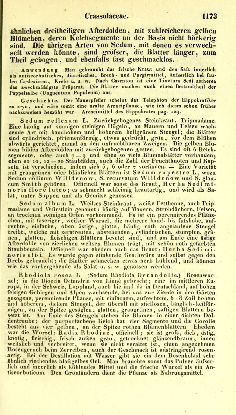 ähnlichen dreitheili^en Afterdolden ^ mit zahlreicheren g*elben Blümchen, deren Kelchsegmente an der Basis nicht höckerig sind. Die übrigen Arten von Sedum, mit denen es verwech- selt werden könnte, sind gröfser, die Blätter länger, zum Theil gebogen, und ebenfalls fast geschmacklos. Anwendung. Man gebraucht das frische Kraut und den Saft innerlich als antiscorbutisches, diuretisches, Brech- und Purgirniittel, aufserlich bei fau- len Geshwüren , Rrelis u. s. w. Nach Caventou ist eine Tinclura Sedi aetherea das zweckmäfsigste Präparat. Die Blätter machen auch einen Bcstandtheil der Pappelsalbe (Unguentum Populeum) aus Geschichte. Der Mauerpfeffer scheint das Telephion der Hippokratiker zu sejn, und wäre somit eine uralte Arzneipflanze, wie ich dieses schon früher nachzuweisen bemüht war. Arzneimittel des Hippokrates pag. 129. Sedum reflexum L. Zurüchgebogenes Steinkraut, Tripmadame. Eine häufig auf sonnigen steinigen Hügeln, an Mauern und Felsen wach- sende Art mit handhohem und höherem hellgrünem Stengel; die Blätter sind cylindrisch, pfriemenförmig, etwas gedrückt, grün, vor dem Blühen abwärts gerichtet, zumal an den unfruchtbaren Zweigen. Die gelben Blu- men bilden Afterdolden mit zurückgebogenen Aesten. Es sind oft 6 lielch- segmente, oder auch 7 — 9 und eben so viele Blumenblätter vorhanden; eben so 10, 12—20 Staubfäden, auch die Zahl der Fruchtknoten und Kap- seln ist verschieden, indem sich 5, 6 oder 7 vorfinden. — Eine Varietät mit graugrünen oder bläulichen Blättern ist Sedum rupestre L., wozu Sedum collinum AVilldenow, S. recurvatum Willdenow und S. glau- cum Smith gehören. Officincll war sonst das Kraut, Herba Sedi mi- noris flore luteo; es schmeckt schleimig krautartig, und wird als Sa- lat, unter Suppen und als Gemüse genossen, Sedum album L. Weifses Steinkraut, weifse Fetthenne, auch Trip- madame und Würstlein genannt; häufig auf Mauern, Strohdächern, Felsen, an trocknen sonnigen Orten vorkommend. Fs ist ein perennirendes Pflänz- chen, mit faseriger, weifser Wurzel, die mehrere band- bis fufshobe, auf- rechte, einfache, oben ästige, glatte, häufig roth angelauferie Stengel treibt, welche mit zerstreuten, abstehenden, tylindrischen, stumpfen, grü- nen, glatten, fleischigen Blättern besetzt sind, und am Ende eine ästige Afterdolde von zierlichen weifsen Blumen trägt, mit schön roth gefärbten Staubbeuteln. Officinell war ehedem am ii das Kraut: Herba Sedi ni i- noris albi. Es wurde gegen stinkende Gestiiwüre und selbst gegen den Krebs gebraucht; die Blatter schmecken etwas herb kühlend, und können wie das vorhergehende als Salat u. s. w. genossen werden. Rhodiola rosea L. (Sedum Khodiola De can dolle.) Rosenwur- zel; in die Dioecia Octandria von Finne gebracht; eine Im mittleren Eu- ropa, in der Schweiz, Lappland, auch hie und da in Deutschland, auf hohen felsigen Gebirgen und Alpen wachsende, bei uns zur Zierde in den Gärten gezogene, perennirende Pflanze, mit einfachem, aufrechtem, 6 -8 Zoll hohem und höherem, dickem Stengel, der überall mit stiellosen, länglich-keilför- migen, an der Spitze gesägten, glatten, graugrünen, saftigen Blättern be- setzt ist. Am Ende des Stengels stehen die Ülumen in einer dichten Dol- dentraube ; der purpurfarbene Kelch hat vier Segmente und die Corolle besteht aus vier gcloen , an der Spitze rothen Blumenblättern Ehedem war die Wurzel; Radix Rhodiae, officinell; sie ist grofs, dick, ästig, knotig, fleischig, frisch aufsen grau, getrocknet glänzendbraun, innen welfslich und verbreitet, wenn sie nicht veraltet ist, einen angenehmen Rosengeruch beim Zerreiben, auch der Geschmack ist adstringirend rosen- artig. Bei der Destillation mit Wass-er gibt sie ein dem Rosenholzöl sehr ähnlich riechendes blafsgelbes Oel. Man brauchte sonst das Pulver äufser- lich und innerlich als kühlendes Mittel und die frlsclie Wurzel als ein An- tiscorbuticum. Den Grönländern dient die Pflanze als Nahrungsmittel.