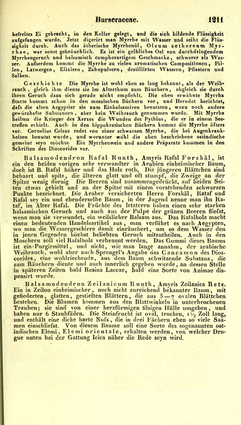 befreites £i gebracht, in den Keller gelegt, und die sich bildende Flüssigkeit aufgefangen wurde. Jetzt digerirt man Myrrhe mit Wasser und seiht die Flüs- sigkeit durch. Auch das ätherische Myrrhenöl, Oleum aethereum Myr» rhae, war sonst gebräuchlich. Es ist ein gelbliches Oel von durchdringendem Myrrhengeruch und balsamisch caraphorartigem Geschmacke, schwerer als Was- ser. Aufserdem kommt die Myrrhe zu vielen aromatischen Gompositionen, Pil- len, Latwergen, Elixiren , Zahnpulvern, destillirten Wassern, Pflastern und Salben. Geschichte Die Myrrhe ist wohl eben so lang bekannt, als der Weih» rauch, gleich ihm diente sie im Alterthum zum Räuchern, obgleich sie durch ihren Geruch dazu sich gerade nicht empfiehlt. Die oben erwähnte Myrrha Stacte kommt schon in den mosaischen Büchern vor, und Herodot berichtet, dafs die alten Aegyptier sie zum Einbalsamiren benutzten, wozu noch andere gewürzhafte Substanzen , aber kein Weihrauch genommen wurde. Mit Myrrhe heilten die Krieger des Xerxes die Wunden des Pylhius, die er in einem See- treffen erhielt. Auch in den hippokratischen Büchern kommt die Myrrhe öfters vor. Cornelius Celsus redet von einer schwarzen Myrrhe, die bei Augenkrank- heiten benutzt wurde, und worunter wohl die oben beschriebene ostindische gemeint seyn möchte. Ein Myrrhenwein und andere Präparate kommen in den Schriften des Dioscorides vor. Balsamotlendron Hafal Kiinth, Amyris Kafal Forshäl, ist ein den beiden vorigen sehr verwandter in Arabien einheimischer Baum, doch ist B. Kafal höher und das Holz roth, Die jüngeren Blättchen sind behaart und spitz, die älteren glatt und oft stumpf, die Zweige an der Spitze wenig dornig Die Beeren sind zusammengedrücht, auf beiden Sei- ten etwas gekielt und an der Spitze mit einem vorstehenden schwarzen Punkte bezeichnet. Die Araber versicherten Herrn Forskäl, Kataf und Kafal sey ein und ebenderselbe Baum, in der Jugend nenne man ihn Ka- taf, im Alter Kafal. Die Früchte des letzteren haben einen sehr starken balsamischen Geruch und auch aus der Pulpe der grünen Beeren fliefst, wenn man sie verwundet, ein weifslicher Balsam aus. Das Kafäiholz macht einen bedeutenden Handelsartikel aus , man verführt es nach Aegypten, wo man die Wassergeschirre damit einräuchert, um so dem Wasser den in jenen Gegenden höchst beliebten Geruch mitzutheilen. Auch in den Moscheen soll viel Kafalholz verbrannt werden. Das Gummi dieses Baums ist eimPurgirmittel, und nicht, wie man lange annahm, der arabische Weihrauch, wohl aber nach SprengePs Angabe das Cancamon des Dios- corides, eine wohlriechende, aus dem Baum schwitzende Substanz, die zum Räuchern diente und auch innerlich gegeben wurde, an dessen Stelle in späteren Zeiten bald Resina Laccae, bald eine Sorte von Animae dis- pensirt wurde. B al sa modendron Zeilanic um Kunth, Amyris Zeilanica Retz. Ein in Zcilon einheimischer, noch nicht zureichend bekannter Baum, mit gefiederten, glatten, gestielten Blättern, die aus 5 — 7 ovalen Blättchen bestehen. Die Blumen kommen aus den Blattwinkeln in unterbrochenen Trauben; sie sind von einer herzförmigen filzigen Hülle umgeben, und haben nur 6 Staubfäden. Die Steinfrucht ist oval, trocken, i V2 Zoll lang, und enthält eine dicke harte Nufs, die in drei Fächern eben so viele Saa- men einschliefst. Von diesem Baume soll eine Sorte des sogenannten ost- indischen Elemi, Elemi orientale, erhalten werden, von welcher Dro- gue unten bei der Gattung Icica näher die Rede seyn wird.