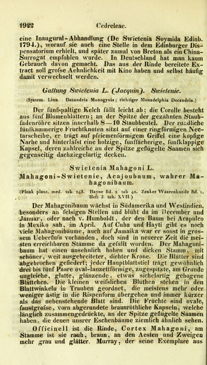 eine Inaugural-Abhandlung (De Swietenia Soymida Edinb. 1794.), worauf sie auch eine Stelle in dem Edinbiirger Dis- pensatorium erhielt, und später zumal von Breton als ein China- Surrogat empfohlen wurde. In Deutschland hat man kaum Gebrauch davon gemacht. Das aus der Rinde bereitete Ex- tract soll grofse Aehnlichkeit mit Kino haben und selbst häufig damit verwechselt werden. Gattung ^wictmia L. QJacquinJ, Swietenie, (System. Linn. Oecandria Monogynia; richtiger Monadciphia Decandria.) Der fünfspaltige Kelch fällt leicht ab, die Corolle besteht aus fünf Blumenblättern 5 an der Spitze der gezähnten Staub- fadenröhre sitzen innerhalb 8 —10 Staubbeutel. Der rur.dliche tüntkaminerige Fruchtknoten sitzt auf einer ringförmigen Nec- tarscheibe, er trägt auf pfriemenförmigem Griffel eine kopfige Narbe und hinterläfst eine holzige, fünffächerige, ftinfklappige Kapsel, deren zahlreiche an der Spitze geflügelte Saamen sich gegenseitig dachziegelartig decken. Swietenia Mahagoni L. Mahagoni-Swietenie, Acajoubaum, wahrer Ma- hagonibaum. (Plenk plant, med. tab, 243. Hayne Bd. 2 fab 42. Zenker Waarenkunde Bd. 1. Heft 3. tab. XVII.) Der Mahagonibaum wächst in Südamerika und Westindien, besonders an felsigen Stellen und blüht da im December und Januar, oder nach v. Humboldt, der den Baum bei Acapulco in Mexiko sah, im April. Auf Cuba und Hayti gibt es noch viele Mahagonibäume, auch auf Jamaika war er sonst in gros- sem Ueberflufs vorhanden, doch sind in neuerer Zeit die mei- ' sten erreichbaren Stämme da gefällt worden. Der Mahagoni- baum hat einen ansehnlich hohen und dicken Stamm, mit schöner, weit ausgebreiteter, dichter Krone. Die Blätter sind abgebrochen gefiedert; jeder Hauptblattstiel trägt gewöhnlich drei bis fünf Paare oval-lanzettförmige, zugespitzte, am Grunde ungleiche, glatte, glänzende, etwas sichelartig gebogene Blättchen. Die kleinen weifslichen Blüthen stehen in den Blattwinkeln in Trauben geordnet, die meistens mehr oder weniger ästig in die Rispenform übergehen und immer kürzer als das nebenstehende Blatt sind. Die Früchte sind ovale, faustgrofse, vorn abgerundete braunröthliche Kapseln, welche länglich zusammengedrückte, an der Spitze geflügelte Saamen haben, die denen unsrer Eschenbäume ziemlich ähnlich sehen. Officinell ist die Rinde, Cortex Mahagoni, am Stamme ist sie rauh, braun, an den Aesten und Zweigen mehr grau und glätter. Murray, der seine Exemplare aus