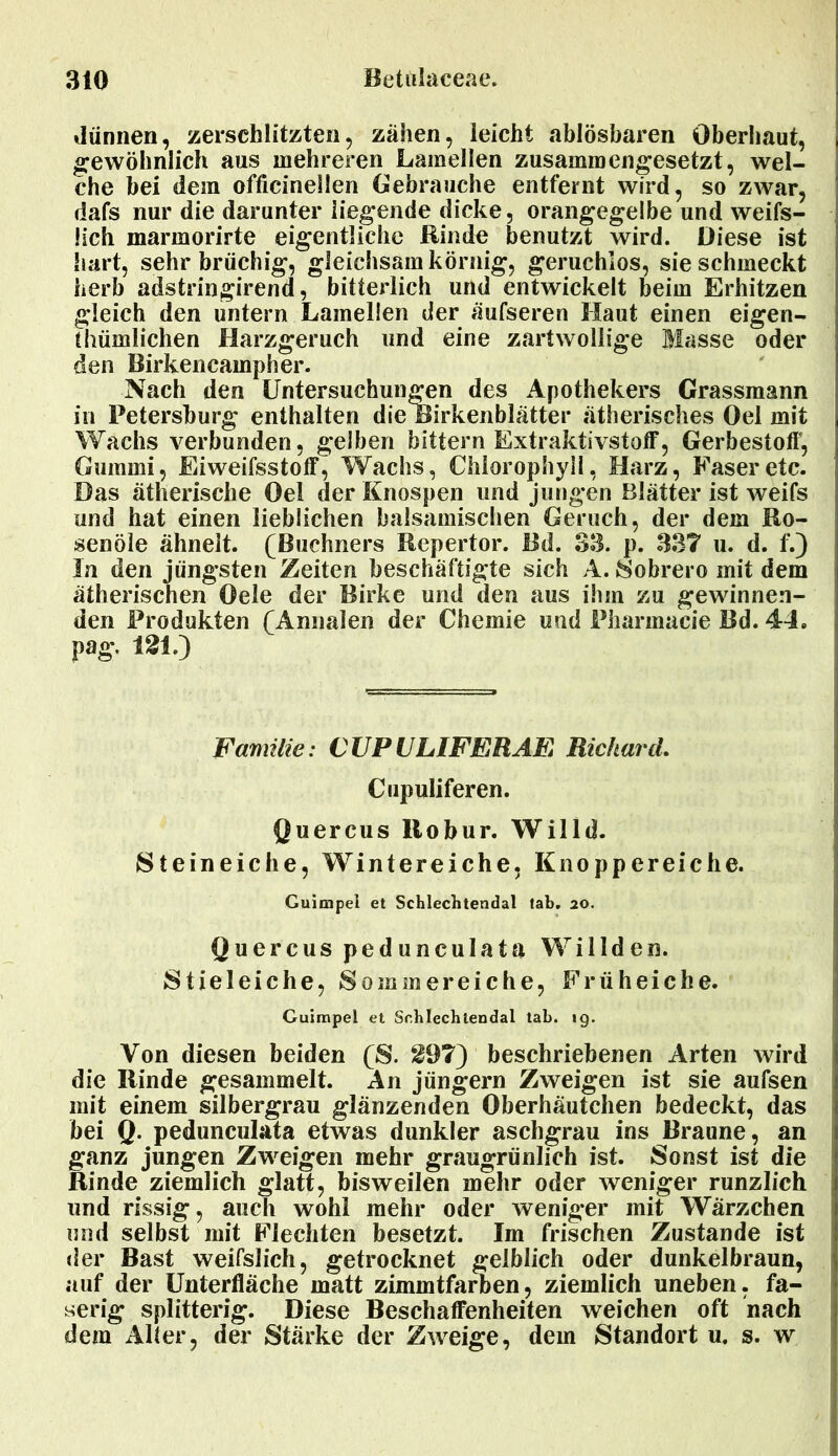 dünnen, zerschlitzten, zähen, leicht ablösbaren Oberhaut, gewöhnlich aus mehreren Lamellen zusammengesetzt, wel- che bei dem officinellen Gebrauche entfernt wird, so zwar, dafs nur die darunter liegende dicke, orangegelbe und weifs- lich marmorirte eigentliche Rinde benutzt wird. Diese ist hart, sehr brüchig, gleichsam körnig, geruchlos, sie schmeckt herb adstringirend, bitterlich und entwickelt beim Erhitzen gleich den untern Lamellen der äufseren Haut einen eigen- tümlichen Harzgeruch und eine zart wollige Masse oder den Rirkencampher. Nach den Untersuchungen des Apothekers Grassmann in Petersburg enthalten die Birkenblätter ätherisches Oel mit Wachs verbunden, gelben bittern Extraktivstoff, Gerbestotf, Gummi, Eiweifsstoff, Wachs, Chlorophyll, Harz, Faser etc. Das ätherische Oel der Knospen und jungen Blätter ist weifs und hat einen lieblichen balsamischen Geruch, der dem Ro- senöle ähnelt. (Büchners Repertor. Bd. 33. p. 33T u. d. f.) In den jüngsten Zeiten beschäftigte sich A. Sobrero mit dem ätherischen Oele der Birke und den aus ihm zu gewinnen- den Produkten (Annalen der Chemie und Pharmacie Bd. 44. pag. 121.) Familie: CUP(JLIFERAE Richard. Cupuliferen. Quercus llobur. Willd. Steineiche, Wintereiche. Knoppereiche. Guimpel et Schlechtendal tab. 20. Quercuspedunculata Willden. Stieleiche, Sommereiche, Früheiche. Guimpel et Schlechtendal tab. 19. Von diesen beiden (S. ^9?) beschriebenen Arten wird die Rinde gesammelt. An jüngern Zweigen ist sie aufsen mit einem silbergrau glänzenden Oberhäutchen bedeckt, das bei Q. pedunculata etwas dunkler aschgrau ins Braune, an ganz jungen Zweigen mehr graugrünlich ist. Sonst ist die Rinde ziemlich glatt, bisweilen mehr oder weniger runzlich und rissig, auch wohl mehr oder weniger mit Wärzchen und selbst mit Flechten besetzt. Im frischen Zustande ist der Bast weifslich, getrocknet gelblich oder dunkelbraun, auf der Unterfläche matt zimmtfarben, ziemlich uneben, fa- serig splitterig. Diese Beschaffenheiten weichen oft nach dem Alter, der Stärke der Zweige, dem Standort u. s. w