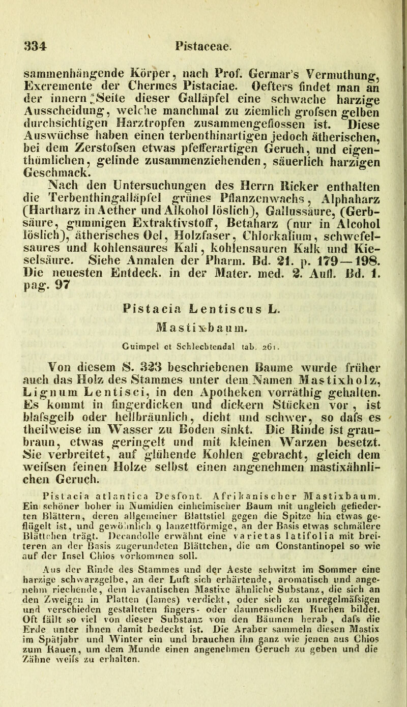 sammenhäiigende Körper, nach Prof. Germar’s Vermuthung, Excremente der Chermes Pistaciae. Oefters findet man an der innern^Seite dieser Galläpfel eine schwache harzige Ausscheidung, welche manchmal zu ziemlich grofsen gelben durchsichtigen Harztropfen zusammengefiossen ist. Diese Auswüchse haben einen terbenthinartigen jedoch ätherischen, bei dem Zerstofsen etwas pfefferartigen Geruch, und eigen- thümlichen, gelinde zusammenziehenden, säuerlich harzigen Geschmack. Nach den Untersuchungen des Herrn llicker enthalten die Terbenthingalläpfel grünes Pflanzenwachs, Alphaharz (Hartharz in Aether und Alkohol löslich), Gallussäure, (Gerb- säure, gummigen Extraktivstoff, Betaharz (nur in Alcohol löslich), ätherisches Del, Holzfaser, Chlorkalium, schwefel- saures und kohlensaures Kali, kohlensauren Kalk und Kie- selsäure. Siehe Annalen der Pharm. Bd. 21. p. 179—198. Die neuesten Entdeck, in der Mater, med. 2. Aull. Bd. 1. pag. 97 Pistacia Lentiscus L. Mastixbau in. Guimpel et Schlecbtendal tab, 261. Von diesem S. 323 beschriebenen Baume wurde früher auch das Holz des Stammes unter dem Namen Mastixholz, Lignum Lenti sei, in den Apotheken vorräthig gehalten. Es kommt in fingerdicken und dickem Stücken vor , ist blafsgeib oder heil bräunlich, dicht und schwer, so dafs es theilweise im Wasser zu Boden sinkt. Die Rinde ist grau- braun, etwas geringelt und mit kleinen Warzen besetzt. Sie verbreitet, auf glühende Kohlen gebracht, gleich dem weifsen feinen Holze selbst einen angenehmen mastixähnli- chen Geruch. Pistacia atlantica Desto nt. Afrikanischer Mastixbau ni. Ein schöner hoher in Numitlien einheimischer Baum mit ungleich gefieder- ten Blättern, deren allgemeiner Blattstiel gegen die Spitze hin etwas ge- flügelt ist, und gewöhnlich 9 lanzettförmige, an der Basis etwas schmälere Blättchen tragt. Decandollc erwähnt eine varietas latifolia mit brei- teren an der Basis zugerundeten Blättchen, die um Constantinopel so wie auf der Insel Chios Vorkommen soll. Aus der Rinde des Stammes und der Aeste schwitzt im Sommer eine harzige schwarzgelbe, an der Luft sich erhärtende, aromatisch und ange- nehm riechende, dem levantischen Mastixe ähnliche Substanz, die sich an den Zweigen in Platten (Iames) verdickt, oder sich zu unregelmäfsigen und verschieden gestalteten fingers- oder daumensdicken Buchen bildet. Oft fällt so viel von dieser Substanz von den Bäumen herab , dafs die Erde unter ihnen damit bedeckt ist. Die Araber sammeln diesen Mastix im Spätjahr und Winter ein und brauchen ihn ganz wie jenen aus Chios zum Bauen, um dem Munde einen angenehmen Geruch zu geben und die Zahne weifs zu erhalten.