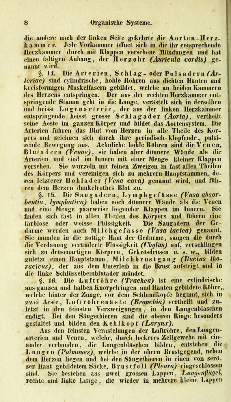 die andere nach der linken Seite gekehrte die Aorten-Herz- kammer. Jede Vorkammer öffnet sich in die ihr entsprechende Herzkammer durch mit Klappen versehene Mündungen und hat einen faltigen Anhang, der Herzohr (Auricula cordis) ge- nannt wird. §. 14. Die Arterien, Schl ag- oder Puls adern (Ar- leriae) sind cylindrische, hohle Röhren aus dichten Häuten und kreisförmigen Muskelfasern gebildet, welche an beiden Kammern des Herzens entspringen. Der aus der rechten Herzkammer ent- springende Stamm geht in die Lunge, verästelt sich in derselben und heisst Lugenarterie, der aus der linken Herzkammer , entspringende heisst grosse Schlagader (Aorta), vertheilt j seine Aeste im ganzen Körper und bildet das Aortensystem. Die Arterien führen das Blut vom Herzen in alle Theile des Kör- pers und zeichnen sich durch ihre periodisch-klopfende, pulsi- rende Bewegung aus. Aehnliche hohle Röhren sind die Vene n, Blutadern (Venae), sie haben aber dünnere Wände als die Arterien und sind im Innern mit einer Menge kleiner Klappen versehen. Sie wurzeln mit feinen Zweigen in fast allen Theilen des Körpers und vereinigen sich zu mehrern Hauptstämmen, de- ren letzterer Ho hl ad er (Vena cava) genannt wird, und füh- ren dem Herzen dunkelrothes Blut zu. §. 15. Die Saugadern, Lymphgefässe (Vasaabsor- bentia, lymphatica) haben noch dünnere Wände als die Venen und eine Menge paarweise liegender Klappen im Innern. Sie finden sich fast in allen Theilen des Körpers und fuhren eine farblose oder weisse Flüssigkeit. Die Saugadern der Ge- därme werden auch Milchgefässe (Vasa lactea) genannt. Sie münden in die zottige Haut der Gedärme, saugen die durch die Verdauung veränderte Flüssigkeit (Chylus) auf, verschlingen sich zu drüsenartigen Körpern, Gekrösdrüsen u. s. w., bilden zuletzt einen Hauptstamm, Milchbrustgang (Ductus iho~ racicus), der aus dem Unterleib in die Brust aufsteigt und in die linke Schlüsselbeinblutader mündet. §. 16. Die Luftröhre (Ti'achea) ist eine cylindrische aus ganzen und halben Knorpelringen und Häuten gebildete Röhre,* welche hinter der Zunge, vor dem Schlundkopfe beginnt, sich in zwei Aeste, Luftröhrenäste (Bronchia) vertheilt und zu- letzt in den feinsten Verzweigungen, in den Lungenbläschen endigt. Bei den Säugethieren sind die oberen Ringe besonders gestaltet und bilden den Kehlkopf (Larynx). Aus den feinsten Verästelungen der Luftröhre, den Lungen- arterien und Venen, welche, durch lockeres Zellgewebe mit ein- ander verbunden, die Lungenbläschen bilden, entstehen die Lungen (Pulmones), welche in der obern Brustgegend, neben dem Herzen liegen und bei den Säugethieren in einen von serö- ser Haut gebildetem Sacke, Brustfell (Pleura) eingeschlossen sind. Sie bestehen aus zwei grossen Lappen, Lungenflügel, rechte und linke Lunge, die wieder in mehrere kleine Lappen