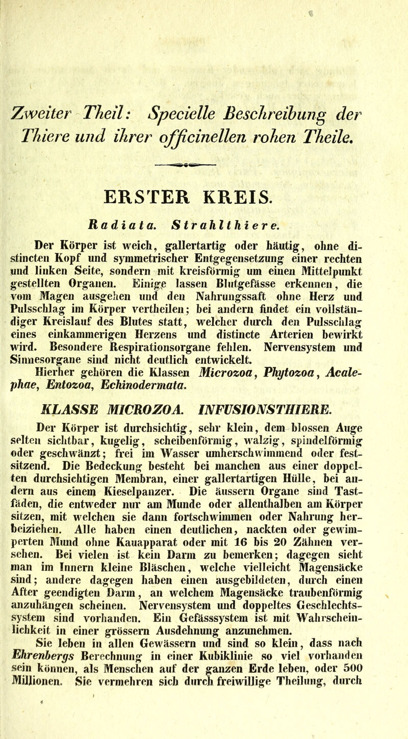 Zweiter Theil: Specielle Beschreibung der Thiere und ihrer ofßcinellen rohen Theile. ERSTER KREIS. Ra di ata. Strahlthier e. Der Körper ist weich, gallertartig oder häutig, ohne di- stincten Kopf und symmetrischer Entgegensetzung einer rechten und linken Seite, sondern mit kreisförmig um einen Mittelpunkt gestellten Organen. Einige lassen Blutgefässe erkennen, die vom Magen ausgehen und den Nahrungssaft ohne Herz und Pulsschlag im Körper vertheilen; bei andern findet ein vollstän- diger Kreislauf des Blutes statt, welcher durch den Pulsschlag eines einkammerigen Herzens und distincte Arterien bewirkt wird. Besondere Respirationsorgane fehlen. Nervensystem und Sinnesorgane sind nicht deutlich entwickelt. Hierher gehören die Klassen Microzoa, Phytozoa, Acale- phae, Entozoa, Echinodermata. KLASSE MICROZOA. INFUSIONSTHIERE. Der Körper ist durchsichtig, sehr klein, dem blossen Auge selten sichtbar, kugelig, scheibenförmig, walzig, spindelförmig oder geschwänzt; frei im Wasser umherschwimmend oder fest- sitzend. Die Bedeckung besteht bei manchen aus einer doppel- ten durchsichtigen Membran, einer gallertartigen Hülle, bei an- dern aus einem Kieselpanzer. Die äussern Organe sind Tast- fäden, die entweder nur am Munde oder allenthalben am Körper sitzen, mit welchen sie dann fortschwimmen oder Nahrung her- beiziehen. Alle haben einen deutlichen, nackten oder gewim- perten Mund ohne Kauapparat oder mit 16 bis 20 Zähnen ver- sehen. Bei vielen ist kein Darm zu bemerken; dagegen sieht man im Innern kleine Bläschen, welche vielleicht Magensäcke sind; andere dagegen haben einen ausgebildeten, durch einen After geendigten Darm, an welchem Magensäcke traubenförmig anzuhängen scheinen. Nervensystem und doppeltes Geschlechts- system sind vorhanden. Ein Gefässsystem ist mit Wahrschein- lichkeit in einer grossem Ausdehnung anzunehmen. Sie leben in allen Gewässern und sind so klein, dass nach Ehrenbergs Berechnung in einer Kubiklinie so viel vorhanden sein können, als Menschen auf der ganzen Erde leben, oder 500 Millionen. Sie vermehren sich durch freiwillige Theilung, durch