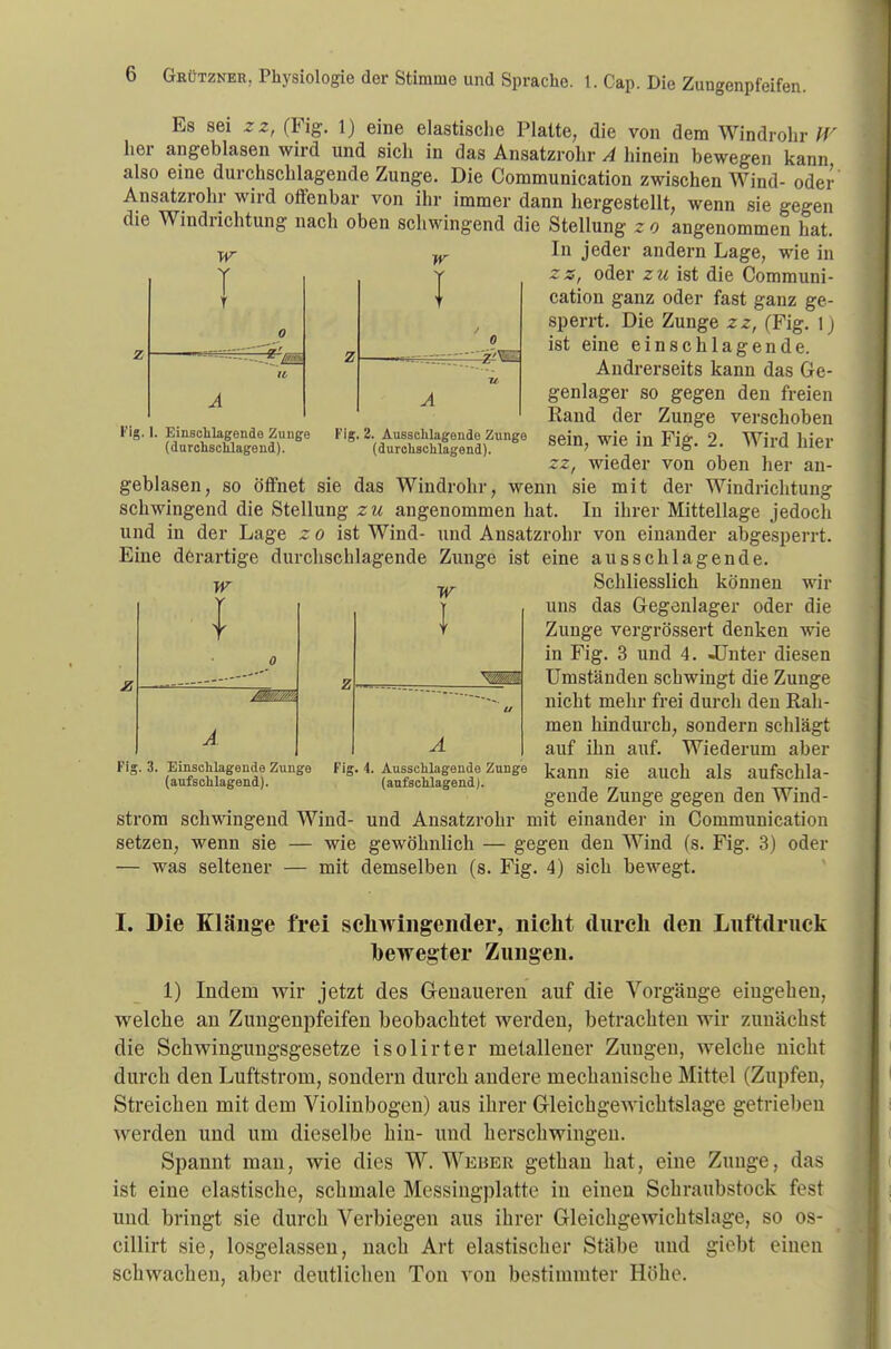 Es sei zz, (Fig. 1) eine elastische Platte, die von dem Windrohr W her angeblasen wird und sich in das Ansatzrohr A hinein bewegen kann also eine durchschlagende Zunge. Die Communication zwischen Wind- oder Ansatzrohr wird offenbar von ihr immer dann hergestellt, wenn sie gegen die Windrichtung nach oben schwingend die Stellung z o angenommen hat. In jeder andern Lage, wie in z w I w o Z'tZ Fig. 1. Einschlagende Zunge (durchschlagend). Fig. 2. Ausschlagende Zunge (durchschlagend). zz, oder zu ist die Communi- cation ganz oder fast ganz ge- sperrt. Die Zunge zz, (Fig. lj ist eine einschlagende. Andrerseits kann das Ge- genlager so gegen den freien Rand der Zunge verschoben sein, wie in Fig. 2. Wird hier zz, wieder von oben her an- w \ l , ...Vi HU geblasen, so öffnet sie das Windrohr, wenn sie mit der Windrichtung schwingend die Stellung zu angenommen hat. In ihrer Mittellage jedoch und in der Lage z o ist Wind- und Ansatzrohr von einander abgesperrt. Eine derartige durchschlagende Zunge ist eine ausschlagende. w Schliesslich können wir uns das Gegenlager oder die Zunge vergrössert denken wie in Fig. 3 und 4. -Unter diesen Umständen schwingt die Zunge nicht mehr frei durch den Rah- men hindurch, sondern schlägt auf ihn auf. Wiederum aber kann sie auch als aufschla- gende Zunge gegen den Wind- strom schwingend Wind- und Ansatzrohr mit einander in Communication setzen, wenn sie — wie gewöhnlich — gegen den Wind (s. Fig. 3) oder — was seltener — mit demselben (s. Fig. 4) sich bewegt. Fi! . 3. Einschlagende Zunge (aufschlagend). Fis 4. Ausschlagende Zunge (aufschlagend). I. Die Klänge frei schwingender, nicht durch den Luftdruck bewegter Zungen. 1) Indern wir jetzt des Genaueren auf die Vorgänge eingeben, welche an Zungenpfeifen beobachtet werden, betrachten wir zunächst die Schwingungsgesetze isolirter metallener Zungen, welche nicht durch den Luftstroni, sondern durch andere mechanische Mittel (Zupfen, Streichen mit dem Violinbogen) aus ihrer Gleichgewichtslage getrieben werden und um dieselbe hin- und herschwingen. Spannt man, wie dies W. Weber gethan hat, eine Zunge, das ist eine elastische, schmale Messingplatte in einen Schraubstock fest und bringt sie durch Verbiegen aus ihrer Gleichgewichtslage, so os- cillirt sie, losgelassen, nach Art elastischer Stäbe und giebt einen schwachen, aber deutlichen Ton von bestimmter Höhe.