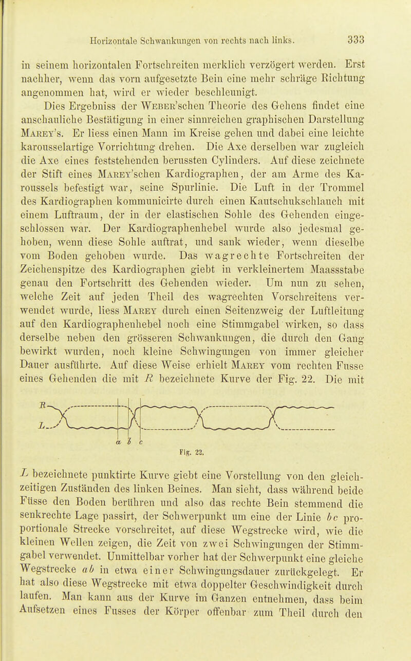 in seinem horizontalen Fortscbreiten merklich verzögert werden. Erst nachher, wenn das vorn aufgesetzte Bein eine mehr schräge Richtung angenommen hat, wird er wieder beschleunigt. Dies Ergebniss der WEBER'schen Theorie des Gehens findet eine anschauliche Bestätigung in einer sinnreichen graphischen Darstellung Marey's. Er Hess einen Mann im Kreise gehen und dabei eine leichte karousselartige Vorrichtung drehen. Die Axe derselben war zugleich die Axe eines feststehenden berussten Cylinders. Auf diese zeichnete der Stift eines MAREY'schen Kardiographen, der am Arme des Ka- roussels befestigt war, seine Spurlinie. Die Luft in der Trommel des Kardiographen kommunicirte durch einen Kautschukschlauch mit einem Luftraum, der in der elastischen Sohle des Gehenden einge- schlossen war. Der Kardiographenhebel wurde also jedesmal ge- hoben, wenn diese Sohle auftrat, und sank wieder, wenn dieselbe vom Boden gehoben wurde. Das wag rechte Fortschreiten der Zeichenspitze des Kardiographen giebt in verkleinertem Maassstabe genau den Fortschritt des Gehenden wieder. Um nun zu sehen, welche Zeit auf jeden Theil des wagrechten Vorschreitens ver- wendet wurde, Hess Marey durch einen Seitenzweig der Luftleitung auf den Kardiographenhebel noch eine Stimmgabel wirken, so dass derselbe neben den grösseren Schwankungen, die durch den Gang bewirkt wurden, noch kleine Schwingungen von immer gleicher Dauer ausführte. Auf diese Weise erhielt Marey vom rechten Fusse eines Gehenden die mit R bezeichnete Kurve der Fig. 22. Die mit die Fig. 22. L bezeichnete punktirte Kurve giebt eine Vorstellung von den gleich- zeitigen Zuständen des linken Beines. Man sieht, dass während beide Füsse den Boden berühren und also das rechte Bein stemmend die senkrechte Lage passirt, der Schwerpunkt um eine der Linie bc pro- portionale Strecke vorschreitet, auf diese Wegstrecke wird, wie die kleinen Wellen zeigen, die Zeit von zwei Schwingungen der Stimm- gabel verwendet. Unmittelbar vorher hat der Schwerpunkt eine gleiche Wegstrecke ab in etwa einer Schwingungsdauer zurückgelegt. Er hat also diese Wegstrecke mit etwa doppelter Geschwindigkeit durch laufen. Man kann aus der Kurve im Ganzen entnehmen, dass beim Aufsetzen eines Fusses der Körper offenbar zum Theil durch den