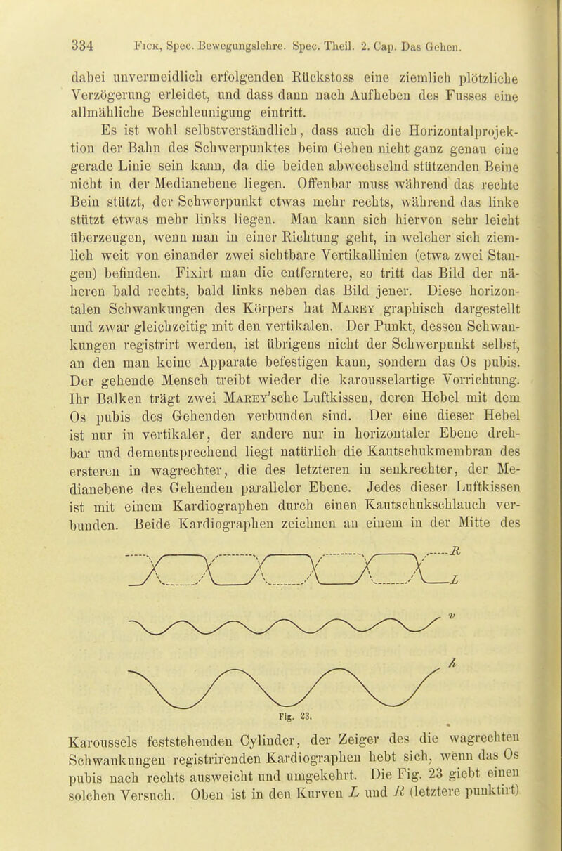 dabei unvermeidlich erfolgenden Rückstoss eine ziemlich plötzliche Verzögerung erleidet, und dass dann nach Aufheben des Fusses eine allmähliche Beschleunigung eintritt. Es ist wohl selbstverständlich, dass auch die Horizontalprojek- tion der Bahn des Schwerpunktes beim Gehen nicht ganz genau eine gerade Linie sein kann, da die beiden abwechselnd stützenden Beine nicht in der Medianebene liegen. Offenbar muss während das rechte Bein stützt, der Schwerpunkt etwas mehr rechts, während das linke stützt etwas mehr links liegen. Man kann sich hiervon sehr leicht Uberzeugen, wenn man in einer Richtung geht, in welcher sich ziem- lich weit von einander zwei sichtbare Vertikallinien (etwa zwei Stan- gen) befinden. Fixirt man die entferntere, so tritt das Bild der nä- heren bald rechts, bald links neben das Bild jener. Diese horizon- talen Schwankungen des Körpers hat Makey graphisch dargestellt und zwar gleichzeitig mit den vertikalen. Der Punkt, dessen Schwan- kungen registrirt werden, ist übrigens nicht der Schwerpunkt selbst, an den man keine Apparate befestigen kann, sondern das Os pubis. Der gehende Mensch treibt wieder die karousselartige Vorrichtung. Ihr Balken trägt zwei MAREY'sche Luftkissen, deren Hebel mit dem Os pubis des Gehenden verbunden sind. Der eine dieser Hebel ist nur in vertikaler, der andere nur in horizontaler Ebene dreh- bar und dementsprechend liegt natürlich die Kautschukmembran des ersteren in wagrechter, die des letzteren in senkrechter, der Me- dianebene des Gehenden paralleler Ebene. Jedes dieser Luftkissen ist mit einem Kardiographien durch einen Kautschukschlauch ver- bunden. Beide Kardiographen zeichnen an einem in der Mitte des Fig. 23. Karoussels feststehenden Cylinder, der Zeiger des die wagrechten Schwankungen registrirenden Kardiographen hebt sich, wenn das Os pubis nach rechts ausweicht und umgekehrt. Die Fig. 23 giebt einen solchen Versuch. Oben ist in den Kurven L und R (letztere punktirt)