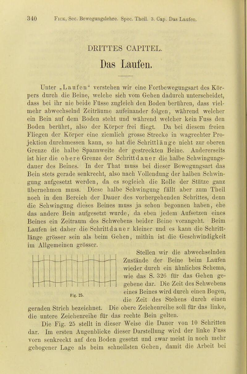 DRITTES CAPITEL. Das Laufen. Unter „Laufen verstehen wir eine Fortbewegungsart des Kör- pers durch die Beine, welche sich vom Gehen dadurch unterscheidet, dass bei ihr nie beide Füsse zugleich den Boden berühren, dass viel- mehr abwechselnd Zeiträume aufeinander folgen, während welcher ein Bein auf dem Boden steht und während welcher kein Fuss den Boden berührt, also der Körper frei fliegt. Da bei diesem freien Fliegen der Körper eine ziemlich grosse Strecke in wagrechter Pro- jektion durchmessen kann, so hat die Schrittlänge nicht zur oberen Grenze die halbe Spannweite der gestreckten Beine. Andererseits ist hier die obere Grenze der Schritt cl au er die halbe Schwingungs- dauer des Beines. In der That muss bei dieser Bewegungsart das Bein stets gerade senkrecht, also nach Vollendung der halben Schwin- gung aufgesetzt werden, da es sogleich die Rolle der Stütze ganz übernehmen muss. Diese halbe Schwingung fällt aber zum Theil noch in den Bereich der Dauer des vorhergehenden Schrittes, denn die Schwingung dieses Beines muss ja schon begonnen haben, ehe das andere Bein aufgesetzt wurde, da eben jedem Aufsetzen eines Beines ein Zeitraum des Schwebens beider Beine vorangeht. Beim Laufen ist daher die Schrittdauer kleiner und es kann die Schritt- länge grösser sein als beim Gehen, mithin ist die Geschwindigkeit im Allgemeinen grösser. Stellen wir die abwechselnden Zustände der Beine beim Laufen wieder durch ein ähnliches Schema, wie das S. 326 für das Gehen ge- gebene dar. Die Zeit des Schwebens eines Beines wird durch einen Bogen, die Zeit des Stehens durch einen geraden Strich bezeichnet. Die obere Zeichenreihe soll für das linke, die untere Zeichenreihe für das rechte Bein gelten. Die Fig. 25 stellt in dieser Weise die Dauer von 10 Schritten dar. Im ersten Augenblicke dieser Darstellung wird der linke Fuss vorn senkreckt auf den Boden gesetzt und zwar meist in noch mehr gebogener Lage als beim schnellsten Gehen, damit die Arbeit bei