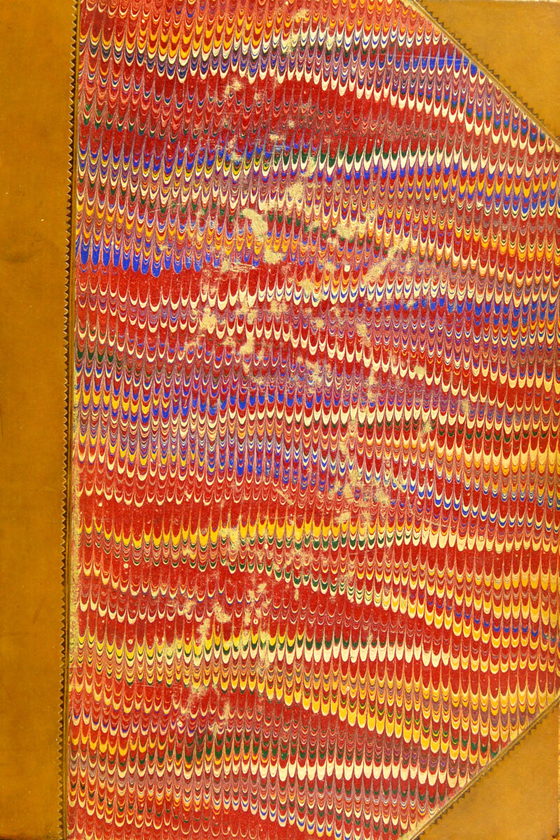 No text description is available for this image