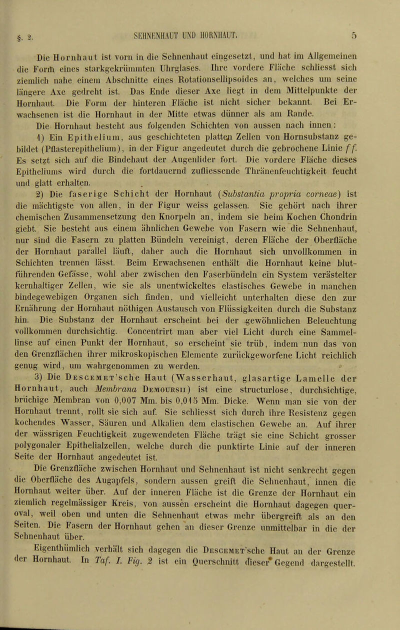 Die Hornhaut ist vorn in die Sehnenhaut eingesetzt, und hat im Allgemeinen die Form eines starkgekrünnnten Uhrglases. Ihre vordere Fläche schliesst sich ziemlich nahe einem Abschnitte eines Rotationsellipsoidcs an, welches um seine längere Axe gedreht ist. Das Ende dieser Axe liegt in dem Mittelpunkte der Hornhaut. Die Form der hinteren Fläche ist nicht sicher bekannt. Bei Er- wachsenen ist die Hornhaut in der Mitte etwas dünner als am Rande. Die Hornhaut besteht aus folgenden Schichten von aussen nach innen: 1) Ein Epitheliura, aus geschichteten plattoji Zellen von Hornsubstanz ge- bildet (Pflastcrepithclium), in der Figur angedeutet durch die gebrochene Linie ff. Es setzt sich auf die Bindehaut der Augenlider fort. Die vordere Fläche dieses Epitheliums wird durch die fortdauernd zutliessende Thränenfeuchtigkeit feucht imd glatt erhalten. 2) Die faserige Schicht der Hornhaut [Suhstantia propria corneae) ist die mächtigste von allen, in der Figur weiss gelassen. Sie gehört nach ihrer chemischen Zusammensetzung den Knorpeln an, indem sie beim Kochen Chondrin giebt. Sie besteht aus einem ähnlichen Gewebe von Fasern wie die Sehnenhaut, nur sind die Fasern zu platten Bündeln vereinigt, deren Fläche der Oberfläche der Hornhaut parallel läuft, daher auch die Hornhaut sich unvollkommen in Schichten trennen lässt. Beim Erwachsenen enthält die Hornhaut keine blut- führenden Gefässe, wohl aber zwischen den Faserbündeln ein System verästelter kenilialtiger Zellen, wie sie als unentwickeltes elastisches Gewebe in manchen bindegewebigen Organen sich finden, und vielleicht unterhalten diese den zur Ernährung der Hornhaut nöthigen Austausch von Flüssigkeiten durch die Substanz hin. Die Substanz der Hornhaut erscheint bei der gewöhnlichen Beleuchtung vollkommen durchsichtig. Concentrirt man aher viel Licht durch eine Sammel- linse auf einen Punkt der Hornhaut, so erscheint sie trüb, indem nun das von den Grenzflächen ihrer milo-oskopischen Elemente zurückgeworfene Licht reichlich genug wird, um wahrgenommen zu werden. 3) Die DESCEMET'sche Haut (Wasserhaut, glasartige Lamelle der Hornhaut, auch Membrana Demoursii) ist eine structurlose, durchsichtige, brüchige Membran von 0,007 Mm. bis 0,015 Mm. Dicke. Wenn man sie von der Hornhaut trennt, rollt sie sich auf Sie schliesst sich durch ihre Resistenz gegen kochendes Wasser, Säuren und Alkalien dem elastischen Gewebe an. Auf ihrer der wässrigen Feuchtigkeit zugewendeten Fläche trägt sie eine Schicht grosser polygonaler Epithelialzellen, welche durch die punktirte Linie auf der inneren Seite der Hornhaut angedeutet ist. Die Grenzfläche zwischen Hornhaut und Sehnenhaut ist nicht senkrecht gegen die Oberfläche des Augapfels, sondern aussen greift die Sehnenhaut, innen die Hornhaut weiter über. Auf der inneren Fläche ist die Grenze der Hornhaut ein ziemlich regelmässiger Kreis, von aussen erscheint die Hornhaut dagegen quer- oval, weil oben und unten die Sehnenhaut etwas mehr übergreift als an den Seiten. Die Fasern der Hornhaut gehen an dieser Grenze unmittelbar in die der Sehnenhaut über. Eigenthümlich verhält sich dagegen die DESCEMET'sche Haut an der Grenze der Hornhaut. In Taf I. Fig. 2 ist ein Querschnitt (fieser* Gegend dargestellt.