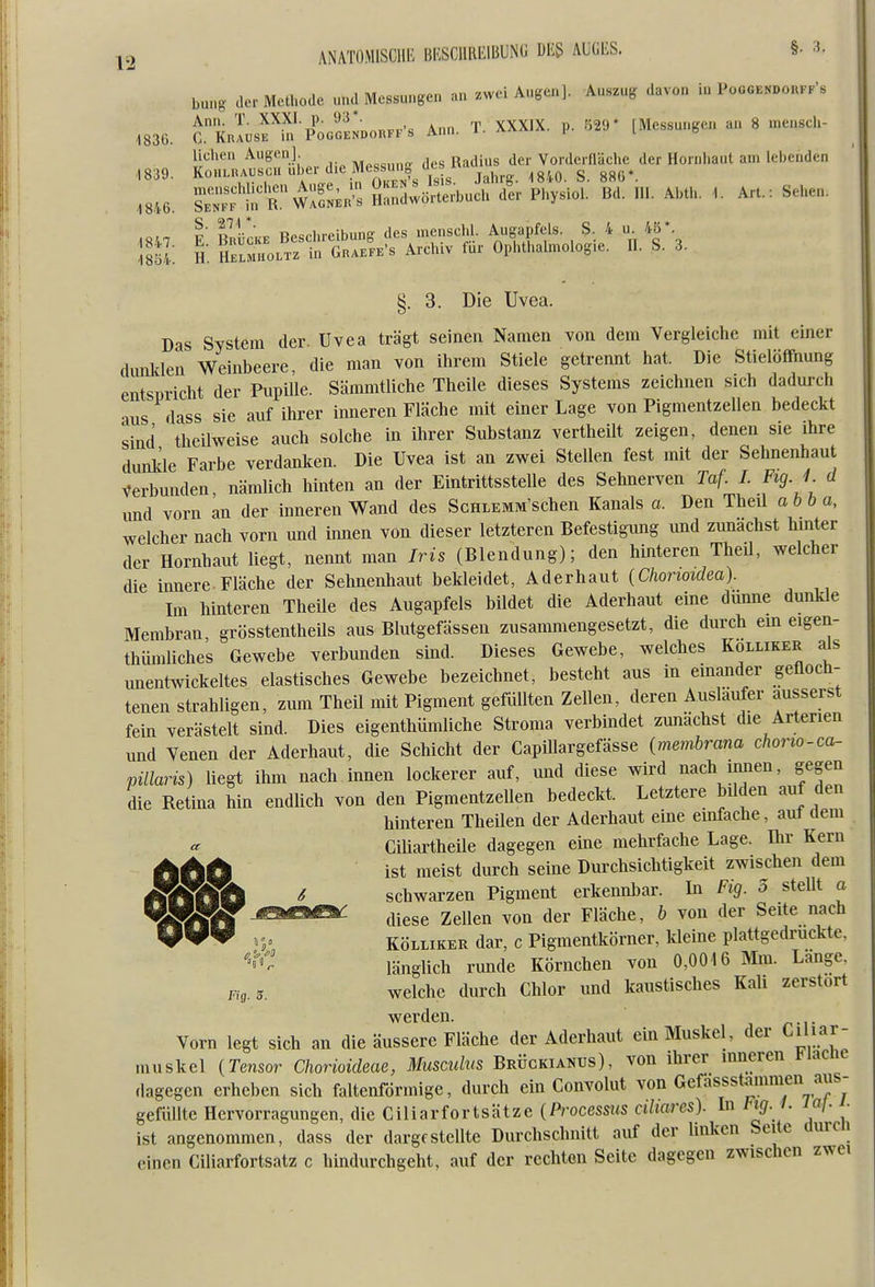 bung- der Methode und Messungen an zwei Augen]. Auszug davon in Poggendorff's 183G. ^.Knlusf in^PoGGENDORFF's Ann. T. XXXIX. p. [Messungen an 8 mensch- liclien Augen]. mac«,,,.«- des Radius der Vorderfläche der Hornhaut am lebenden ,1839. KoHLnAUScnul.er d.e Mes^m^^^ ^^^^^ ^ ^^^^ 4846. SrftrwSS;;: Sand^^rbuch d^r Physiol. Bd. HI. Abth. .. Art.: Sehen. .r.,^ V\.\,^ Rp<irhrcibunfr des menscld. Augapfels. S. 4 u. 4ö*. i^S.: S: S^ogSk-s Archiv für Ophthahnologie. ü. S. 3. §. 3. Die Uvea. Das System der. Uvea trägt seinen Namen von dem Vergleiche mit einer dwJden Weinbeere, die man von ihrem Stiele getrennt hat. Die Stielöffnung entspricht der Pupille. Sämmtliche Theile dieses Systems zeichnen sich dadurch lus dass sie auf ihrer inneren Fläche mit einer Lage von Pigmentzellen bedeckt sind theilweise auch solche in ihrer Substanz vertheilt zeigen, denen sie ihre dunlde Farbe verdanken. Die Uvea ist an zwei Stellen fest mit der Sehnenhau verbunden, nämlich hinten an der Eintrittsstelle des Sehnerven Taf. I. Fig.J. d und vorn an der inneren Wand des ScHLEMM'schen Kanals a. Den Theil abba, welcher nach vorn und innen von dieser letzteren Befestigung und zunächst hmter der Hornhaut liegt, nennt man Iris (Blendung); den hinteren Theil, welcher die innere.Fläche der Sehnenliaut bekleidet, Aderhaut {Chonoidea). Im hinteren Theile des Augapfels bildet die Aderhaut eine dünne dunkle Membran grösstentheUs aus Blutgefässen zusammengesetzt, die durch em eigen- thümliche's Gewebe verbunden sind. Dieses Gewebe, welches Kolliker als unentwickeltes elastisches Gewebe bezeichnet, besteht aus in einander gefloch- tenen strahligen, zum Theil mit Pigment gefüllten Zellen, deren Ausläufer äusserst fein verästelt sind. Dies eigenthümliche Stroma verbindet zunächst die Arterien und Venen der Aderhaut, die Schicht der CapiUargefässe {membrana chorio-ca- pillaris) liegt ihm nach innen lockerer auf, und diese wird nach innen, gegen die Retina hin endlich von den Pigmentzellen bedeckt. Letztere bilden auf den hinteren Theilen der Aderhaut eine einfache, auf dem Ciliartheile dagegen eine mehrfache Lage, üir Kern ^ ist meist durch seine Durchsichtigkeit zwischen dem ^SSSa ^ schwarzen Pigment erkennbar. In Fig. 5 stellt a miMS^ ji^j^e^ ^^.ggg 2ellen von der Fläche, b von der Seite nach ^? KÖLLiKER dar, c Pigmentkörner, Meine plattgedruckte, länglich runde Körnchen von 0,0016 Mm. Länge. Fig. 3. welche durch Chlor und kaustisches Kali zerstört werden. Vorn legt sich an die äussere Fläche der Aderhaut ein Muskel, der Ci lar- muskel {Tensor Chorioideae, Musculus Brückianus), von ihrer imieren i^iacne dagegen erheben sich faltenförmige, durch ein Convolut von Gefassst<Tinmen aus- gefüllte Hervorragungen, die Ciliarfortsätze {Processus ciliares). In tig. l. laf. . ist angenommen, dass der dargestellte Durchschnitt auf der Imkcn Seite durcii einen Ciliarfortsatz c hindurchgeht, auf der rechten Seite dagegen zwischen zwei