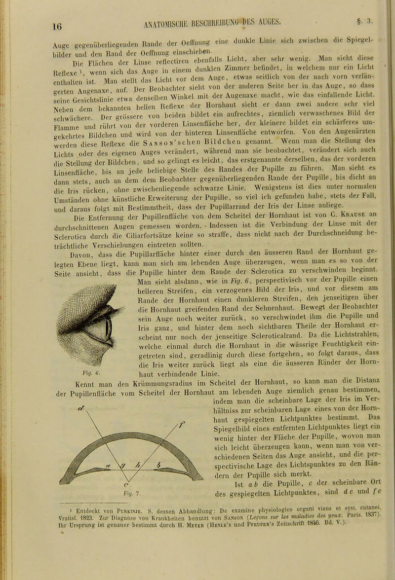 Auge gcgenül.erlicgenden Rande der Oen'nung eine dunkle Linie mcli zwischen die Spiegel- bilder und den Rand der Ocfliuuig einschielien. , , . • 1- Die Flächen der Liuse reflectiren ebenfalls Licht, aber sehr wenig. Man s.eht d.ese Reflexe 1 wenn sich das Auge in einem dunklen Zimmer befindet, m welchem nur ein L.cht Saiten'ist. Man stellt das Licht vor dem Auge etwas se.thch von der nach vorn verlan- ge ten Au'^enaxe, auf. Der Beobachter sieht von der anderen Seite her m das Auge, so dass seh e Gesichtslinie etwa denselben Winkel mit der Augenaxe macht, w.e das einfallende Licht Neben dem bekannten hellen Reflexe der Hornhaut sieht er dann zwei andere sehr viel schwächere Der grössere von beiden bildet ein aufrechtes, ziemlich verwaschenes Bild der Flamme und rührt von der vorderen Linsenfläche her, der kleinere bildet ein schärferes um- trekehrtes Bildchen und wird von der hinteren Linsenfläche entworfen. Von den Augenärzten weiden diese Reflexe die Samson'sehen Bildchen genannt. Wenn man die Stellung des Lichts oder des eigenen Auges verändert, während man sie beobachtet, verändert sich auch die Stellung der Bildchen, und so gelingt es leiclit, das erstgenannte derselben, das der vorderen Linsenfläche bis an jede beliebige Stefle des Randes der Pupille zu führen. Man sieht es dann stets, auch an dem dem Beobachter gegenüberliegenden Rande der Pupille, bis dicht an die Iris rücken, ohne zwischenliegende schwarze Linie. Wenigstens ist dies unter normalen Umständen ohne künstliche Erweiterung der Pupille, so viel ich gefunden habe, stets der Fall, und daraus folg1 mit Bestimmtheit, dass der Pupillarrand der Iris der Linse anliege. Die Entfernung der Pupillenfläche von dem Scheitel der Hornhaut ist von C. Krause an durchschnittenen Augen gemessen worden. • Indessen ist die Verbindung der Linse mit der Sclerotica durch die Ciliarfortsätze keine so strafl^e, dass nicht nach der Durclischneidung be- trächtliche Verschiebungen eintreten sollten. Davon, dass die PupiUarfläcbe hinter einer durch den äusseren Rand der Hornhaut ge- legten Ebene liegt, kann man sich am lebenden Auge überzeugen, wenn man es so von der Seite ansieht, dass die PupiUe hinter dem Rande der Sclerotica zu verschwinden beginnt. Man sieht alsdann, wie in Fig. 6, perspectivisch vor der PupiUe einen helleren Streifen, ein verzogenes Bild der Iris, und vor diesem am Rande der Hornhaut einen dunkleren Streifen, den jenseitigen Uber die Hornhaut greifenden Rand der Sehnenhaut. Bewegt der Beobachter sein Auge noch weiter zurück, so verschwindet ihm die Pupille und Iris ganz, und hinter dem noch sichtbaren Theile der Hornhaut er- scheint nur noch der jenseitige Scleroticalrand. Da die Lichtstrahlen, welche einmal durch die Hornliaut in die wässrige Feuchtigkeit ein- getreten sind, geradlinig durch diese fortgehen, so folgt daraus, dass die Iris weiter zurück liegt als eine die äusseren Ränder der Horn- haut verbindende Linie. Kennt man den Krümmungsradius im Scheitel der Hornhaut, so kann man die Distanz der Pupillenfläche vom Scheitel der Hornhaut am lebenden Auge ziemlich genau bestinunen, indem man die scheinbare Lage der Ins im Ver- Fig. 6. \ hältniss zur scheinbaren Lage eines von der Horn- haut gespiegelten Lichtpunktes bestimmt. Das Spiegefljild eines entfernten Lichtpunktes liegt ein wenig hinter der Fläche der Pupille, wovon man sich leicht überzeugen kann, wenn man von ver- schiedenen Seiten das Auge ansieht, und die per- spectivische Lage des Lichtspunktes zu den Rän- dern der Pupille sich merkt. Ist a\) die Pupille, c der scheinbare Ort des gespiegelten Lichtpunktes, sind de und fc ■ Enulecki von PunKiWE. S. dessen Abhandlung: De cxamine physiologico organi visus et sjsi. cuiane • Vratisl. 1823. Zur Diagnose von Kranklieilon benuut von Sanson (Lcpoiis siir Xes maiadicsdcs ycii.r. Farib. 1!M.;. Ihr Ursprung ist genauer beslimmi durch II. Meter (Henie's und Pfeufer's Zcilschrift 1846. Bd. >.).