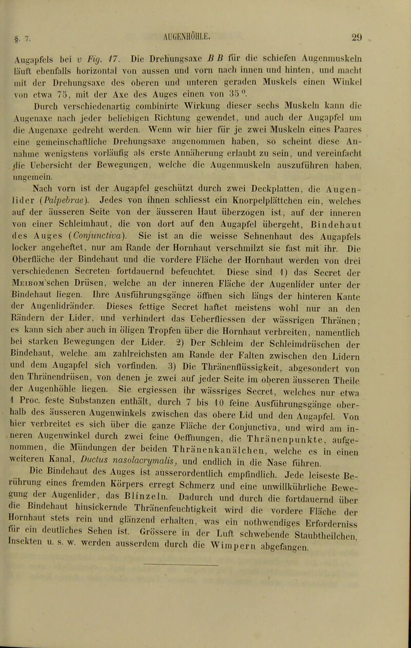 Augapfels bei v Fig. 17. Die Drehungsaxe BB für die schiefen Augenmuskeln läuft ebenfolis horizontal von aussen und vorn nach innen und hinten, und macht mit der Drchungsaxe des oberen und unteren geraden Muskels einen Winkel von etwa 75, mit der Axe des Auges einen von 35. Durch verschiedenartig combinirtc Wirkung dieser sechs Muskeln kann die Augenaxe nach jeder beliebigen Richtung gewendet, und auch der Augapfel um die Augenaxe gedreht werden. Wenn wir hier für je zwei Muskeln eines Paai-es eine geineinschaftliche Drehungsaxe angenommen haben, so scheint diese An- nahme wenigstens vorläufig als erste Annäherung erlaubt zu sein, und vereinfacht .die Uebersicht der Bewegungen, welche die Augenmuskeln auszuführen haben, ungemein. Nach vorn ist der Augapfel geschützt durch zwei Deckplatten, die Augen- lider {Palpebrae). Jedes von ihnen schliesst ein Knorpelplättchen ein, welches auf der äusseren Seite von der äusseren Haut überzogen ist, auf der inneren von einer Schleimhaut, die von dort auf den Augapfel übergeht, Bindehaut des Auges (Conjunctiva). Sie ist an die weisse Sehnenhaut des Augapfels locker angeheftet, nur am Rande der Hornhaut verschmilzt sie fast mit ihr. Die Oberfläche der Bindehaut und die vordere Fläche der Hornhaut werden von drei verschiedenen Secreten fortdauernd befeuchtet. Diese sind 1) das Secret der MEiBOM'schen Drüsen, welche an der inneren Fläche der Augenlider unter der Bindehaut liegen. Ihre Ausführungsgänge öffnen sich längs der hinteren Kante der Augenlidränder. Dieses fettige Secret haftet meistens wohl nur an den Rändern der Lider, und verhindert das Ueberfliessen der wässrigen Tliränen; es kann sich aber auch in öligen Tropfen über die Hornhaut verbreiten, namentlich bei starken Bewegungen der Lider. 2) Der Schleim der Schleimdrüschen der Bindehaut, welche am zahlreichsten am Rande der Falten zwischen den Lidern und dem Augapfel sich vorfinden. 3) Die Thränenftüssigkeit, abgesondert von den Thränendrüsen, von denen je zwei auf jeder Seite im oberen äusseren Theile der Augenhöhle liegen. Sie ergiessen ihr wässriges Secret, welches nur etwa 1 Proc. feste Substanzen enthält, durch 7 bis 10 feine Ausführungsgänge ober- halb des äusseren Augenwinlcels zwischen das obere Lid und den Augapfel. Von hier verbreitet es sich über die ganze Fläche der Conjunctiva, und wird am in- neren Augenwinkel durch zwei feine Oeffnungen, die Thränenpunkte aufge- nommen, die Mündungen der beiden Thränenkanälchen, welche es in einen weiteren Kanal, Ductus nasolacrymalis, und endlich in die Nase führen. Die Bindehaut des Auges ist ausserordentlich empfindlich. Jede leiseste Be- rührung eines fremden Körpers erregt Schmerz und eine unwillkührliche Bewe- gung der Augenlider, das Blinzeln. Dadurch und durch die fortdauernd über die Bmdehaut hinsickernde Thränenfeuchtigkeit wird die vordere Fläche der Hornhaut stets rein und glänzend erhalten, was ein nothwendiges Erforderniss für ein deutliches Sehen ist. Grössere in der Luft schwebende Staubtheilchen Insekten u. s. w. werden ausserdem durch die Wimpern abgefangen