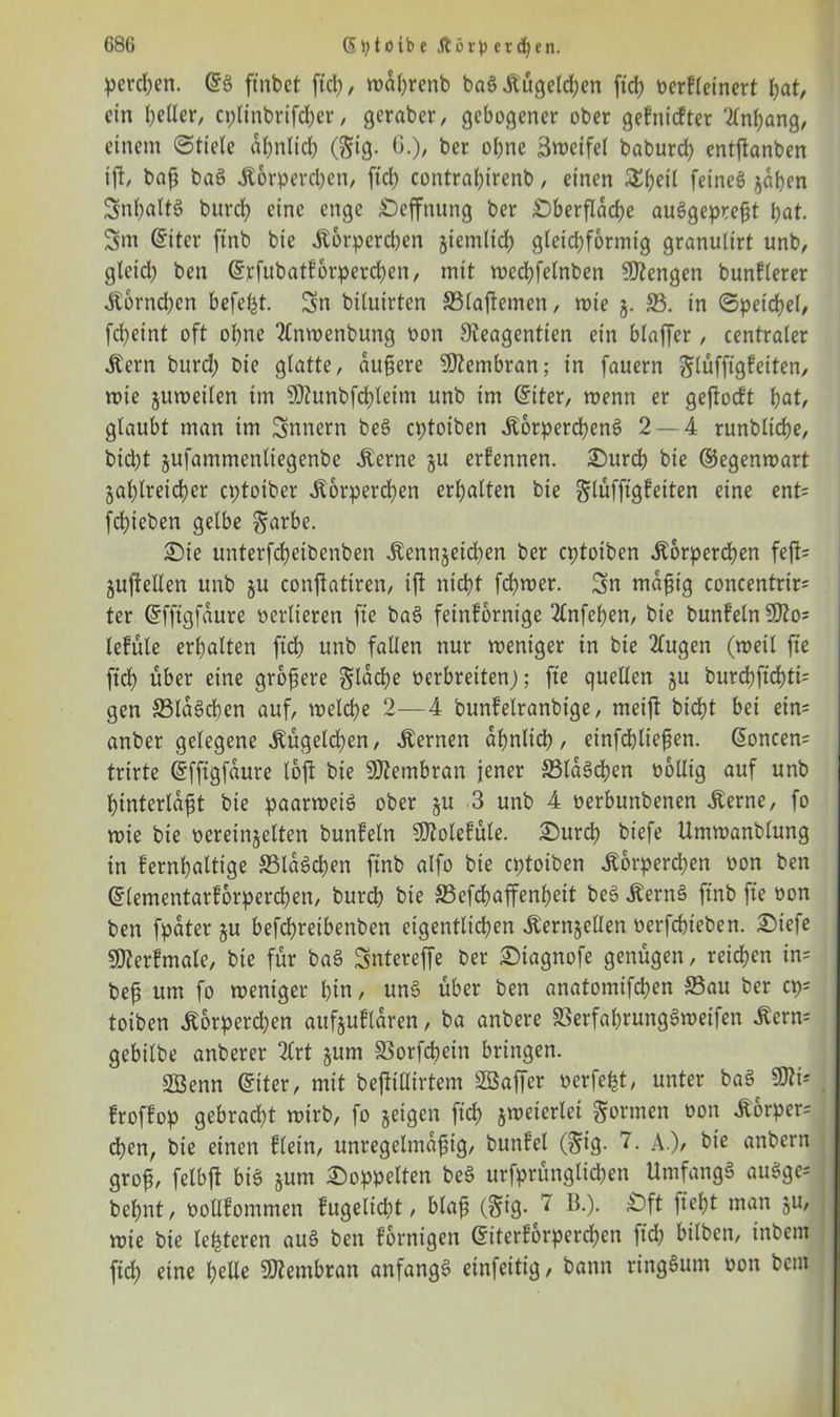 perlen. Grö ftnbet fiel), wabrenb bnö Äugelten fid) oedleinert bat, ein geller, cpltnbrifdber, gcraber, gebogener ober gefniefter Anhang, einem Stiele ähnlich (gtg. 0.), ber o()ne Zweifel baburd) entjhnben tjt, baß bnö Körperchen, fiel) contraßirenb, einen feineö jdben Sn^attö bttrd) eine enge Oeffnung ber Oberfläche auSgepreßt bat. Snt ©iter ftnb bic Körperchen jiemlid) gleichförmig granuiirt unb, gteid) ben ©rfubatforpercben, mit wccbfelnben Mengen bunfterer Korneben befefet. Sn biluirten ©laftemen, roie j. ©. in Speichel, fdjeint oft ohne 2lnwenbung oon Sieagentien ein blaffer, centraler Kern burd) bie glatte, äußere Membran; in fauern glüfftgfeiten, wie juweilen im 50?unbfd)leim unb im (Siter, wenn er geftoeft bat, glaubt man im Snnern be§ eptoiben KorpercbenS 2 — 4 runblicbe, bid)t jufammenliegenbe Kerne ju ernennen. Ourd) bie ©egenwart §ai;trexd)er eptoiber Körperchen erbalten bie glüfftgfeiten eine ent= feßieben gelbe garbe. Oie unterfdbeibenben Kennzeichen ber eptoiben Körperchen feft= jujietlen unb §u conftatiren, ijt nicht fcßwer. Sn mäßig concentrir* ter ©ffigfdure verlieren fie baö feinkörnige 3£nfeben, bie bunfelnSttos lefüle erhalten fid) unb fallen nur weniger in bie 2lugen (weil fie ftd) über eine größere flache oerbreiten); fie quellen ju burd)fid)ti= gen ©laScben auf, welche 2—4 bunfelranbige, meift bid)t bei ein= anber gelegene Kügeldjen, fernen ähnlich, einfcbließen. ßoncen= trirte ©ffigfaure loft bie Membran jener ©Idäcben oollig auf unb binterldßt bie paarweiö ober ju 3 unb 4 oerbunbenen .Kerne, fo wie bie oereinjelten bunfeln SSMefüle. Ourd) biefe Umwanblung in kernhaltige ©laichen ftnb alfo bie eptoiben Körperchen oon ben ©lementarforpereben, bureb bie ©efebaffenbeit be3 Kernä ftnb fie oon ben fpdter §u befebreibenben eigentlichen Kernzellen oerfebieben. Otefe SOterfmale, bie für ba3 Sntereffe ber Otagnofe genügen, reichen tn= beß um fo weniger bin, un§ über ben anatomifeben ©au ber cp= toiben Korperd)en aufjuflaren, ba anbere ©erfabrungSweifen Kcrn= gebilbe anberer 2Crt jurn ©orfebeitt bringen. ©Senn ©iter, mit befiiüirtem ©Saffcr oerfe^t, unter ba§ fffli* froffop gebrad)t wirb, fo geigen fid) zweierlei gönnen oon K6rper= eben, bie einen klein, unregelmäßig, bunf’el (gig. 7. A.), bie anbern groß, felbft bis jurn doppelten be$ urfprünglicben UmfangS auSge= bebnt, oollfommen fugeltdW, blaß (gig. 7 B.). Oft fiebt man ju, wie bie letzteren au§ ben dornigen ©iterforperd)en ftd) bilben, inbent fid) eine \)ede Membran anfangs einfeitig, bann ringsum oon beut