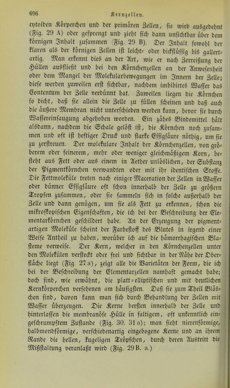 J? f t n i e l1 e n. cptoiben .Korpercßen unb ber primären Setten, fte mirb auSgebeßnt ($»8- 29 A) ‘•'»ber gcfprcngt unb jießt ftcß bann unficßtbar über bem forntgen Sn^alt jufantmen ($ig. 29 B). Ser 3nßalt fomoßl ber fiaren als ber fornigen Setten ift leid)t= ober bicfflüfftg big gatterts artig. 9flan erfennt bie$ an ber 2lrt, wie er nacß Serreißung ber Jütten auöflicßt unb bei ben .ftornchenjetten an ber Tlnmefenßeit ober bem Mangel ber 9J?olcfularbemegungen im Innern ber Sette; biefe merben jumeilen erft ftcßtbar, nad)bem imbibirteg SBaffer bag ßontcntum ber Sette nerbünnt ßat. Sumeilen liegen bie .Körnchen fo bicßt, baß fie allein bie Sette ju füllen fcßeinen unb baß aud) bie äußere Membran nicht unterfcßieben merben fann, beoor fte burcß SBaffereinfaugung abgehoben morben. @in jaßeg £3inbemittel ßalt algbann, nacßbcm bie Schale geloft ift, bie .Körnchen nocß jufams men unb oft ift heftiger Srucf unb ftarfe C^fftgfaure notßig, um fie ju jertfreuen. Ser molekulare Snßalt ber .Körnchen jetten, non gro= bcrem ober feinerem, mehr ober meniger gleichmäßigem .Korn, be= |iel)t aug gett ober aug einem in Tletßer unlöslichen, berSubftanj ber $)igmentfbrnd)en oermanbten ober mit ihr ibentifchen Stoffe. Sie gettmolefüle treten nach einiger Sftaceration ber Setten tnSBaffer ober bünner @fftgfaure oft fchon innerhalb ber Sette ju großem tropfen jufatnmen, ober fte famtneln ftch in folcße außerhalb ber Sette unb bann genügen, um fte als $ett ju ernennen, feßon bie mtfroffopifeßen Gngenfcßaften, bie id) bei ber ffiefeßreibung ber C5te= mentarforneßen gefcßilbert ßabe. 2ln ber ©rjeugung ber pigment= artigen Sftolefüle feßeint ber garbeßoff beg S3lute6 in trgenb einer 2ßeife Tlntßetl ju ßaben, morüber icß auf bie ßamorrßagifcßen S3la= fteme nermeife. Ser .Kern, melcßer in ben .KbrncßenjeUen unter ben Sftolefülen nerflecft ober frei unb ftcßtbar in ber 9?aße ber £)ber= flacße liegt ($ig. 27 a), geigt alle bie SSarietaten ber ^orm, bie icß bei ber 33efcßreibung ber (Elementar jetten nantßaft gemaeßt ßabe; boeß ftnb, mie ermähnt, bie platt = eütptifchen unb mit beutlicßen .Kernforpercßen oerfeßenen am ßauftg|ten. Saß fte jum SEßeil S3lags eßen ftnb, baoon fann man ftd) bureß S5eßanblung ber Sellen mit SSaffer überzeugen. Sie .Kerne berfren innerhalb ber Sette unb ßinterlaffen bie tnembranofe i)ütte in faltigem, oft unfcnntlicß eins gefeßrumpftem Suflanbe ($ig. 30. 31a); man fteßt nierenformige, ßalbmonbforntige, oerfeßiebenartig eingebogene .Kerne unb an ißrern Otanbe bie hellen, Fugeltgen SEropfcßen, burd) beren 2lugtritt bie SDtißftaltung veranlaßt mirb ($ig. 29 B. a.)