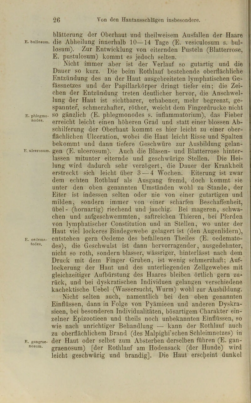 E. bnllosura. E. phlegmo- nodes. E. ulcerosum. E. oedema- todes. E. gangrae- nosum. blätterung der Oberhaut lind theilweisem Ausfallen der Haare die Abheilung innerhalb 10—14 Tage (E. vesiculosum s. bul- losum). Zur Entwicklung von eiternden Pusteln (Blatterrose, E. pustulosum) kommt es jedoch selten. Nicht immer aber ist der Verlauf so gutartig und die Dauer so kurz. Die beim Rothlauf bestehende oberflächliche Entzündung des an der Haut ausgebreiteten lymphatischen Ge- fässnetzes und der Papillarkörper dringt tiefer ein; die Zei- chen der Entzündung treten deutlicher hervor, die Anschwel- lung der Haut ist sichtbarer, erhabener, mehr begrenzt, ge- spannter, schmerzhafter, röther, weicht dem Fingerdrucke nicht so gänzlich (E. phlegmonodes s. inflammatorium), das Fieber erreicht leicht einen höheren Grad und statt einer blossen Ab- schilferung der Oberhaut kommt es hier leicht zu einer ober- flächlichen Ulceration, wobei die Haut leicht Risse und Spalten bekommt und dann tiefere Geschwüre zur Ausbildung gelan- gen (E. ulcerosum). Auch die Blasen- und Blatterrose hinter- lassen mitunter eiternde und geschwiirige Stellen. Die Hei- lung wird dadurch sehr verzögert, die Dauer der Krankheit erstreckt sich leicht über 3 — 4 Wochen. Eiterung ist zwar dem echten Rothlauf als Ausgang fremd, doch kommt sie unter den oben genannten Umständen wohl zu Stande, der Eiter ist indessen selten oder nie von einer gutartigen und milden, sondern immer von einer scharfen Beschaffenheit, übel- (hornartig) riechend und jauchig. Bei mageren, schwa- chen und aufgeschwemmten, saftreichen Thieren, bei Pferden von lymphatischer Constitution und an Stellen, wo unter der Haut viel lockeres Bindegewebe gelagert ist (den Augenlidern), entstehen gern Oedeme des befallenen Theiles (E. oedemato- des), die Geschwulst ist dann hervorragender, ausgedehnter, nicht so roth, sondern blasser, wässriger, hinterlässt nach dem Druck mit dem Finger Gruben, ist wenig schmerzhaft; Auf- lockerung der Haut und des unterliegenden Zellgewebes mit gleichzeitiger Aufbürstung des Haares bleiben örtlich gern zu- rück, und bei dyskratischen Individuen gelangen verschiedene kachektische Uebel (Wassersucht, Wurm) wohl zur Ausbildung. Nicht selten auch, namentlich bei den oben genannten Einflüssen, dann in Folge von Pyämieen und anderen Dyskra- sieen, bei besonderen Individualitäten, bösartigem Charakter ein- zelner Epizootieen und theils noch unbekannten Einflüssen, so wie nach unrichtiger Behandlung — kann der Rothlauf auch zu oberflächlichem Brand (des Malpighi’schen Schleimnetzes) in der Haut oder selbst zum Absterben derselben führen (E. gan- graenosum) [der Rothlauf am Hodensack (der Hunde) wird leicht geschwiirig und brandig]. Die Haut erscheint dunkel