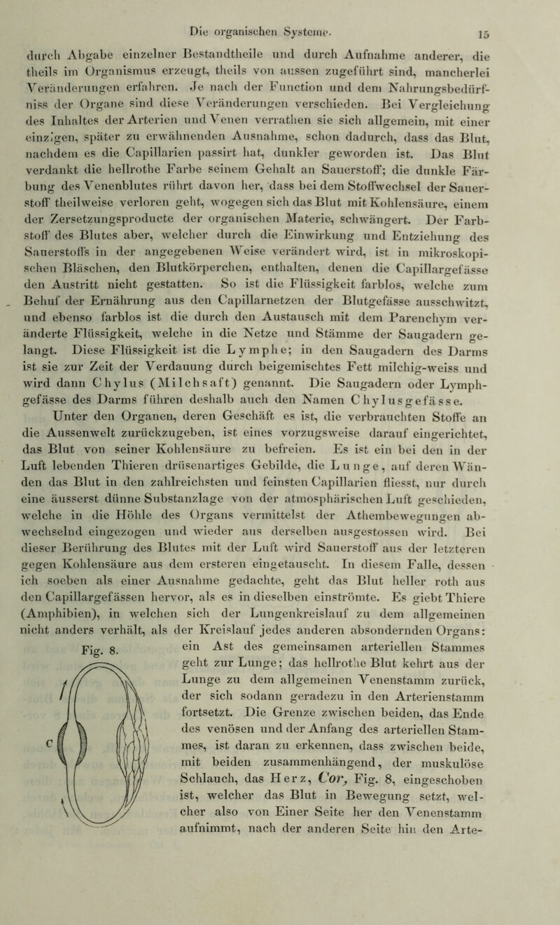 durch Abgabe einzelner Bestandteile und durch Aufnahme anderer, die teils im Organismus erzeugt, teils von aussen zugeführt sind, mancherlei Veränderungen erfahren. Je nach der Function und dem Nahrungsbedürf- niss der Organe sind diese Veränderungen verschieden. Bei Vergleichung des Inhaltes der Arterien und Venen verraten sie sich allgemein, mit einer einzigen, später zu erwähnenden Ausnahme, schon dadurch, dass das Blut, nachdem es die Capillarien passirt hat, dunkler geworden ist. Das Blut verdankt die hellrote Farbe seinem Gehalt an Sauerstoff; die dunkle Fär- bung des Venenblutes rührt davon her, dass bei dem Stoffwechsel der Sauer- stoff teilweise verloren geht, wogegen sich das Blut mit Kohlensäure, einem der Zersetzungsproducte der organischen Materie, schwängert. Der Farb- stoff des Blutes aber, welcher durch die Einwirkung und Entziehung des Sauerstoffs in der angegebenen Weise verändert wird, ist in mikroskopi- schen Bläschen, den Blutkörperchen, enthalten, denen die Capillargefässe den Austritt nicht gestatten. So ist die Flüssigkeit farblos, welche zum Behuf der Ernährung aus den Capillarnetzen der Blutgefässe ausschwitzt, und ebenso farblos ist die durch den Austausch mit dem Parenchym ver- änderte Flüssigkeit, welche in die Netze und Stämme der Saugadern ge- langt. Diese Flüssigkeit ist die Lymphe; in den Saugadern des Darms ist sie zur Zeit der Verdauung durch beigemischtes Fett milchig-weiss und wird dann Chylus (Milchsaft) genannt. Die Saugadern oder Lymph- gefässe des Darms führen deshalb auch den Namen Chylusgefässe. Unter den Organen, deren Geschäft es ist, die verbrauchten Stoffe an die Aussenwelt zurückzugeben, ist eines vorzugsweise darauf eingerichtet, das Blut von seiner Kohlensäure zu befreien. Es ist ein bei den in der Luft lebenden Thieren drüsenartiges Gebilde, die Lunge, auf deren Wän- den das Blut in den zahlreichsten und feinsten Capillarien fliesst, nur durch eine äusserst dünne Substanzlage von der atmosphärischen Luft geschieden, welche in die Höhle des Organs vermittelst der Athembewegungen ab- wechselnd eingezogen und wieder aus derselben ausgestossen wird. Bei dieser Berührung des Blutes mit der Luft wird Sauerstoff aus der letzteren gegen Kohlensäure aus dem ersteren eingetauscht. In diesem Falle, dessen ich soeben als einer Ausnahme gedachte, geht das Blut heller roth aus den Capillargefässen hervor, als es in dieselben einströmte. Es giebt Thiere (Amphibien), in welchen sich der Lungenkreislauf zu dem allgemeinen nicht anders verhält, als der Kreislauf jedes anderen absondernden Organs: ein Ast des gemeinsamen arteriellen Stammes geht zur Lunge; das hellrothe Blut kehrt aus der Lunge zu dem allgemeinen Venenstamm zurück, der sich sodann geradezu in den Arterienstamm fortsetzt. Die Grenze zwischen beiden, das Ende des venösen und der Anfang des arteriellen Stam- mes, ist daran zu erkennen, dass zwischen beide, mit beiden zusammenhängend, der muskulöse Schlauch, das Herz, Cor% Fig. 8, eingeschoben ist, welcher das Blut in Bewegung setzt, wel- cher also von Einer Seite her den Venenstamm aufnimmt, nach der anderen Seite hin den Arte- Fig. 8.