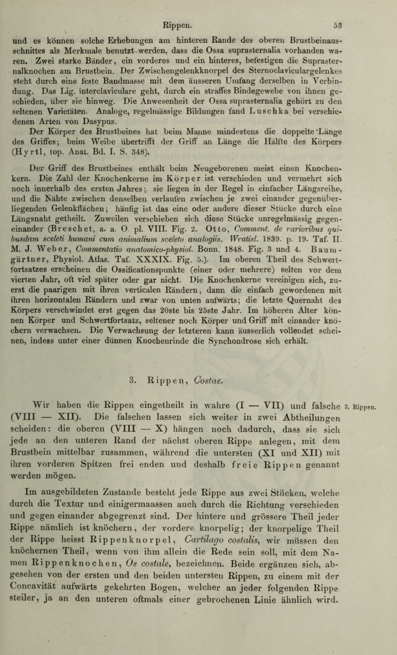 und es können solche Erhebungen am hinteren Rande des oberen Brustbeinaus- schnittes als Merkmale benutzt werden, dass die Ossa suprasternalia vorhanden wa- ren. Zwei starke Bänder, ein vorderes und ein hinteres, befestigen die Supraster- nalknochen am Brustbein. Der Zwischengelenkknorpel des Sternoclaviculargelenkes steht durch eine feste Bandmasse mit dem äusseren Umfang derselben in Verbin- dung. Das Lig. interclaviculare geht, durch ein straffes Bindegewebe von ihnen ge- schieden, über sie hinweg. Die Anwesenheit der Ossa suprasternalia gehört zu den seltenen Varietäten. Analoge, regelmässige Bildungen fand Luschka bei verschie- denen Arten von Dasypus. Der Körper des Brustbeines hat beim Manne mindestens die doppelte 'Länge des Griffes; beim Weibe übertrifft der Griff an Länge die Hälfte des Körpers (Hyrtl, top. Anat. Bd. I. S. 348). Der Griff des Brustbeines enthält beim Neugeborenen meist einen Knochen- kern. Die Zahl der Knochenkerne im Körper ist verschieden und vermehrt sich noch innerhalb des ersten Jahres; sie liegen in der Regel in einfacher Längsreihe, und die Nähte zwischen denselben verlaufen zwischen je zwei einander gegenüber- liegenden Gelenkflächen; häufig ist das eine oder andere dieser Stücke durch eine Längsnaht getheilt. Zuweilen verschieben sich diese Stücke unregelmässig gegen- einander (Breschet, a. a. O pl. VIII. Fig. 2. Otto, Comment. de rarioribus qui- busdam sceleti humani cum animalium sceleto analogiis. Wraiisl. 1839. p. 19. Taf. II. M. J. Weber, Commentcitio anatomico-physiol. Bonn. 1848. Fig. 3 und 4. Baum- gartner, Physiol. Atlas. Taf. XXXIX. Fig. 5.). Im oberen Theil des Schwert- fortsatzes erscheinen die Ossificationspunkte (einer oder mehrere) selten vor dem vierten Jahr, oft viel später oder gar nicht. Die Knochenkerne vereinigen sich, zu- erst die paarigen mit ihren verticalen Rändern, dann die einfach gewordenen mit ihren horizontalen Rändern und zwar von unten aufwärts; die letzte Quernaht des Körpers verschwindet erst gegen das 20ste bis 25ste Jahr. Im höheren Alter kön- nen Körper und Schwertfortsatz, seltener noch Körper und Griff mit einander knö- chern verwachsen. Die Verwachsung der letzteren kann äusserlich vollendet schei- nen, indess unter einer dünnen Knochenrinde die Synchondrose sich erhält. 3. Rippen, Costae. Wir haben die Rippen eingetheilt in wahre (I — VII) und falsche 3. Rippen. (VIII — XII). Die falschen lassen sich weiter in zwei Abtheilungen scheiden: die oberen (VIII — X) hängen noch dadurch, dass sie sich jede an den unteren Rand der nächst oberen Rippe anlegen, mit dem Brustbein mittelbar zusammen, während die untersten (XI und XII) mit ihren vorderen Spitzen frei enden und deshalb freie Rippen genannt werden mögen. Im ausgebildeten Zustande besteht jede Rippe aus zwei Stücken, welche durch die Textur und einigermaassen auch durch die Richtung verschieden und gegen einander abgegrenzt sind. Der hintere und grössere Theil jeder Rippe nämlich ist knöchern, der vordere knorpelig; der knorpelige Theil der Rippe heisst Rippenknorpel, Cartilago costalis, wir müssen den knöchernen Theil, wenn von ihm allein die Rede sein soll, mit dem Na- men Rippenknochen, Os costale, bezeichnen. Beide ergänzen sich, ab- gesehen von der ersten und den beiden untersten Rippen, zu einem mit der Concavität aufwärts gekehrten Bogen, welcher an jeder folgenden Rippe steiler, ja an den unteren oftmals einer gebrochenen Linie ähnlich wird.