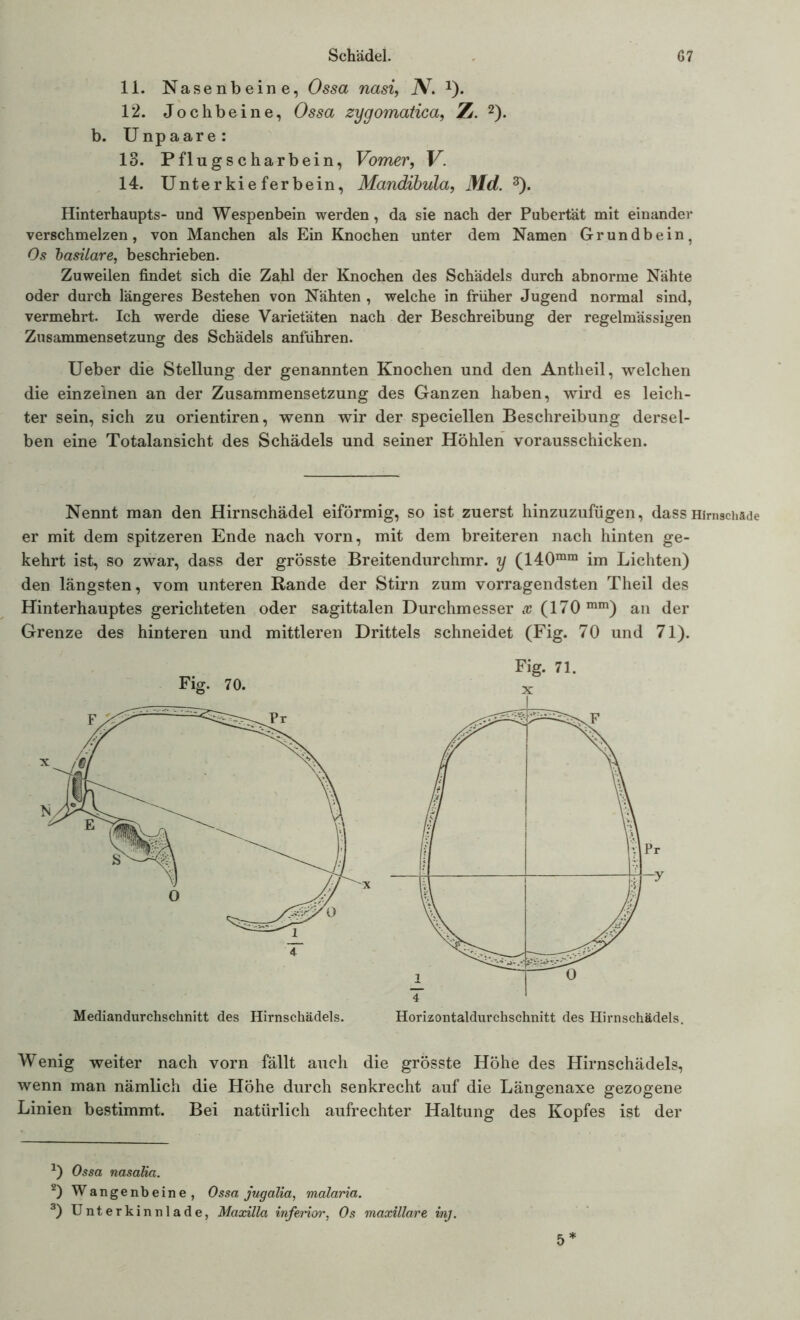 11. Nasenbeine, Ossa nasi, jV. 1). 12. Jochbeine, Ossa zygomatica, Z. 2). b. Unpaare: 13. Pflugscharbein, Vomer, U. 14. Unterkieferbein, Mandibula, Md. 3). Hinterhaupts- und Wespenbein werden, da sie nach der Pubertät mit einander verschmelzen, von Manchen als Ein Knochen unter dem Namen Grundbein, Os basilare, beschrieben. Zuweilen findet sich die Zahl der Knochen des Schädels durch abnorme Nähte oder durch längeres Bestehen von Nähten , welche in früher Jugend normal sind, vermehrt. Ich werde diese Varietäten nach der Beschreibung der regelmässigen Zusammensetzung des Schädels anführen. Ueber die Stellung der genannten Knochen und den Antheil, welchen die einzelnen an der Zusammensetzung des Ganzen haben, wird es leich- ter sein, sich zu orientiren, wenn wir der speciellen Beschreibung dersel- ben eine Totalansicht des Schädels und seiner Höhlen vorausschicken. Nennt man den Hirnschädel eiförmig, so ist zuerst hinzuzufügen, dassHimsc er mit dem spitzeren Ende nach vorn, mit dem breiteren nach hinten ge- kehrt ist, so zwar, dass der grösste Breitendurchmr. y (140mra im Lichten) den längsten, vom unteren Rande der Stirn zum vorragendsten Theil des Hinterhauptes gerichteten oder sagittalen Durchmesser x (170 mm) an der Grenze des hinteren und mittleren Drittels schneidet (Fig. 70 und 71). Fig. 70. Fig. 71. x Wenig weiter nach vorn fällt auch die grösste Höhe des Hirnschädels, wenn man nämlich die Höhe durch senkrecht auf die Längenaxe gezogene Linien bestimmt. Bei natürlich aufrechter Haltung des Kopfes ist der J) Ossa nasalia. 2) Wangenbeine, Ossa jugalia, malaria. 3) Unterkinnlade, Maxilla inferior, Os maxillare inj. 5