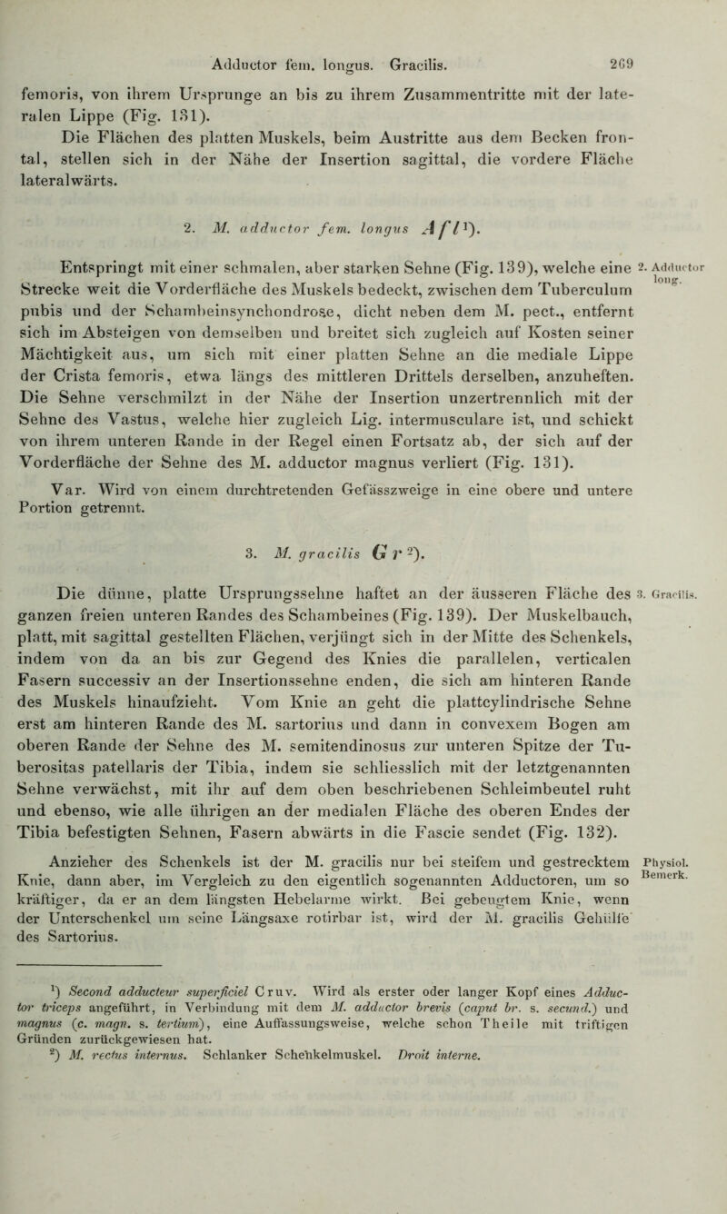 2G9 Adductor fein, longus. Gracilis. femoris, von ihrem Ursprünge an bis zu ihrem Zusammentritte mit der late- ralen Lippe (Fig. 131). Die Flächen des platten Muskels, beim Austritte aus dem Becken fron- tal, stellen sich in der Nähe der Insertion sagittal, die vordere Fläche lateralwärts. 2. M. adductor fern, longus Afn. Entspringt mit einer schmalen, aber starken Sehne (Fig. 139), welche eine * 2- Adductor Strecke weit die Vorderfläche des Muskels bedeckt, zwischen dem Tuberculum pubis und der Schambeinsynchondrose, dicht neben dem M. pect., entfernt sich im Absteigen von demselben und breitet sich zugleich auf Kosten seiner Mächtigkeit aus, um sich mit einer platten Sehne an die mediale Lippe der Crista femoris, etwa längs des mittleren Drittels derselben, anzuheften. Die Sehne verschmilzt in der Nähe der Insertion unzertrennlich mit der Sehne des Vastus, welche hier zugleich Lig. intermusculare ist, und schickt von ihrem unteren Rande in der Regel einen Fortsatz ab, der sich auf der Vorderfläche der Sehne des M. adductor magnus verliert (Fig. 131). Var. Wird von einem durchtretenden Gefässzweige in eine obere und untere Portion getrennt. 3. M. gracilis V 2). Die dünne, platte Ursprungssehne haftet an der äusseren Fläche des 3. Gracilis. ganzen freien unteren Randes des Schambeines (Fig. 139). Der Muskelbauch, platt, mit sagittal gestellten Flächen, verjüngt sich in der Mitte des Schenkels, indem von da an bis zur Gegend des Knies die parallelen, verticalen Fasern successiv an der Insertionssehne enden, die sich am hinteren Rande des Muskels hinaufzieht. Vom Knie an geht die plattcylindrische Sehne erst am hinteren Rande des M. sartorius und dann in convexem Bogen am oberen Rande der Sehne des M. semitendinosus zur unteren Spitze der Tu- berositas patellaris der Tibia, indem sie schliesslich mit der letztgenannten Sehne verwächst, mit ihr auf dem oben beschriebenen Schleimbeutel ruht und ebenso, wie alle ührigen an der medialen Fläche des oberen Endes der Tibia befestigten Sehnen, Fasern abwärts in die Fascie sendet (Fig. 132). Anzieher des Schenkels ist der M. gracilis nur bei steifem und gestrecktem Physioi. Knie, dann aber, im Vergleich zu den eigentlich sogenannten Adductoren, um so Bemerk- kräftiger, da er an dem längsten Hebelarme wirkt. Bei gebeugtem Knie, wenn der Unterschenkel um seine Längsaxe rotirbar ist, wird der M. gracilis Gehülle des Sartorius. Second adducteur superßciel Cr uv. Wird als erster oder langer Kopf eines Adduc- for triceps angeführt, in Verbindung mit dem M. adductor brevis (caput br. s. secund.) und magnus (c. magn. s. teriium), eine Auffassungsweise, welche schon Theile mit triftigen Gründen zurückgewiesen hat. 2) M. rectus internus. Schlanker Schenkelmuskel. Droit interne.