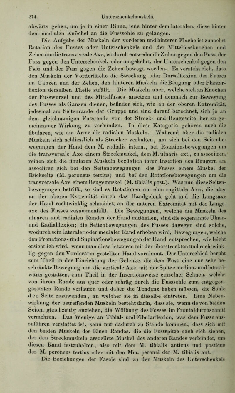 abwärts gehen, um je in einer Rinne, jene hinter dem lateralen, diese hinter dem medialen Knöchel an die Fusssohle zu gelangen. Die Aufgabe der Muskeln der vorderen und hinteren Fläche ist zunächst Rotation des Fusses oder Unterschenkels und der Mittelfussknochen und Zehen um die transversale Axe, wodurch entweder dieZehen gegen denFuss, der Fuss gegen den Unterschenkel, oder umgekehrt, der Unterschenkel gegen den Fuss und der Fuss gegen die Zehen bewegt werden. Es versteht sich, dass den Muskeln der Vorderfläche die Streckung oder Dorsalflexion des Fusses im G anzen und der Zehen, den hinteren Muskeln die Beugung oder Plantar- flexion derselben Theile zufällt. Die Muskeln aber, welche sich an Knochen der Fusswurzel und des Mittelfusses ansetzen und demnach zur Bewegung des Fusses als Ganzen dienen, befinden sich, wie an der oberen Extremität, jedesmal am Seitenrande der Gruppe und sind darauf berechnet, sich je an dem gleichnamigen Fussrande von der Streck- und Beugeseite her zu ge- meinsamer Wirkung zu verbünden. In diese Kategorie gehören auch die fibularen, wie am Arme die radialen Muskeln. Während aber die radialen Muskeln sich schliesslich als Strecker verhalten, um sich bei den Seitenbe- wegungen der Hand dem M. radialis intern., bei Rotationsbewegungen um die transversale Axe einem Streckmuskel, dem M. ulnaris ext., zu associiren, reihen sich die fibularen Muskeln bezüglich ihrer Insertion den Beugern an, associiren sich bei den Seitenbewegungen des Fusses einem Muskel der Rückseite (M. peroneus tertius) und bei den Rotationsbewegungen um die transversale Axe einem Beugemuskel (M. tibialis post.). Was nun diese Seiten- bewegungen betrifft, so sind es Rotationen um eine sagittale Axe, die aber an der oberen Extremität durch das Handgelenk geht und die Längsaxe der Hand rechtwinklig schneidet, an der unteren Extremität mit der Längs- axe des Fusses zusammenfällt. Die Bewegungen, welche die Muskeln des ulnaren und radialen Randes der Hand mittheilen, sind die sogenannte Ulnar- und Radialflexion; die Seitenbewegungen des Fusses dagegen sind solche, wodurch sein lateraler oder medialer Rand erhoben wird, Bewegungen, welche den Pronations- und Supinationsbewegungen der Hand entsprechen, wie leicht ersichtlich wird, wenn man diese letzteren mit der überstreckten und rechtwink- lig gegen den Vorderarm gestellten Hand vornimmt. Der Unterschied beruht zum Theil in der Einrichtung der Gelenke, die dem Fuss eine nur sehr be- schränkte Bewegung um die verticale Axe, mit der Spitze median- und lateral- wärts gestatten, zum Theil in der Insertionsweise einzelner Sehnen, welche von ihrem Rande aus quer oder schräg durch die Fusssohle zum entgegen- gesetzten Rande verlaufen und daher die Tendenz haben müssen, die Sohle der Seite zuzuwenden, an welcher sie in dieselbe eintreten. Eine Neben- wirkung der betreffenden Muskeln besteht darin, dass sie, wenn sie von beiden Seiten gleichzeitig anziehen, die Wölbung des Fusses im Frontaldurchschnitt vermehren. Das Wenige an Tibial- undFibularflexion, was dem Fusse aus- zuführen verstattet ist, kann nur dadurch zu Stande kommen, dass sich mit den beiden Muskeln des Einen Randes, die die Fussspitze nach sich ziehen, der den Streckmuskeln associirte Muskel des anderen Randes verbündet, um diesen Rand festzuhalten, also mit dem M. tibialis anticus und posticus der M. peroneus tertius oder mit den Mm. peronei der M. tibialis ant. Die Beziehungen der Fascie sind zu den Muskeln des Unterschenkels