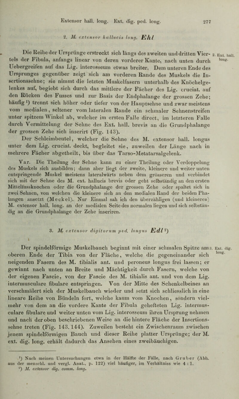 2. M. extensor hallucis long. Eh/ Die Reihe der Ursprünge erstreckt sich längs des zweiten und dritten Vier- : tels der Fibula, anfangs linear von deren vorderer Kante, nach unten durch Uebergreifen auf das Lig. interosseum etwas breiter. Dem unteren Ende des Ursprunges gegenüber zeigt sich am vorderen Rande des Muskels die In- sertionssehne; sie nimmt die letzten Muskelfasern unterhalb des Knöchelge- lenkes auf, begiebt sich durch das mittlere der Fächer des Lig. cruciat. auf den Rücken des Fusses und zur Basis der Endphalange der grossen Zehe; häufigA) trennt sich höher oder tiefer von der Hauptsehne und zwar meistens vom medialen, seltener vom lateralen Rande ein schmaler Sehnenstreifen unter spitzem Winkel ab, welcher im ersten Falle direct, im letzteren Falle durch Vermittelung der Sehne des Ext. hall, brevis an die Grundphalange der grossen Zehe sich inserirt (Fig. 143). Der Schleimbeutel, welcher die Sehne des M. extensor hall, longus unter dem Lig. cruciat. deckt, begleitet sie, zuweilen der Länge nach in mehrere Fächer abgetheilt, bis über das Tarso-Metatarsalgelenk. Var. Die Theilung der Sehne kann zu einer Theilung oder Verdoppelung des Muskels sich ausbilden; dann aber liegt der zweite, kleinere und weiter unten entspringende Muskel meistens lateralwärts neben dem grösseren und verbindet sich mit der Sehne des M. ext. hallucis brevis oder geht selbständig an den ersten Mittelfussknochen oder die Grundphalange der grossen Zehe oder spaltet sich in zwei Sehnen, von welchen die kleinere sich an den medialen Rand der beiden Pha- langen ansetzt (Meckel). Nur Einmal sah ich den überzähligen (und kleineren) M. extensor hall. long. an der medialen Seite des normalen liegen und sich selbstän- dig an die Grundphalange der Zehe inseriren. 3. M. extensor digitorum ped. longus Edl2) \ Der spindelförmige Muskelbauch beginnt mit einer schmalen Spitze am 3. oberen Ende der Tibia von der Fläche, welche die gegeneinander sich neigenden Fasern des M. tibialis ant. und peroneus longus frei lassen; er gewinnt nach unten an Breite und Mächtigkeit durch Fasern, welche von der eigenen Fascie, von der Fascie des M. tibialis ant. und von dem Lig. intermusculare fibulare entspringen. Von der Mitte des Schenkelbeines an verschmälert sich der Muskelbauch wieder und setzt sich schliesslich in eine lineare Reihe von Bündeln fort, welche kaum vom Knochen, söndern viel- mehr von dem an die vordere Kante der Fibula gehefteten Lig. intermus- culare fibulare und weiter unten vom Lig. interosseum ihren Ursprung nehmen und nach der oben beschriebenen Weise an die hintere Fläche der Insertions- sehne treten (Fig. 143.144). Zuweilen besteht ein Zwischenraum zwischen jenem spindelförmigen Bauch und dieser Reihe platter Ursprünge; der M. ext. dig. long. erhält dadurch das Ansehen eines zweibäuchigen. *) Nach meinen Untersuchungen etwa in cler Hälfte der Fälle, nach Gr über (Abh. aus der menschl. und vergl. Anat., p. 122) viel häufiger, im Verhältniss wie 4 : 1. ‘2) M. extensor dig. comm. long. Ext. hall, long. Ext. dig. long.