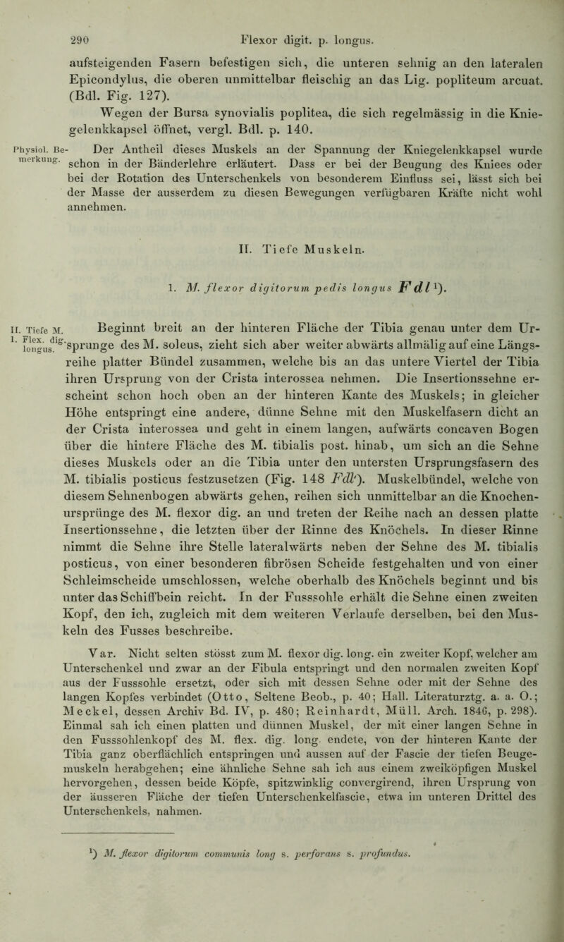 aufsteigenden Fasern befestigen sich, die unteren sehnig an den lateralen Epicondylus, die oberen unmittelbar fleischig an das Lig. popliteum arcuat. (Bdl. Fig. 127). Wegen der Bursa synovialis poplitea, die sich regelmässig in die Knie- gelenkkapsel öffnet, vergl. Bdl. p. 140. Physioi. Be- Der Antheil dieses Muskels an der Spannung der Kniegelenkkapsel wurde merkuug. jn der Bänderlehre erläutert. Dass er bei der Beugung des Kniees oder bei der Rotation des Unterschenkels von besonderem Einfluss sei, lässt sich bei der Masse der ausserdem zu diesen Bewegungen verfügbaren Kräfte nicht wohl annehmen. IT. Ti efe Muskeln. 1. M. flexor digitorum pedis longus ir. Tiefe m. Beginnt breit an der hinteren Fläche der Tibia genau unter dem Ur- 1 fongusdlg’sPruilge desM.soleus, zieht sich aber weiter abwärts allmälig auf eine Längs- reihe platter Bündel zusammen, welche bis an das untere Viertel der Tibia ihren Ursprung von der Crista interossea nehmen. Die Insertionssehne er- scheint schon hoch oben an der hinteren Kante des Muskels; in gleicher Höhe entspringt eine andere, dünne Sehne mit den Muskelfasern dicht an der Crista interossea und geht in einem langen, aufwärts concaven Bogen über die hintere Fläche des M. tibialis post, hinab, um sich an die Sehne dieses Muskels oder an die Tibia unter den untersten Ursprungsfasern des M. tibialis posticus festzusetzen (Fig. 148 Fdl'). Muskelbündel, welche von diesem Sehnenbogen abwärts gehen, reihen sich unmittelbar an die Knochen- ursprünge des M. flexor dig. an und treten der Reihe nach an dessen platte Insertionssehne, die letzten über der Rinne des Knöchels. In dieser Rinne nimmt die Sehne ihre Stelle lateralwärts neben der Sehne des M. tibialis posticus, von einer besonderen fibrösen Scheide festgehalten und von einer Schleimscheide umschlossen, welche oberhalb des Knöchels beginnt und bis unter das Schiffbein reicht. In der Fusssohle erhält die Sehne einen zweiten Kopf, den ich, zugleich mit dem weiteren Verlaufe derselben, bei den Mus- keln des Fusses beschreibe. Var. Nicht selten stösst zum M. flexor dig. long. ein zweiter Kopf, welcher am Unterschenkel und zwar an der Fibula entspringt und den normalen zweiten Kopf aus der Fusssohle ersetzt, oder sich mit dessen Sehne oder mit der Sehne des langen Kopfes verbindet (Otto, Seltene Beob., p. 40; Hall. Literaturztg. a. a. O.; Meckel, dessen Archiv Bd. IV, p. 480; Reinhardt, Müll. Arch. 184G, p. 298). Einmal sah ich einen platten und dünnen Muskel, der mit einer langen Sehne in den Fusssohlenkopf des M. flex. dig. long endete, von der hinteren Kante der Tibia ganz oberflächlich entspringen und aussen auf der Fascie der tiefen Beuge- muskeln herabgehen; eine ähnliche Sehne sah ich aus einem zweiköpfigen Muskel hervorgehen, dessen beide Köpfe, spitzwinklig convergirend, ihren Ursprung von der äusseren Fläche der tiefen Unterschenkelfascie, etwa im unteren Drittel des Unterschenkels, nahmen. x) M. ßexor digitorum communis long s. perforans s. profundus.