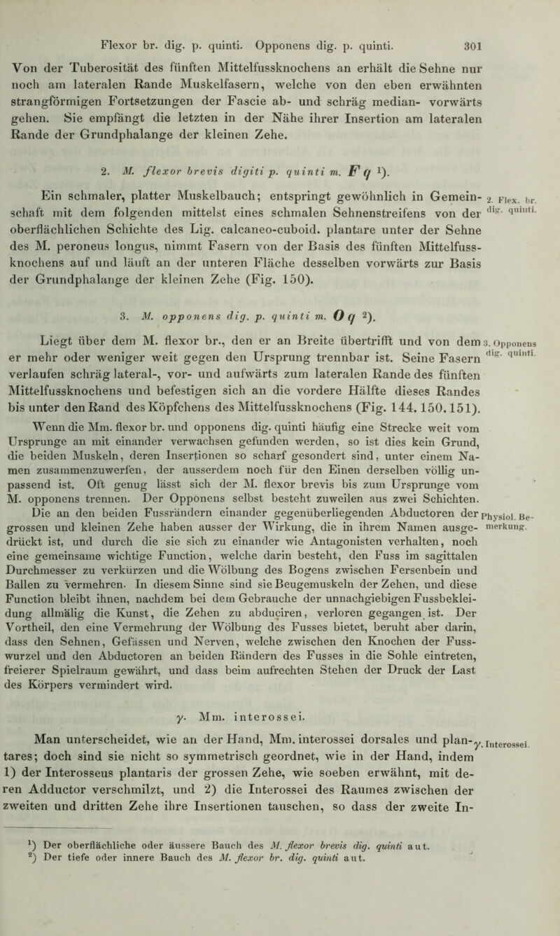 Von der Tuberosität des fünften Mittelfussknochens an erhält die Sehne nur noch am lateralen Rande Muskelfasern, welche von den eben erwähnten strangförmigen Fortsetzungen der Fascie ab- und schräg median- vorwärts gehen. Sie empfängt die letzten in der Nähe ihrer Insertion am lateralen Rande der Grundphalange der kleinen Zehe. 2. M. flexor brevis digiti p. quinti m. F q *). Ein schmaler, platter Muskelbauch; entspringt gewöhnlich in Gemein- 2. Fiex. br. Schaft mit dem folgenden mittelst eines schmalen Sehnenstreifens von der dl quint1, oberflächlichen Schichte des Lig. calcaneo-cuboid. plantare unter der Sehne des M. peroneus longus, nimmt Fasern von der Basis des fünften Mittelfuss- knochens auf und läuft an der unteren Fläche desselben vorwärts zur Basis der Grundphalange der kleinen Zehe (Fig. 150). 3. M. opponens dig. p. quinti m. O q 2^ Liegt über dem M. flexor br., den er an Breite übertrifft und von dem 3. Opponens er mehr oder weniger weit gegen den Ursprung trennbar ist. Seine Fasern dlg' quintl verlaufen schräg lateral-, vor- und aufwärts zum lateralen Rande des fünften Mittelfussknochens und befestigen sich an die vordere Hälfte dieses Randes bis unter den Rand des Köpfchens des Mittelfussknochens (Fig. 144.150.151). Wenn die Mm. flexor br. und opponens dig. quinti häufig eine Strecke weit vom Ursprünge an mit einander verwachsen gefunden werden, so ist dies kein Grund, die beiden Muskeln, deren Insertionen so scharf gesondert sind, unter einem Na- men zusammenzuwerfen, der ausserdem noch für den Einen derselben völlig un- passend ist. Oft genug lässt sich der M. flexor brevis bis zum Ursprünge vom M. opponens trennen. Der Opponens selbst besteht zuweilen aus zwei Schichten. Die an den beiden Fussrändern einander gegenüberliegenden Abductoren derphysiol Be, grossen und kleinen Zehe haben ausser der Wirkung, die in ihrem Namen ausge- merkun^. drückt ist, und durch die sie sich zu einander wie Antagonisten verhalten, noch eine gemeinsame wichtige Function, welche darin besteht, den Fuss im sagittalen Durchmesser zu verkürzen und die Wölbung des Bogens zwischen Fersenbein und Ballen zu vermehren- In diesem Sinne sind sie Beugemuskeln der Zehen, und diese Function bleibt ihnen, nachdem bei dem Gebrauche der unnachgiebigen Fussbeklei- dung allmälig die Kunst, die Zehen zu abduciren, verloren gegangen ist. Der Vortheil, den eine Vermehrung der Wölbung des Fusses bietet, beruht aber darin, dass den Sehnen, Gefässen und Nerven, welche zwischen den Knochen der Fuss- wurzel und den Abductoren an beiden Rändern des Fusses in die Sohle eintreten, freierer Spielraum gewährt, und dass beim aufrechten Stehen der Druck der Last des Körpers vermindert wird. y. Mm. interossei. Man unterscheidet, wie an der Hand, Mm. interossei dorsales und plan-y Interoggei tares; doch sind sie nicht so symmetrisch geordnet, wie in der Hand, indem 1) der Interosseus plantaris der grossen Zehe, wie soeben erwähnt, mit de- ren Adductor verschmilzt, und 2) die Interossei des Raumes zwischen der zweiten und dritten Zehe ihre Insertionen tauschen, so dass der zweite In- *) Der oberflächliche oder äussere Bauch des M. flexor brevis dig. quinti aut. 2) Der tiefe oder innere Bauch des M. flexor br. dig. quinti aut.