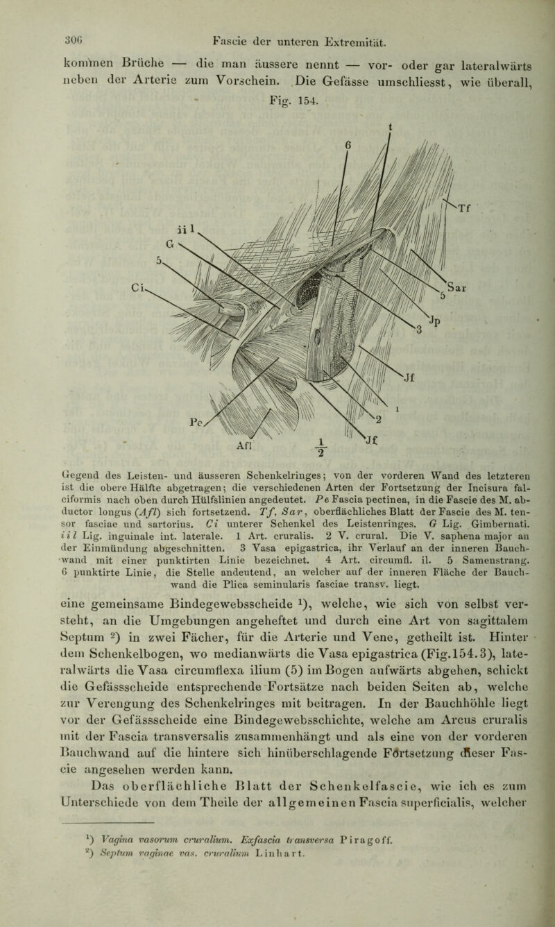 komYnen Brüche die man äussere nennt — vor- oder gar lateralwärts neben der Arterie zum Vorschein. Die Gefässe umschliesst, wie überall, Fig. 154. t Gegend des Leisten- und äusseren Schenkelringes; von der vorderen Wand des letzteren ist die obere Hälfte abgetragen; die verschiedenen Arten der Fortsetzung der Incisura fal- ciformis nach oben durch Hülfslinien angedeutet. Pe Fascia pectinea, in die Faseie des M. ab- ductor longus (Afl) sich fortsetzend. Tf, Sar, oberflächliches Blatt der Faseie des M. ten- sor fasciae und sartorius. Ci unterer Schenkel des Leistenringes. G Lig. Gimbernati. i i l Lig. inguinale int. laterale. 1 Art. cruralis. 2 V. crural. Die V. saphena major an der Einmündung abgeschnitten. 3 Vasa epigastrica, ihr Verlauf an der inneren Bauch- wand mit einer punktirten Linie bezeichnet. 4 Art. circumfl. il. 5 Samenstrang. 6 punktirte Linie, die Stelle andeutend, an welcher auf der inneren Fläche der Bauch- wand die Plica seminularis fasciae transv. liegt. eine gemeinsame Bindegewebsscheide *), welche, wie sich von selbst ver- steht, an die Umgebungen angeheftet und durch eine Art von sagittalem Septum l 2) in zwei Fächer, für die Arterie und Vene, getheilt ist. Hinter dem Schenkelbogen, wo medianwärts die Vasa epigastrica (Fig.154.3), late- ralwärts die Vasa circumflexa ilium (5) im Bogen aufwärts abgehen, schickt die Gefässscheide entsprechende Fortsätze nach beiden Seiten ab, welche zur Verengung des Schenkelringes mit beitragen. In der Bauchhöhle liegt vor der Gefässscheide eine Bindegewebsschichte, welche am Arcus cruralis mit der Fascia transversalis zusammenhängt und als eine von der vorderen Bauchwand auf die hintere sich hinüberschlagende Fortsetzung dieser Fas- cie angesehen werden kann. Das oberflächliche Blatt der Schenkelfascie, wie ich es zum Unterschiede von dem Theile der all gern einen Fascia superficialis, welcher l) Vagina vasorum cruralium. Exfascia transversa Piragoff. z) Septum vaginae vas. cruralium Lin hart.