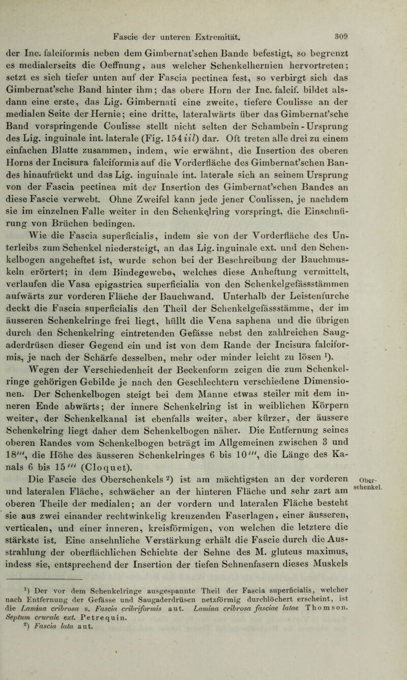 der Inc. falciformis neben dem Gimbernat’schen Bande befestigt, so begrenzt es medialerseits die Oeffnung, aus welcher Schenkelhernien hervortreten; setzt es sich tiefer unten auf der Fascia pectinea fest, so verbirgt sich das Gimbernat’sche Band hinter ihm; das obere Horn der Inc. falcif. bildet als- dann eine erste, das Lig. Gimbernati eine zweite, tiefere Coulisse an der medialen Seite der Hernie; eine dritte, lateralwärts über das Gimbernat’sche Band vorspringende Coulisse stellt nicht selten der Schambein - Ursprung des Lig. inguinale int. laterale (Fig. 154Ul) dar. Oft treten alle drei zu einem einfachen Blatte zusammen, indem, wie erwähnt, die Insertion des oberen Horns der Incisura falciformis auf die Vorderfläche des Gimbernat’schen Ban- des hinaufrückt und das Lig. inguinale int. laterale sich an seinem Ursprung von der Fascia pectinea mit der Insertion des Gimbernat’schen Bandes an diese Fascie verwebt. Ohne Zweifel kann jede jener Coulissen, je nachdem sie im einzelnen Falle weiter in den Schenkqlring vorspringt, die Einschnü- rung von Brüchen bedingen. Wie die Fascia superficialis, indem sie von der Vorderfläche des Un- terleibs zum Schenkel niedersteigt, an das Lig. inguinale ext. und den Schen- kelbogen angeheftet ist, wurde schon bei der Beschreibung der Bauchmus- keln erörtert; in dem Bindegewebe*, welches diese Anheftung vermittelt, verlaufen die Vasa epigastrica superficialia von den Schenkelgefässstämmen aufwärts zur vorderen Fläche der Bauchwand. Unterhalb der Leistenfurche deckt die Fascia superficialis den Theil der Schenkelgefässstämme, der im äusseren Schenkelringe frei liegt, hüllt die Vena saphena und die übrigen durch den Schenkelring eintretenden Gefässe nebst den zahlreichen Saug- aderdrüsen dieser Gegend ein und ist von dem Rande der Incisura falcifor- mis, je nach der Schärfe desselben, mehr oder minder leicht zu lösen *). Wegen der Verschiedenheit der Beckenform zeigen die zum Schenkel- ringe gehörigen Gebilde je nach den Geschlechtern verschiedene Dimensio- nen. Der Schenkelbogen steigt bei dem Manne etwas steiler mit dem in- neren Ende abwärts; der innere Schenkelring ist in weiblichen Körpern weiter, der Schenkelkanal ist ebenfalls weiter, aber kürzer, der äussere Schenkelring liegt daher dem Schenkelbogen näher. Die Entfernung seines oberen Randes vom Schenkelbogen beträgt im Allgemeinen zwischen 3 und 18', die Höhe des äusseren Schenkelringes 6 bis IO', die Länge des Ka- nals 6 bis 15/y/ (Cloquet). Die Fascie des Oberschenkels * 2) ist am mächtigsten an der vorderen und lateralen Fläche, schwächer an der hinteren Fläche und sehr zart am oberen Theile der medialen; an der vordem und lateralen Fläche besteht sie aus zwei einander rechtwinkelig kreuzenden Faserlagen, einer äusseren, verticalen, und einer inneren, kreisförmigen, von welchen die letztere die stärkste ist. Eine ansehnliche Verstärkung erhält die Fascie durch die Aus- strahlung der oberflächlichen Schichte der Sehne des M. gluteus maximus, indess sie, entsprechend der Insertion der tiefen Sehnenfasern dieses Muskels Der vor dem Schenkelringe ausgespannte Theil der Fascia superficialis, welcher nach Entfernung der Gefässe und Saugaderdrüsen netzförmig durchlöchert erscheint, ist die Lamina cribrosa s. Fascia cribriformis aut. Lamina cribrosa fasciae latae Thomson. Septum crurale ext. Petrequin. 2) Fascia lata aut. Ober- schenkel.