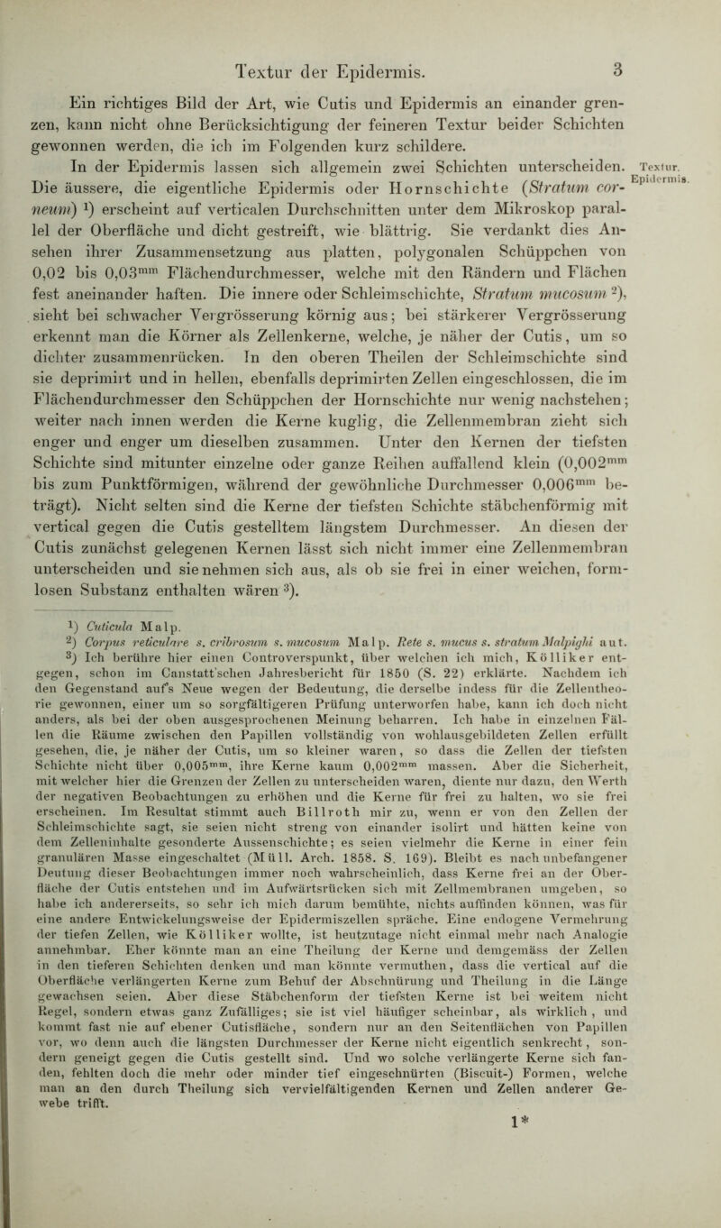 Ein richtiges Bild der Art, wie Cutis und Epidermis an einander gren- zen, kann nicht ohne Berücksichtigung der feineren Textur beider Schichten gewonnen werden, die ich im Folgenden kurz schildere. In der Epidermis lassen sich allgemein zwei Schichten unterscheiden. Die äussere, die eigentliche Epidermis oder Hornschichte (Stratum cor- neum) *) erscheint auf verticalen Durchschnitten unter dem Mikroskop paral- lel der Oberfläche und dicht gestreift, wie blättrig. Sie verdankt dies An- sehen ihrer Zusammensetzung aus platten, polygonalen Schüppchen von 0,02 bis 0,03mm Flächendurchmesser, welche mit den Rändern und Flächen fest aneinander haften. Die innere oder Schleimschichte, Stratum mucosum 2), sieht bei schwacher Yergrösserung körnig aus; bei stärkerer Yergrösserung erkennt man die Körner als Zellenkerne, welche, je näher der Cutis, um so dichter zusammenrücken. In den oberen Theilen der Schleim schichte sind sie deprimirt und in hellen, ebenfalls deprimirten Zellen eingeschlossen, die im Flächendurchmesser den Schüppchen der Hornschichte nur wenig nachstehen; weiter nach innen werden die Kerne kuglig, die Zellenmembran zieht sich enger und enger um dieselben zusammen. Unter den Kernen der tiefsten Schichte sind mitunter einzelne oder ganze Reihen auffallend klein (0,002mm bis zum Punktförmigen, während der gewöhnliche Durchmesser 0,006mm be- trägt). Nicht selten sind die Kerne der tiefsten Schichte stäbchenförmig mit vertical gegen die Cutis gestelltem längstem Durchmesser. An diesen der Cutis zunächst gelegenen Kernen lässt sich nicht immer eine Zellenmembran unterscheiden und sie nehmen sich aus, als ob sie frei in einer weichen, form- losen Substanz enthalten wären 3). 1) Cuticula Malp. 2) Corpus reticulare s. cribrosum s.mucosu7n Malp. Rete s. uiucus s. stratum Malpigld aut. 3) Ich berühre hier einen Controverspunkt, über welchen ich mich, Kölliker ent- gegen, schon im Canstatt’schen Jahresbericht für 1850 (S. 22) erklärte. Nachdem ich den Gegenstand auf’s Neue wegen der Bedeutung, die derselbe indess für die Zellentheo- rie gewonnen, einer um so sorgfältigeren Prüfung unterworfen habe, kann ich doch nicht anders, als bei der oben ausgesprochenen Meinung beharren. Ich habe in einzelnen Fäl- len die Räume zwischen den Papillen vollständig von wohlausgebildeten Zellen erfüllt gesehen, die, je näher der Cutis, um so kleiner waren, so dass die Zellen der tiefsten Schichte nicht über 0,0OÖ”*”1, ihre Kerne kaum 0,002mm massen. Aber die Sicherheit, mit welcher hier die Grenzen der Zellen zu unterscheiden waren, diente nur dazu, den Werth der negativen Beobachtungen zu erhöhen und die Kerne für frei zu halten, wo sie frei erscheinen. Im Resultat stimmt auch Billroth mir zu, wenn er von den Zellen der Schleim schichte sagt, sie seien nicht streng von einander isolirt und hätten keine von dem Zelleninhalte gesonderte Aussenscliichte; es seien vielmehr die Kerne in einer fein granulären Masse eingeschaltet (Müll. Arch. 1858. S. 169). Bleibt es nach unbefangener Deutung dieser Beobachtungen immer noch wahrscheinlich, dass Kerne frei an der Ober- fläche der Cutis entstehen und im Aufwärtsrücken sich mit Zellmembranen umgeben, so habe ich andererseits, so sehr ich mich darum bemühte, nichts auffinden können, was für eine andere Entwickelungsweise der Epidermiszellen spräche. Eine endogene Vermehrung der tiefen Zellen, wie Kölliker wollte, ist heutzutage nicht einmal mehr nach Analogie annehmbar. Eher könnte man an eine Theilung der Kerne und demgemäss der Zellen in den tieferen Schichten denken und man könnte vermuthen, dass die vertical auf die Oberfläche verlängerten Kerne zum Behuf der Abschnürung und Theilung in die Länge gewachsen seien. Aber diese Stäbchenform der tiefsten Kerne ist bei weitem nicht Regel, sondern etwas ganz Zufälliges; sie ist viel häufiger scheinbar, als wirklich, und kommt fast nie auf ebener Cutisfläche, sondern nur an den Seitenflächen von Papillen vor, wo denn auch die längsten Durchmesser der Kerne nicht eigentlich senkrecht, son- dern geneigt gegen die Cutis gestellt sind. Und wo solche verlängerte Kerne sich fan- den, fehlten doch die mehr oder minder tief eingeschnürten (Biscuit-) Formen, welche man an den durch Theilung sich vervielfältigenden Kernen und Zellen anderer Ge- webe trifft. Textur. Epidermis. 1*