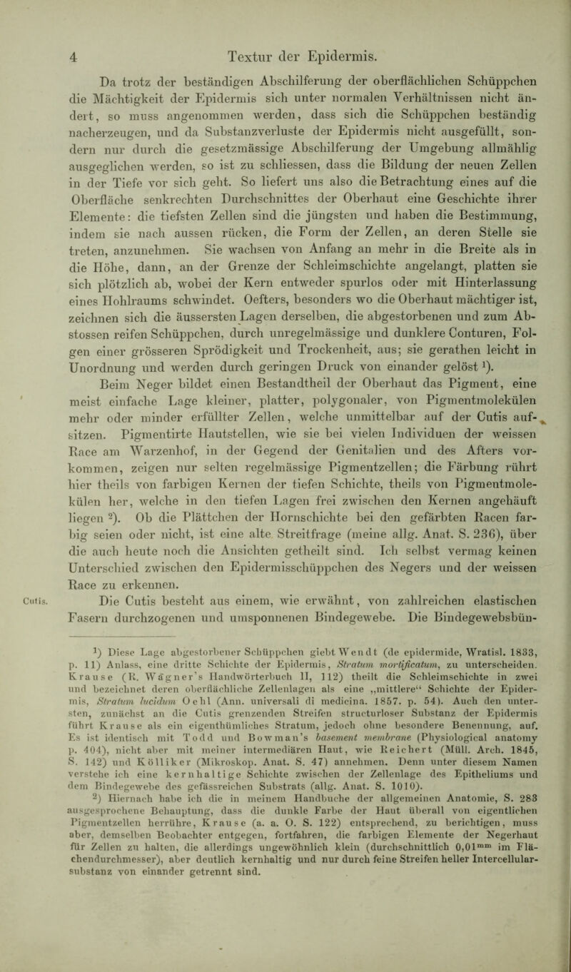 Cutis. Da trotz der beständigen Abschilferung der oberflächlichen Schüppchen die Mächtigkeit der Epidermis sich unter normalen Verhältnissen nicht än- dert, so muss angenommen werden, dass sich die Schüppchen beständig nacherzeugen, und da Substanzverluste der Epidermis nicht ausgefüllt, son- dern nur durch die gesetzmässige Abschilferung der Umgebung allmählig ausgeglichen werden, so ist zu schliessen, dass die Bildung der neuen Zellen in der Tiefe vor sich geht. So liefert uns also die Betrachtung eines auf die Oberfläche senkrechten Durchschnittes der Oberhaut eine Geschichte ihrer Elemente: die tiefsten Zellen sind die jüngsten und haben die Bestimmung, indem sie nach aussen rücken, die Form der Zellen, an deren Stelle sie treten, anzunehmen. Sie wachsen von Anfang an mehr in die Breite als in die Höhe, dann, an der Grenze der Schleimschichte angelangt, platten sie sich plötzlich ab, wobei der Kern entweder spurlos oder mit Hinterlassung eines Hohlraums schwindet. Oefters, besonders wo die Oberhaut mächtiger ist, zeichnen sich die äussersten Lagen derselben, die abgestorbenen und zum Ab- stossen reifen Schüppchen, durch unregelmässige und dunklere Conturen, Fol- gen einer grösseren Sprödigkeit und Trockenheit, aus; sie gerathen leicht in Unordnung und werden durch geringen Druck von einander gelöst1). Beim Neger bildet einen Bestandtheil der Oberhaut das Pigment, eine meist einfache Lage kleiner, platter, polygonaler, von Pigmentmolekülen mehr oder minder erfüllter Zellen, welche unmittelbar auf der Cutis auf-^ sitzen. Pigmentirte Hautstellen, wie sie bei vielen Individuen der weissen Bace am Warzenhof, in der Gegend der Genitalien und des Afters Vor- kommen, zeigen nur selten regelmässige Pigmentzellen; die Färbung rührt hier theils von farbigeu Keinen der tiefen Schichte, theils von Pigmentmole- külen her, welche in den tiefen Lagen frei zwischen den Kernen angehäuft liegen 2). Ob die Plättchen der Hornschichte bei den gefärbten Racen far- big seien oder nicht, ist eine alte Streitfrage (meine allg. Anat. S. 236), über die auch heute noch die Ansichten getheilt sind. Ich selbst vermag keinen Unterschied zwischen den Epidermisscliüjjpchen des Negers und der weissen Race zu erkennen. Die Cutis besteht aus einem, wie erwähnt, von zahlreichen elastischen Fasern durchzogenen und umsponnenen Bindegewebe. Die Bindegewebsbün- !) Diese Lage abgestorbener Schüppchen giebtWendt (de epidermide, Wratisl. 1838, p. 11) Anlass, eine dritte Schichte der Epidermis, Stratum morlificatum, zu unterscheiden. Krause (R. Wägner’s Handwörterbuch II, 112) theilt die Schleimschichte in zwei und bezeichnet deren oberflächliche Zellenlagen als eine „mittlere“ Schichte der Epider- mis, Stratum lucidum Oe hl (Ann. universali di medicina. 1857. p. 54). Auch den unter- sten, zunächst an die Cutis grenzenden Streifen structurloser Substanz der Epidermis führt Krause als ein eigenthümliches Stratum, jedoch ohne besondere Benennung, auf. Es ist identisch mit Todd und Bowman’s basement membrane (Physiological anatomy p. 404), nicht aber mit meiner intermediären Haut, wie Reichert (Müll. Arch. 1845, S. 142) und Kölliker (Mikroskop. Anat. S. 47) annehmen. Denn unter diesem Namen verstehe ich eine kernhaltige Schichte zwischen der Zellenlage des Epitheliums und dem Bindegewebe des gefässreichen Substrats (allg. Anat. S. 1010). 2) Hiernach habe ich die in meinem Handbuche der allgemeinen Anatomie, S. 283 ausgesprochene Behauptung, dass die dunkle Farbe der Haut überall von eigentlichen Pigmentzellen herrühre, Krause (a. a. O. S. 122) entsprechend, zu berichtigen, muss aber, demselben Beobachter entgegen, fortfahren, die farbigen Elemente der Negerhaut für Zellen zu halten, die allerdings ungewöhnlich klein (durchschnittlich 0,01mm im Flä- chendurchmesser), aber deutlich kernhaltig und nur durch feine Streifen heller Intercellular- substanz von einander getrennt sind.