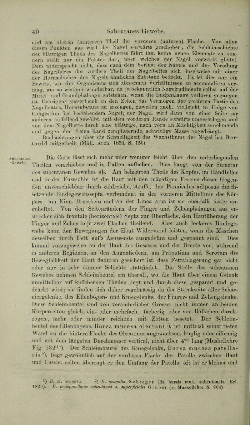 Subcutancs Gewebe. und am oberen (hinteren) Tlieil der vorderen (unteren) Fläche. Von allen diesen Punkten aus wird der Nagel vorwärts geschoben; die Schleim schichte des blättrigen Theils des Nagelbettes führt ihm keine neuen Elemente zu, son- dern stellt nur ein Polster dar, über welches der Nagel vorwärts gleitet. Dem widerspricht nicht, dass nach dem Verlust des Nagels und der Verödung des Nagelfalzes der vordere Theil des Nagelbettes sich inselweise mit einer der Hornschichte des Nagels ähnlichen Substanz bedeckt. Es ist dies nur ein Beweis, wie der Organismus sich abnormen Verhältnissen zu accomodiren ver- mag, um so weniger wunderbar, da ja bekanntlich Nagelrudimente selbst auf der Mittel- und Grundphalange entstehen, wenn die Endphalange verloren gegangen ist. Uebrigens äussert sich an den Zehen das Vermögen der vorderen Partie des Nagelbettes, Hornsubstanz zu erzeugen, zuweilen auch, vielleicht in Folge von Congestion, bei bestehendem Nagel; der Nagel wird dann von einer Seite zur anderen auffallend gewölbt, mit dem vorderen Rande aufwärts umgeschlagen und von dem Nagelbette durch eine blättrige, nach vorn an Mächtigkeit zunehmende und gegen den freien Rand zersplitternde, schwielige Masse abgedrängt. Beobachtungen über die Schnelligkeit des Wachsthums der Nägel hat Ber- thold mitgetheilt (Müll. Arch. 1850, S. 156). Die Cutis lässt sich mehr oder weniger leicht über den unterliegenden Theilen verschieben und in Falten aufheben. Dies hängt von der Structur des subcutanen Gewebes ab. Am behaarten Theile des Kopfes, im Handteller und in der Fusssohle ist die Haut mit den mächtigen Fascien dieser Gegen- den unverschiebbar durch zahlreiche, straffe, den Panniculus adiposus durch- setzende Bindegewebssepta verbunden; in der vorderen Mittellinie des Kör- pers, am Kinn, Brustbein und an der Linea alba ist sie ebenfalls fester an- geheftet. Von den Seitenrändern der Finger und Zehenphalangen aus er- strecken sich frontale (horizontale) Septa zur Oberfläche, den Hautüberzug der Finger und Zehen in je zwei Flächen theilend. Aber auch lockeres Bindege- webe kann den Bewegungen der Haut Widerstand leisten, wenn die Maschen desselben durch Fett aufs Aeusserste ausgedehnt und gespannt sind. Dies kömmt vorzugsweise an der Haut des Gesässes und der Brüste vor, während in anderen Regionen, an den Augenliedern, am Präputium und Scrotum die Beweglichkeit der Haut dadurch gesichert ist, dass Fettablagerung gar nicht oder nur in sehr dünner Schichte stattfindet. Die Stelle des subcutanen Gewebes nehmen Schleimbeutel ein überall, wo die Haut über einem Gelenk unmittelbar auf knöchernen Theilen liegt und durch diese gespannt und ge- drückt wird; sie finden sich daher regelmässig an der Streckseite aller Schar- niergelenke, des Ellenbogen- und Kniegelenks, der Finger- und Zehengelenke. Diese Schleimbeutel sind von veränderlicher Grösse, nicht immer an beiden Körperseiten gleich, ein- oder mehrfach, fächerig oder von Bälkchen durch- zogen , mehr oder minder reichlich mit Zotten besetzt. Der Schleim- beutel des Ellenbogens, Bursa mucosa olecrani l), ist mittelst seiner tiefen Wand an die hintere Fläche des Olecranon angewachsen, kuglig oder eiförmig und mit dem längsten Durchmesser vertical, nicht über 4cm lang (Muskellehre Fig. 132**). Der Schleimbeutel des Kniegelenks, Bursa mucosa patella- ris -), liegt gewöhnlich auf der vorderen Fläche der Patella zwischen Haut und Fascie; selten überragt er den Umfang der Patella, oft ist er kleiner und l) B. m. anconea. 2) B. genualis Sckrcger (de bursis muc. subcutaneis. Erl. 1825). B. praepatellaris subcutanea s. superficialis Gr über (s. Muskellehre S. 264).