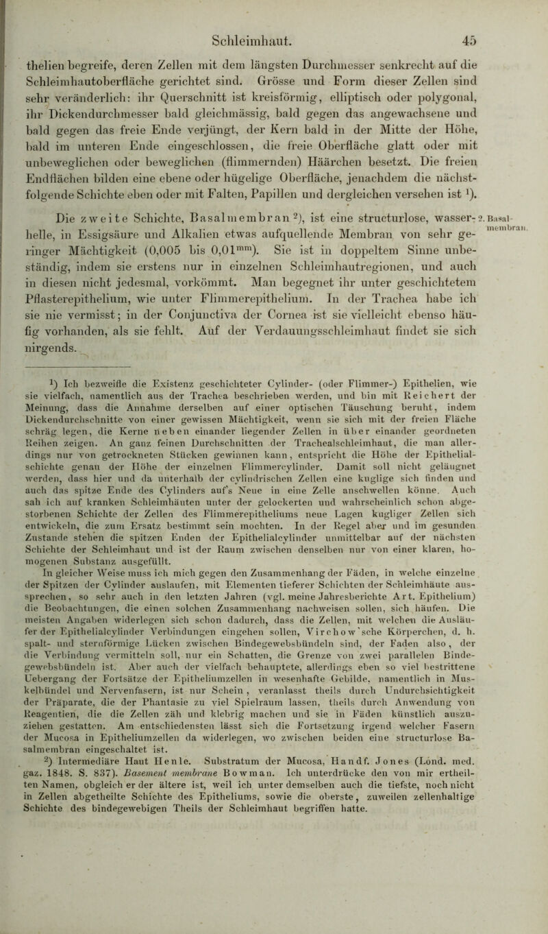 thelien begreife, deren Zellen mit dem längsten Durchmesser senkrecht auf die Schleimhautoberfläche gerichtet sind. Grösse und Form dieser Zellen sind sehr veränderlich: ihr Querschnitt ist kreisförmig, elliptisch oder polygonal, ihr Dickendurchmesser bald gleichmässig, bald gegen das angewachsene und bald gegen das freie Ende verjüngt, der Kern bald in der Mitte der Höhe, bald im unteren Ende eingeschlossen, die freie Oberfläche glatt oder mit unbeweglichen oder beweglichen (flimmernden) Häärchen besetzt. Die freien Endflächen bilden eine ebene oder hügelige Oberfläche, jenachdem die nächst- folgende Schichte eben oder mit Falten, Papillen und dergleichen versehen ist Q. Die zweite Schichte, Basalmembran2), ist eine structurlose, wasser-2 helle, in Essigsäure und Alkalien etwas aufquellende Membran von sehr ge- ringer Mächtigkeit (0,005 bis 0,0lmm). Sie ist in doppeltem Sinne unbe- ständig, indem sie erstens nur in einzelnen Schleimhautregionen, und auch in diesen nicht jedesmal, vorkömmt. Man begegnet ihr unter geschichtetem Pflasterepithelium, wie unter Flimmerepithelium. In der Trachea habe ich sie nie vermisst; in der Conjunctiva der Cornea i-st sie vielleicht ebenso häu- fig vorhanden, als sie fehlt. Auf der Verdauungsschleimhaut findet sie sich nirgends. Q Ich bezweifle die Existenz geschichteter Cylinder- (oder Flimmer-) Epithelien, wie sie vielfach, namentlich aus der Trachea beschrieben werden, und bin mit Reichert der Meinung, dass die Annahme derselben auf einer optischen Täuschung beruht, indem Dickendurchschnitte von einer gewissen Mächtigkeit, wenn sie sich mit der freien Fläche schräg legen, die Kerne neben einander liegender Zellen in über einander geordneten Reihen zeigen. An ganz feinen Durchschnitten der Trachealschleimhaut, die man aller- dings nur von getrockneten Stücken gewinnen kann, entspricht die Höhe der Epithelial- schichte genau der Höhe der einzelnen Flimmercylinder. Damit soll nicht geläugnet werden, dass hier und da unterhalb der cylindrischen Zellen eine kuglige sich finden und auch das spitze Ende des Oylinders auf’s Neue in eine Zelle anschwellen könne. Auch sah ich auf kranken Schleimhäuten unter der gelockerten und wahrscheinlich schon abge- storbenen Schichte der Zellen des Flimmerepitheliums neue Lagen kugliger Zellen sich entwickeln, die zum Ersatz bestimmt sein mochten. In der Regel aber und im gesunden Zustande stehen die spitzen Enden der Epithelialcylinder unmittelbar auf der nächsten Schichte der Schleimhaut und ist der Raum zwischen denselben nur von einer klaren, ho- mogenen Substanz ausgefüllt. In gleicher Weise muss ich mich gegen den Zusammenhang der Fäden, in welche einzelne der Spitzen der Cylinder auslaufen, mit Elementen tieferer Schichten der Schleimhäute aus- sprechen, so sehr auch in den letzten Jahren (vgl. meine Jahresberichte Art. Epithelium) die Beobachtungen, die einen solchen Zusammenhang nachweisen sollen, sich häufen. Die meisten Angaben widerlegen sich schon dadurch, dass die Zellen, mit welchen die Ausläu- fer der Epithelialcylinder Verbindungen eingehen sollen, Virchow’sche Körperchen, d. h. spalt- und sternförmige Lücken zwischen Bindegewebsbündeln sind, der Faden also , der die Verbindung vermitteln soll, nur ein Schatten, die Grenze von zwei parallelen Binde- gewebsbündeln ist. Aber auch der vielfach behauptete, allerdings eben so viel bestrittene Uebergang der Fortsätze der Epitheliumzellen in wesenhafte Gebilde, namentlich in Mus- kelbündel und Nervenfasern, ist nur Schein , veranlasst theils durch Undurchsichtigkeit der Präparate, die der Phantasie zu viel Spielraum lassen, theils durch Anwendung von Reagentien, die die Zellen zäh und klebrig machen und sie in Fäden künstlich auszu- ziehen gestatten. Am entschiedensten lässt sich die Fortsetzung irgend welcher Fasern der Mucosa in Epitheliumzellen da widerlegen, wo zwischen beiden eine structurlose Ba- salmembran eingeschaltet ist. 2) Intermediäre Haut Henle. Substratum der Mucosa, Handf. Jones (Lönd. med. gaz. 1848. S. 837). Basement membrane Bowman. Ich unterdrücke den von mir ertheil- ten Namen, obgleich er der ältere ist, weil ich unter demselben auch die tiefste, noch nicht in Zellen abgetheilte Schichte des Epitheliums, sowie die oberste, zuweilen zellenhaltige Schichte des bindegewebigen Theils der Schleimhaut begriffen hatte. Basal- membran.