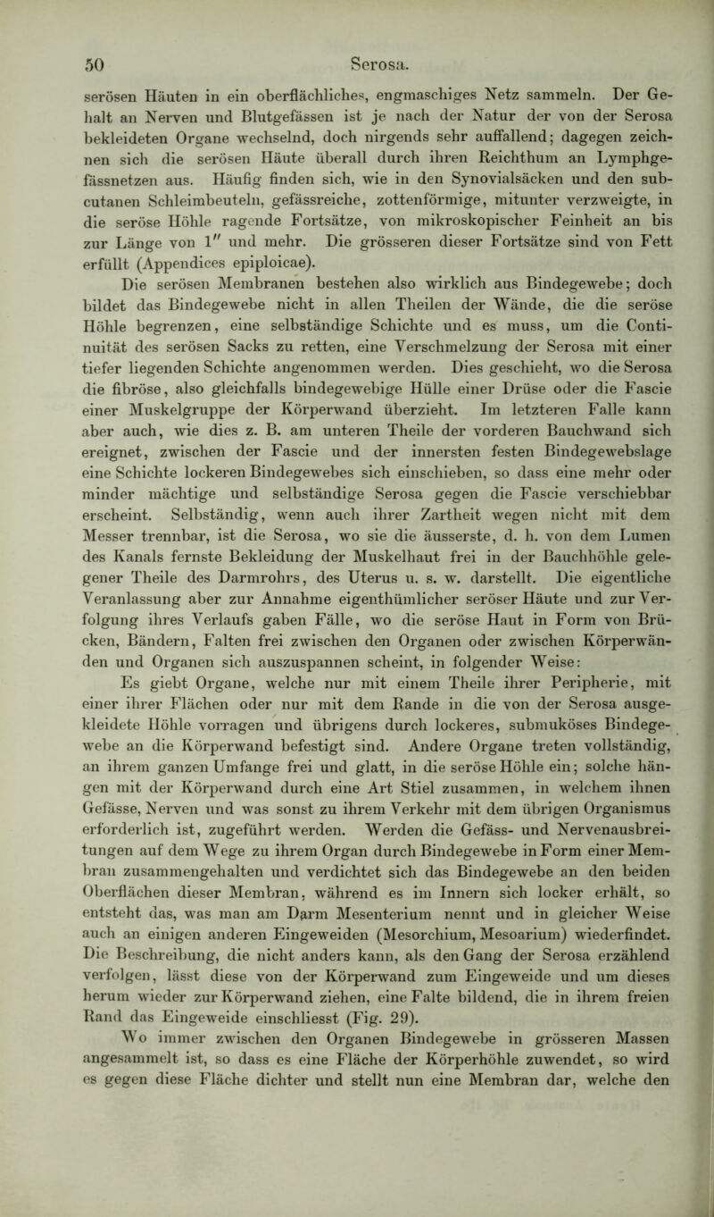 serösen Häuten in ein oberflächliches, engmaschiges Netz sammeln. Der Ge- halt an Nerven und Blutgefässen ist je nach der Natur der von der Serosa bekleideten Organe wechselnd, doch nirgends sehr auffallend; dagegen zeich- nen sich die serösen Häute überall durch ihren Reichthum an Lymphge- fassnetzen aus. Häufig finden sich, wie in den Synovialsäcken und den sub- cutanen Schleimbeuteln, gefässreiche, zottenförmige, mitunter verzweigte, in die seröse Höhle ragende Fortsätze, von mikroskopischer Feinheit an bis zur Länge von l,r und mehr. Die grösseren dieser Fortsätze sind von Fett erfüllt (Appendices epiploicae). Die serösen Membranen bestehen also wirklich aus Bindegewebe; doch bildet das Bindegewebe nicht in allen Theilen der Wände, die die seröse Höhle begrenzen, eine selbständige Schichte und es muss, um die Conti- nuität des serösen Sacks zu retten, eine Verschmelzung der Serosa mit einer tiefer liegenden Schichte angenommen werden. Dies geschieht, wo die Serosa die fibröse, also gleichfalls bindegewebige Hülle einer Drüse oder die Fascie einer Muskelgruppe der Körperwand überzieht. Im letzteren Falle kann aber auch, wie dies z. B. am unteren Theile der vorderen Bauchwand sich ereignet, zwischen der Fascie und der innersten festen Bindegewebslage eine Schichte lockeren Bindegewebes sich einschieben, so dass eine mehr oder minder mächtige und selbständige Serosa gegen die Fascie verschiebbar erscheint. Selbständig, wenn auch ihrer Zartheit wegen nicht mit dem Messer trennbar, ist die Serosa, wo sie die äusserste, d. h. von dem Lumen des Kanals fernste Bekleidung der Muskelhaut frei in der Bauchhöhle gele- gener Theile des Darmrohrs, des Uterus u. s. w. darstellt. Die eigentliche Veranlassung aber zur Annahme eigenthümlicher seröser Häute und zur Ver- folgung ihres Verlaufs gaben Fälle, wo die seröse Haut in Form von Brü- cken, Bändern, Falten frei zwischen den Organen oder zwischen Körperwän- den und Organen sich auszuspannen scheint, in folgender Weise: Es giebt Organe, welche nur mit einem Theile ihrer Peripherie, mit einer ihrer Flächen oder nur mit dem Rande in die von der Serosa ausge- kleidete Höhle vorragen und übrigens durch lockeres, submuköses Bindege- webe an die Körperwand befestigt sind. Andere Organe treten vollständig, an ihrem ganzen Umfange frei und glatt, in die seröse Höhle ein; solche hän- gen mit der Körperwand durch eine Art Stiel zusammen, in welchem ihnen Gefässe, Nerven und was sonst zu ihrem Verkehr mit dem übrigen Organismus erforderlich ist, zugeführt werden. Werden die Gefäss- und Nervenausbrei- tungen auf dem Wege zu ihrem Organ durch Bindegewebe in Form einer Mem- bran zusammengehalten und verdichtet sich das Bindegewebe an den beiden Oberflächen dieser Membran, während es im Innern sich locker erhält, so entsteht das, was man am Darm Mesenterium nennt und in gleicher Weise auch an einigen anderen Eingeweiden (Mesorchium, Mesoarium) wiederfindet. Die Beschreibung, die nicht anders kann, als den Gang der Serosa erzählend verfolgen, lässt diese von der Körperwand zum Eingeweide und um dieses herum wieder zur Körperwand ziehen, eine Falte bildend, die in ihrem freien Rand das Eingeweide einschliesst (Fig. 29). Wo immer zwischen den Organen Bindegewebe in grösseren Massen angesammelt ist, so dass es eine Fläche der Körperhöhle zuwendet, so wird es gegen diese Fläche dichter und stellt nun eine Membran dar, welche den