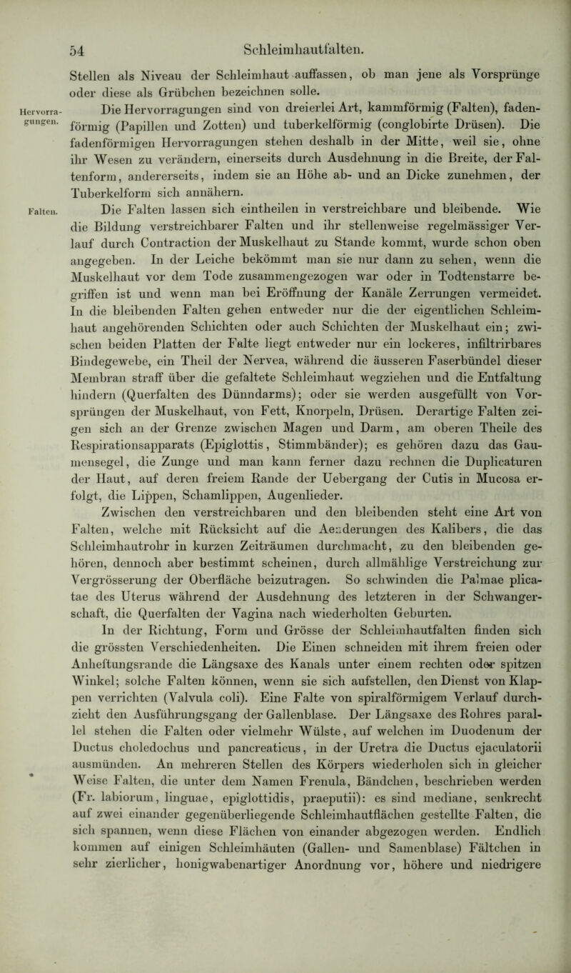 Hcrvorra- gungen. Falten. 54 Schleimhaut falten. Stellen als Niveau der Schleimhaut auffassen, oh man jene als Yorsprünge oder diese als Grübchen bezeichnen solle. Die Hervorragungen sind von dreierlei Art, kammförmig (Falten), faden- förmig (Papillen und Zotten) und tuberkelförmig (conglobirte Drüsen). Die fadenförmigen Hervorragungen stehen deshalb in der Mitte, weil sie, ohne ihr Wesen zu verändern, einerseits durch Ausdehnung in die Breite, der Fal- tenform, andererseits, indem sie an Höhe ab- und an Dicke zunehmen, der Tuberkelform sich annähern. Die Falten lassen sich eintheilen in verstreichbare und bleibende. Wie die Bildung verstreichbarer Falten und ihr stellenweise regelmässiger Ver- lauf durch Contraction der Muskelhaut zu Stande kommt, wurde schon oben angegeben. In der Leiche bekömmt man sie nur dann zu sehen, wenn die Muskelhaut vor dem Tode zusammengezogen war oder in Todtenstarre be- griffen ist und wenn man bei Eröffnung der Kanäle Zerrungen vermeidet. In die bleibenden Falten gehen entweder nur die der eigentlichen Schleim- haut angehörenden Schichten oder auch Schichten der Muskelhaut ein; zwi- schen beiden Platten der Falte liegt entweder nur ein lockeres, infiltrirbares Bindegewebe, ein Theil der Nervea, während die äusseren Faserbündel dieser Membran straff über die gefaltete Schleimhaut wegziehen und die Entfaltung hindern (Querfalten des Dünndarms); oder sie werden ausgefüllt von Vor- sprüngen der Muskelhaut, von Fett, Knorpeln, Drüsen. Derartige Falten zei- gen sich an der Grenze zwischen Magen und Darm, am oberen Theile des Respirationsapparats (Epiglottis, Stimmbänder); es gehören dazu das Gau- mensegel, die Zunge und man kann ferner dazu rechnen die Duplicaturen der Haut, auf deren freiem Rande der Uebergang der Cutis in Mucosa er- folgt, die Lippen, Schamlippen, Augenlieder. Zwischen den verstreichbaren und den bleibenden steht eine Art von Falten, welche mit Rücksicht auf die Aenderungen des Kalibers, die das Schleimhautrohr in kurzen Zeiträumen durchmacht, zu den bleibenden ge- hören, dennoch aber bestimmt scheinen, durch allmählige Verstreichung zur Vergrösserung der Oberfläche beizutragen. So schwinden die Palmae plica- tae des Uterus während der Ausdehnung des letzteren in der Schwanger- schaft, die Querfalten der Vagina nach wiederholten Geburten. In der Richtung, Form und Grösse der Schleimhautfalten finden sich die grössten Verschiedenheiten. Die Einen schneiden mit ihrem freien oder Anheftungsrande die Längsaxe des Kanals unter einem rechten oder spitzen Winkel; solche Falten können, wenn sie sich aufstellen, den Dienst von Klap- pen verrichten (Valvula coli). Eine Falte von spiralförmigem Verlauf durch- zieht den Ausführungsgang der Gallenblase. Der Längsaxe des Rohres paral- lel stehen die Falten oder vielmehr Wülste, auf welchen im Duodenum der Ductus choledochus und pancreaticus, in der Uretra die Ductus ejaculatorii ausmünden. An mehreren Stellen des Körpers wiederholen sich in gleicher Weise Falten, die unter dem Namen Frenula, Bändchen, beschrieben werden (Fr. labiorum, linguae, epiglottidis, praeputii): es sind mediane, senkrecht auf zwei einander gegenüberliegende Schleimhautflächen gestellte Falten, die sich spannen, wenn diese Flächen von einander abgezogen werden. Endlich kommen auf einigen Schleimhäuten (Gallen- und Samenblase) Fältchen in sehr zierlicher, honigwabenartiger Anordnung vor, höhere und niedrigere