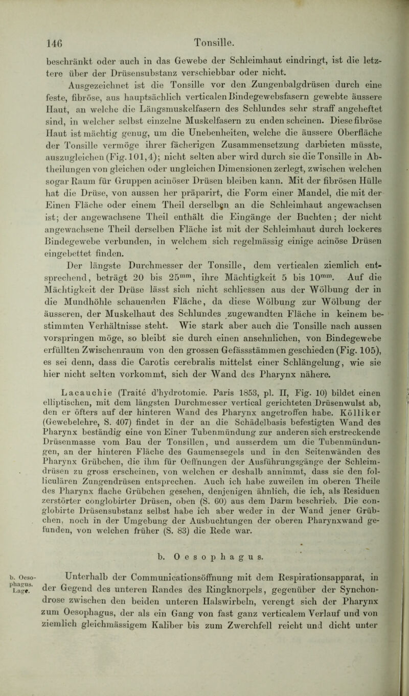 b. Oeso- phagus. Lage. beschränkt oder auch in das Gewebe der Schleimhaut eindringt, ist die letz- tere über der Drüsensubstanz verschiebbar oder nicht. Ausgezeichnet ist die Tonsille vor den Zungenbalgdrüsen durch eine feste, fibröse, aus hauptsächlich verticalen Bindegewebsfasern gewebte äussere Haut, an welche die Längsmuskelfasern des Schlundes sehr straff angeheftet sind, in welcher selbst einzelne Muskelfasern zu enden scheinen. Diese fibröse Haut ist mächtig genug, um die Unebenheiten, welche die äussere Oberfläche der Tonsille vermöge ihrer fächerigen Zusammensetzung darbieten müsste, auszugleichen (Fig. 101,4); nicht selten aber wird durch sie die Tonsille in Ab- theilungen von gleichen oder ungleichen Dimensionen zerlegt, zwischen welchen sogar Raum für Gruppen acinöser Drüsen bleiben kann. Mit der fibrösen Hülle hat die Drüse, von aussen her präparirt, die Form einer Mandel, die mit der Einen Fläche oder einem Theil derselbgn an die Schleimhaut angewachsen ist; der angewachsene Theil enthält die Eingänge der Buchten; der nicht angewachsene Theil derselben Fläche ist mit der Schleimhaut durch lockeres Bindegewebe verbunden, in welchem sich regelmässig einige acinöse Drüsen eingebettet finden. Der längste Durchmesser der Tonsille, dem verticalen ziemlich ent- sprechend, beträgt 20 bis 25mm, ihre Mächtigkeit 5 bis 10mm. Auf die Mächtigkeit der Drüse lässt sich nicht schliessen aus der Wölbung der in die Mundhöhle schauenden Fläche, da diese Wölbung zur Wölbung der äusseren, der Muskelhaut des Schlundes zugewandten Fläche in keinem be- stimmten Verhältnisse steht. Wie stark aber auch die Tonsille nach aussen vorspringen möge, so bleibt sie durch einen ansehnlichen, von Bindegewebe erfüllten Zwischenraum von den grossen Gefässstämmen geschieden (Fig. 105), es sei denn, dass die Carotis cerebralis mittelst einer Schlängelung, wie sie hier nicht selten vorkommt, sich der Wand des Pharynx nähere. Lacauchie (Traite d’hydrotomie. Paris 1858, pl. II, Fig. 10) bildet einen elliptischen, mit dem längsten Durchmesser vertical gerichteten Drüsenwulst ab, den er öfters auf der hinteren Wand des Pharynx angetroffen habe. Kölliker (Gewebelehre, S. 407) findet in der an die Schädelbasis befestigten Wand des Pharynx beständig eine von Einer Tubenmündung zur anderen sich erstreckende Drüsenmasse vom Bau der Tonsillen, und ausserdem um die Tubenmündun- gen, an der hinteren Fläche des Gaumensegels und in den Seitenwänden des Pharynx Grübchen, die ihm für Oeffnungen der Ausführungsgänge der Schleim- drüsen zu gross erscheinen, von welchen er deshalb annimmt, dass sie den fol- liculären Zungendrüsen entsprechen. Auch ich habe zuweilen im oberen Theile des Pharynx flache Grübchen gesehen, denjenigen ähnlich, die ich, als Residuen zerstörter conglobirter Drüsen, oben (S. 60) aus dem Darm beschrieb. Die con- globirte Drüsensubstanz selbst habe ich aber weder in der Wand jener Grüb- chen, noch in der Umgebung der Ausbuchtungen der oberen Pharynxwand ge- funden, von welchen früher (S. 83) die Rede war. b. Oesophagus. Unterhalb der Communicationsöffnung mit dem Respirationsapparat, in der Gegend des unteren Randes des Ringknorpels, gegenüber der Synchon- drose zwischen den beiden unteren Halswirbeln, verengt sich der Pharynx zum Oesophagus, der als ein Gang von fast ganz verticalem Verlauf und von ziemlich gleichmässigem Kaliber bis zum Zwerchfell reicht und dicht unter