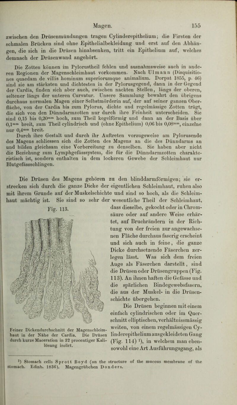 zwischen den Drüsenmündungen tragen Cylinderepithelium; die Firsten der schmalen Brücken sind ohne Epithelialbekleidung und erst auf den Abhän- gen, die sich in die Drüsen hinabsenken, tritt ein Epithelium auf, welches demnach der Drüsenwand angehört. Die Zotten können im Pylorustheil fehlen und ausnahmsweise auch in ande- ren Regionen der Magenschleimhaut Vorkommen. Nach Ul mann (Disquisitio- nes quaedam de villis hominum superiorumque animalium. Dorpat 1855, p. 46) sind sie am stärksten und dichtesten in der Pylorusgegend, dann in der Gegend der Cardia, finden sich aber auch, zwischen nackten Stellen, längs der oberen, seltener längs der unteren Curvatur. Unsere Sammlung bewahrt den übrigens durchaus normalen Magen einer Selbstmörderin auf, der auf seiner ganzen Ober- fläche, von der Cardia bis zum Pylorus, dichte und regelmässige Zotten trägt, die sich von den Dünndarmzotten nur durch ihre Feinheit unterscheiden. Sie sind 0,15 bis 0,20mm hoch, zum Theil kegelförmig und dann an der Basis über 0,imm breit, zum Theil cylindrisch und (ohne Epithelium) 0,06 bis 0,08mm, einzelne nur 0,4mm breit. Durch ihre Gestalt und durch ihr Auftreten vorzugsweise am Pylorusende des Magens schliessen sich die Zotten des Magens an die des Dünndarms an und bilden gleichsam eine Vorbereitung zu denselben. Sie haben aber nicht die Beziehung zum Lymphgefässsystem, die für die Dünndarmzotten charakte- ristisch ist, sondern enthalten in dem lockeren Gewebe der Schleimhaut nur Blutgefässschlingen. Die Drüsen des Magens gehören zu den blinddarmförmigen; sie er- strecken sich durch die ganze Dicke der eigentlichen Schleimhaut, ruhen also mit ihrem Grunde auf der Muskelschichte und sind so hoch, als die Schleim- haut mächtig ist. Sie sind so sehr der wesentliche Theil der Schleimhaut, Fig. 113. Feiner Dickendurchschnitt der Magenschleim- haut in der Nähe der Cardia. Die Drüsen durch kurze Maceration in 32 procentiger Kali- lösung isolirt. x) Stomach cells Sprott ßoyd (on the stomach. Edinb. 1836). Magengrübchen Do dass dieselbe, gekocht oder in Chrom- säure oder auf andere Weise erhär- tet, auf Bruchrändern in der Rich- tung von der freien zur angewachse- nen Fläche durchaus faserig erscheint und sich auch in feine, die ganze Dicke durchsetzende Fäserchen zer- legen lässt. Was sich dem freien Auge als Fäserchen dar stellt, sind die Drüsen oder Drüsengruppen (Fig. 113). An ihnen haften die Gefässe und die spärlichen Bindegewebsfasern, die aus der Muskel- in die Drüsen- schichte übergehen. Die Drüsen beginnen mit einem einfach cylindrischen oder im Quer- schnitt elliptischen, verhältnissmässig weiten, von einem regelmässigen Cy- linderepithelium ausgekleideten Gang (Fig. 114) Q, in welchem man eben- sowohl eine Art Ausführungsgang, als structure of the mucous membrane of the i d e r s.