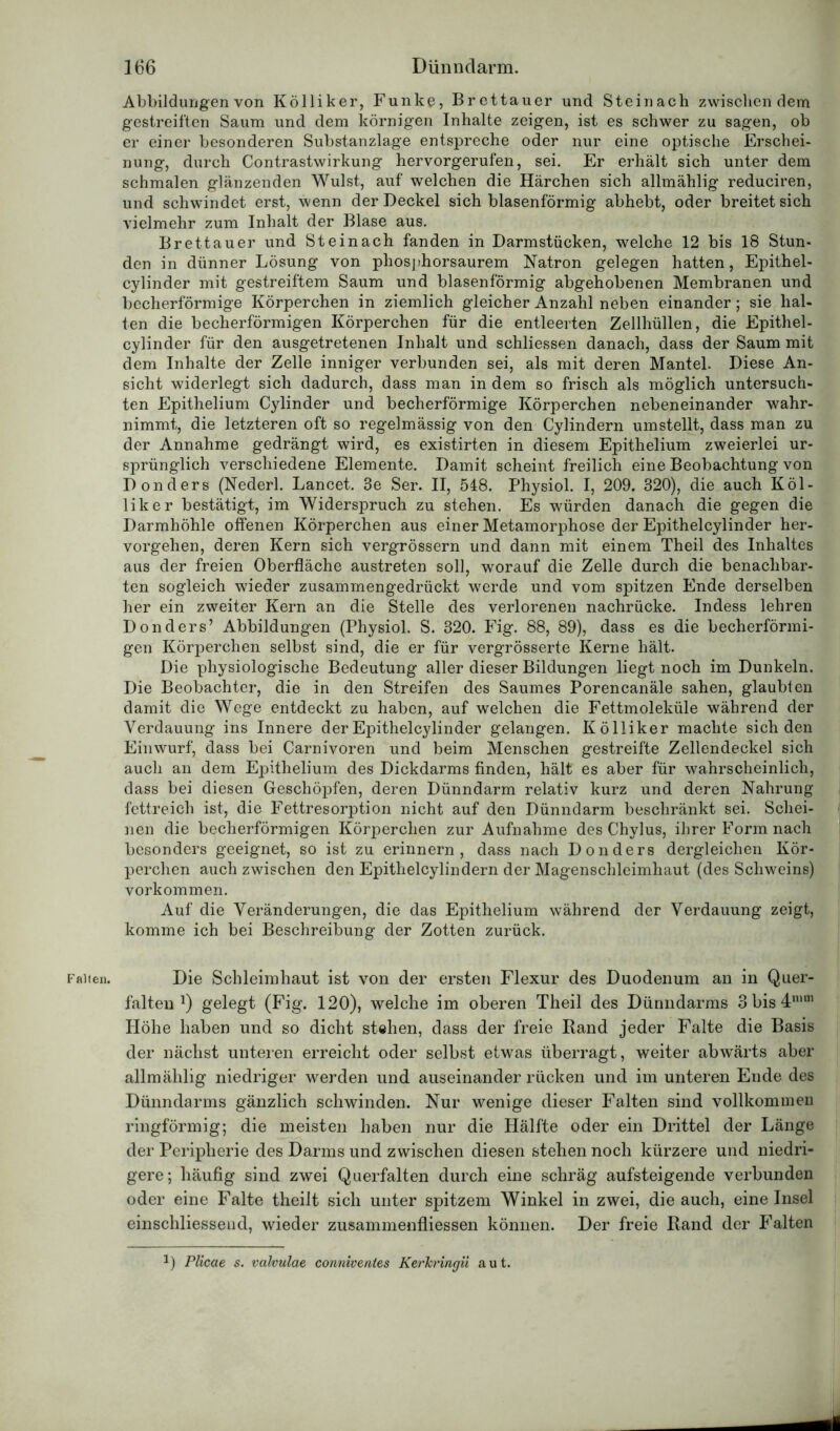 Fallen. Abbildungen von Kölliker, Funke, Brettauer und Steinach zwischen dem gestreiften Saum und dem körnigen Inhalte zeigen, ist es schwer zu sagen, ob er einer besonderen Substanzlage entspreche oder nur eine optische Erschei- nung, durch Contrastwirkung hervorgerufen, sei. Er erhält sich unter dem schmalen glänzenden Wulst, auf welchen die Härchen sich allmählig reduciren, und schwindet erst, wenn der Deckel sich blasenförmig abhebt, oder breitet sich vielmehr zum Inhalt der Blase aus. Brettauer und Steinach fanden in Darmstücken, welche 12 bis 18 Stun- den in dünner Lösung von phosphorsaurem Natron gelegen hatten, Epithel- cylinder mit gestreiftem Saum und blasenförmig abgehobenen Membranen und becherförmige Körperchen in ziemlich gleicher Anzahl neben einander; sie hal- ten die becherförmigen Körperchen für die entleerten Zellhüllen, die Epithel- cylinder für den ausgetretenen Inhalt und schliessen danach, dass der Saum mit dem Inhalte der Zelle inniger verbunden sei, als mit deren Mantel. Diese An- sicht widerlegt sich dadurch, dass man in dem so frisch als möglich untersuch- ten Epithelium Cylinder und becherförmige Körperchen nebeneinander wahr- nimmt, die letzteren oft so regelmässig von den Cylindern umstellt, dass man zu der Annahme gedrängt wird, es existirten in diesem Epithelium zweierlei ur- sprünglich verschiedene Elemente. Damit scheint freilich eine Beobachtung von Donders (Nederl. Lancet. 3e Ser. II, 548. Physiol. I, 209. 320), die auch Köl- liker bestätigt, im Widerspruch zu stehen. Es würden danach die gegen die Darmhöhle offenen Körperchen aus einer Metamorphose der Epitheleylinder her- vorgehen, deren Kern sich vergrössern und dann mit einem Theil des Inhaltes aus der freien Oberfläche austreten soll, worauf die Zelle durch die benachbar- ten sogleich wieder zusammengedrückt werde und vom spitzen Ende derselben her ein zweiter Kern an die Stelle des verlorenen nachrücke. Indess lehren Donders’ Abbildungen (Physiol. S. 320. Fig. 88, 89), dass es die becherförmi- gen Körperchen selbst sind, die er für vergrösserte Kerne hält. Die physiologische Bedeutung aller dieser Bildungen liegt noch im Dunkeln. Die Beobachter, die in den Streifen des Saumes Porencanäle sahen, glaubten damit die Wege entdeckt zu haben, auf welchen die Fettmoleküle während der Verdauung ins Innere der Epithel cylinder gelangen. Kölliker machte sich den Einwurf, dass bei Carnivoren und beim Menschen gestreifte Zellendeckel sich auch an dem Epithelium des Dickdarms finden, hält es aber für wahrscheinlich, dass bei diesen Geschöpfen, deren Dünndarm relativ kurz und deren Nahrung fettreich ist, die Fettresorption nicht auf den Dünndarm beschränkt sei. Schei- nen die becherförmigen Körperchen zur Aufnahme des Chylus, ihrer Form nach besonders geeignet, so ist zu erinnern, dass nach Donders dergleichen Kör- perchen auch zwischen den Epitheleylindern der Magenschleimhaut (des Schweins) Vorkommen. Auf die Veränderungen, die das Epithelium während der Verdauung zeigt, komme ich bei Beschreibung der Zotten zurück. Die Schleimhaut ist von der ersten Flexur des Duodenum an in Quer- falten gelegt (Fig. 120), welche im oberen Theil des Dünndarms 3bis4nim Höhe haben und so dicht stehen, dass der freie Rand jeder Falte die Basis der nächst unteren erreicht oder selbst etwas überragt, weiter abwärts aber allmählig niedriger werden und auseinander rücken und im unteren Ende des Dünndarms gänzlich schwinden. Nur wenige dieser Falten sind vollkommen ringförmig; die meisten haben nur die Hälfte oder ein Drittel der Länge der Peripherie des Darms und zwischen diesen stehen noch kürzere und niedri- gere; häufig sind zwei Querfalten durch eine schräg aufsteigende verbunden oder eine Falte theilt sich unter spitzem Winkel in zwei, die auch, eine Insel einschliesseud, wieder zusammenfliessen können. Der freie Rand der Falten J) Plicae s. valvulae connivenies Kerkringii aut.