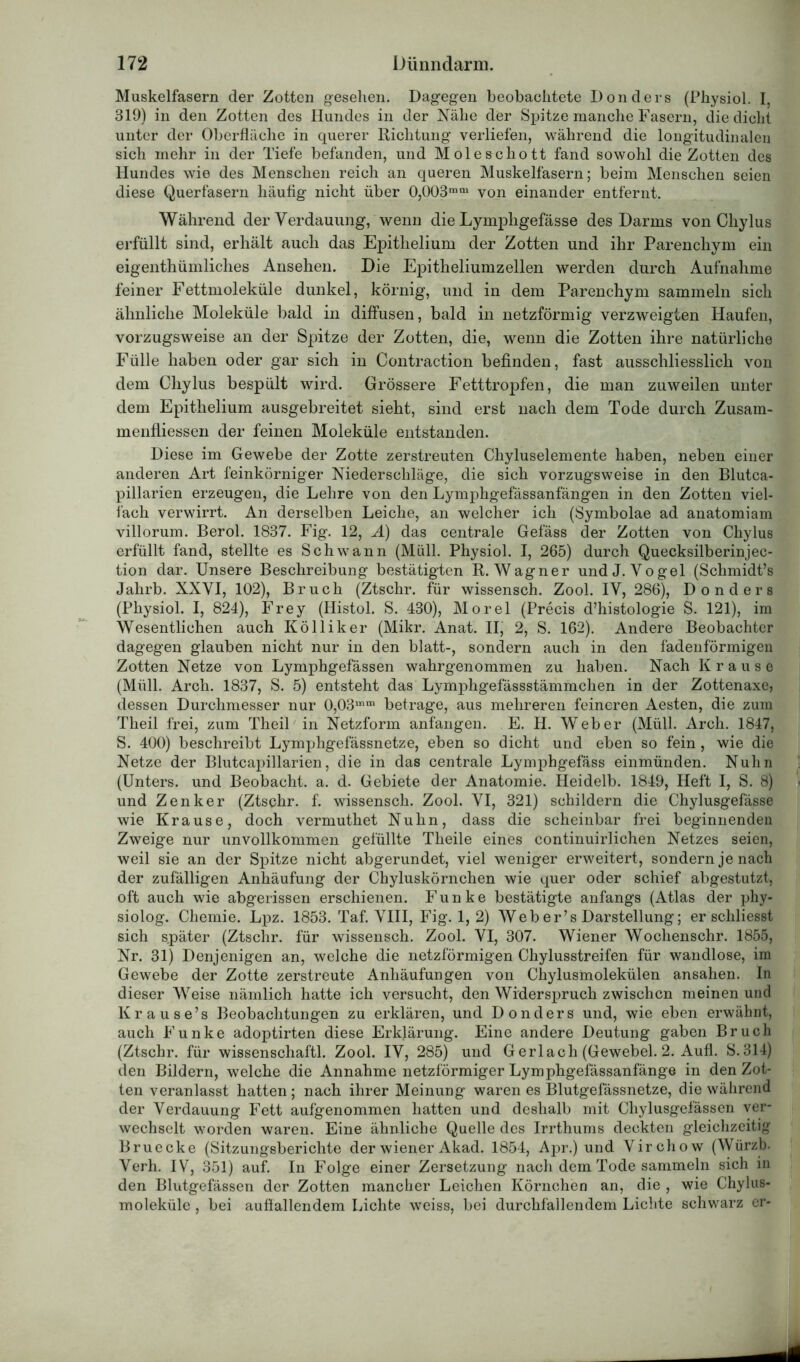 Muskelfasern der Zotten gesehen. Dagegen beobachtete Donders (Physiol. I 319) in den Zotten des Hundes in der Nähe der Spitze manche Fasern, die dicht unter der Oberfläche in querer Richtung verliefen, während die longitudinalen sich mehr in der Tiefe befanden, und Moleschott fand sowohl die Zotten des Hundes wie des Menschen reich an queren Muskelfasern; beim Menschen seien diese Querfasern häutig nicht über 0,003ram von einander entfernt. Während der Verdauung, wenn die Lympligefässe des Darms von Chylus erfüllt sind, erhält auch das Epithelium der Zotten und ihr Parenchym ein eigenthümliches Ansehen. Die Epitheliumzellen werden durch Aufnahme feiner Fettmoleküle dunkel, körnig, und in dem Parenchym sammeln sich ähnliche Moleküle bald in diffusen, bald in netzförmig verzweigten Haufen, vorzugsweise an der Spitze der Zotten, die, wenn die Zotten ihre natürliche Fülle haben oder gar sich in Contraction befinden, fast ausschliesslich von dem Chylus bespült wird. Grössere Fetttropfen, die man zuweilen unter dem Epithelium ausgebreitet sieht, sind erst nach dem Tode durch Zusam- menfliessen der feinen Moleküle entstanden. Diese im Gewebe der Zotte zerstreuten Chyluselemente haben, neben einer anderen Art feinkörniger Niederschläge, die sich vorzugsweise in den Blutca- pillarien erzeugen, die Lehre von den Lymphgefässanfängen in den Zotten viel- fach verwirrt. An derselben Leiche, an welcher ich (Symbolae ad anatomiam villorum. Berol. 1837. Fig. 12, Ä) das centrale Gefäss der Zotten von Chylus erfüllt fand, stellte es Schwann (Müll. Physiol. I, 265) durch Quecksilberinjec- tion dar. Unsere Beschreibung bestätigten R. Wagner und J. Vogel (Schmidt’s Jahrb. XXVI, 102), Bruch (Ztschr. für wissensch. Zool. IV, 286), Donders (Physiol. I, 824), Frey (Histol. S. 430), Morel (Precis d’histologie S. 121), im Wesentlichen auch Kölliker (Mikr. Anat. II, 2, S. 162). Andere Beobachter dagegen glauben nicht nur in den blatt-, sondern auch in den fadenförmigen Zotten Netze von Lymphgefässen wahrgenommen zu haben. Nach Krause (Müll. Arch. 1837, S. 5) entsteht das Lymphgefässstämmchen in der Zottenaxe, dessen Durchmesser nur 0,03mm betrage, aus mehreren feineren Aesten, die zum Theil frei, zum Theil in Netzform anfangen. E. H. Weber (Müll. Arch. 1847, S. 400) beschreibt Lymphgefässnetze, eben so dicht und eben so fein, wie die Netze der Blutcapillarien, die in das centrale Lymphgefäss einmünden. Nuhn (Unters, und Beobacht, a. d. Gebiete der Anatomie. Heidelb. 1849, Heft I, S. 8) und Zenker (Ztschr. f. wissensch. Zool. VI, 321) schildern die Chylusgefässe wie Krause, doch vermuthet Nuhn, dass die scheinbar frei beginnenden Zweige nur unvollkommen gefüllte Theile eines continuirlichen Netzes seien, weil sie an der Spitze nicht abgerundet, viel weniger erweitert, sondern je nach der zufälligen Anhäufung der Chyluskörnchen wie quer oder schief abgestutzt, oft auch wie abgerissen erschienen. Funke bestätigte anfangs (Atlas der phy- siolog. Chemie. Lpz. 1853. Taf. VIII, Fig. 1, 2) Web er’s Darstellung; er schliesst sich später (Ztschr. für wissensch. Zool. VI, 307. Wiener Wochenschr. 1855, Nr. 31) Denjenigen an, welche die netzförmigen Chylusstreifen für wandlose, im Gewebe der Zotte zerstreute Anhäufungen von Chylusmolekülen ansahen. In dieser Weise nämlich hatte ich versucht, den Widersj)ruch zwischen meinen und Krause’s Beobachtungen zu erklären, und Donders und, wie eben erwähnt, auch Funke adoptirten diese Erklärung. Eine andere Deutung gaben Bruch (Ztschr. für wissenschaftl. Zool. IV, 285) und Gerlach (Gewebel. 2. Aufl. S.314) den Bildern, welche die Annahme netzförmiger Lymphgefässanfänge in den Zot- ten veranlasst hatten; nach ihrer Meinung waren es Blutgefässnetze, die während der Verdauung Fett aufgenommen hatten und deshalb mit Chylusgefässen ver- wechselt worden waren. Eine ähnliche Quelle des Irrthums deckten gleichzeitig Bruecke (Sitzungsberichte der wiener Akad. 1854, Apr.) und Virchow (Würzb. Verh. IV, 351) auf. In Folge einer Zersetzung nach dem Tode sammeln sich in den Blutgefässen der Zotten mancher Leichen Körnchen an, die , wie Chylus- moleküle , bei auflallendem Lichte weiss, bei durchfallendem Lichte schwarz er-