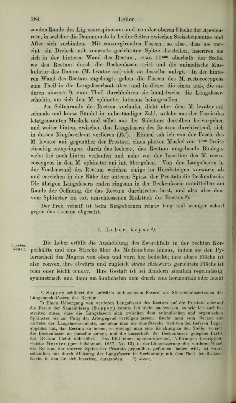 f. Leber. Gestalt. zenden Rande des Lig. sacrospinosum und von der oberen Fläche der Aponeu- rose, in welcher die Dammmuskeln beider Seiten zwischen Steissbeinspitze und After sich verbinden. Mit convergirenden Fasern, so also, dass sie ver- eint ein Dreieck mit vorwärts gerichteter Spitze darstellen, inseriren sie sich in der hinteren Wand des Rectum, etwa 10ram oberhalb der Stelle, wo das Rectum durch die Beckenfascie tritt und die animalische Mus- kulatur des Damms (M. levator ani) sich an dasselbe anlegt. In der hinte- ren Wand des Rectum angelangt, gehen die Fasern des M. rectococcygeus zum Theil in die Längsfaserhaut über, und in dieser die einen auf-, die an- deren abwärts zum Theil durchbohren sie bündelweise die Längsfaser- schichte, um sich dem M. sphincter internus beizugesellen. Am Seitenrande des Rectum verlaufen dicht über dem M. levator ani schmale und kurze Bündel in unbeständiger Zahl, welche aus der Fascie des letztgenannten Muskels und selbst aus der Substanz derselben hervorgehen und weiter hinten, zwischen den Längsfasern des Rectum durchtretend, sich in dessen Ringfaserhaut verlieren (Rcf). Einmal sah ich von der Fascie des M. levator ani, gegenüber der Prostata, einen platten Muskel von 4mm Breite einseitig entspringen, durch das lockere, das Rectum umgebende Bindege- webe frei nach hinten verlaufen und nahe vor der Insertion des M. recto- coccygeus in den M. sphincter ani int. übergehen. Von den Längsfasern in der Yorderwand des Rectum weichen einige im Herabsteigen vorwärts ab und erreichen in der Nähe der unteren Spitze der Prostata die Beckenfascie. Die übrigen Längsfasern enden ringsum in der Beckenfascie unmittelbar am Rande der Oeffnung, die das Rectum durchtreten lässt, und also über dem vom Sphincter ani ext. umschlossenen Endstück des Rectum * 2). Der Proc. vermif. ist beim Neugebornen relativ lang und 'weniger scharf gegen das Coecum abgesetzt. Die Leber erfüllt die Aushöhlung des Zwerchfells in der rechten Kör- perhälfte und eine Strecke über die Medianebene hinaus, indem sie den Py- lorustheil des Magens von oben und vorn her bedeckt; ihre obere Fläche ist also convex, ihre abwärts und zugleich etwas rückwärts gerichtete Fläche ist plan oder leicht concav. Ihre Gestalt ist bei Kindern ziemlich regelmässig, symmetrisch und dann am ähnlichsten dem durch eine horizontale oder leicht *) Sappey schildert die aufwärts umbiegenden Fasern als Steissbeininsertionen der Längsmuskelfasern des Rectum. 2) Einen Uebergang von vorderen Längsfasern des Rectum auf die Prostata oder auf die Fascie der Samenblasen (Sappey) konnte ich nicht nachweisen, so wie ich auch be- streiten muss, dass die Längsfasern sich zwischen dem animalischen und organischen Sphincter bis zur Cutis der Aftergegend verfolgen lassen. Sucht man vom Becken aus mittelst der Längsfaserschichte, nachdem man sie eine Strecke weit von den tieferen Lagen abgelöst hat, das Rectum zu heben, so erzeugt man eine Knickung an der Stelle, wo sich die Beckenfascie an dasselbe anlegt, und die ausserhalb der Beckenfascie gelegene Partie des Rectum bleibt unberührt. Das Bild einer aponeurotischen, V förmigen lnscription, welche Mercier (gaz. hebdomad. 1857. Nr. 13) in der Längsfaserung der vorderen Wand des Rectum, der unteren Spitze der Prostata gegenüber, gefunden haben will, ist wahr- scheinlich nur durch Ablösung der Längsfasern in Verbindung mit dem Theil der Becken- fascie, in den sie sich inseriren, entstanden. 3) Jecur.