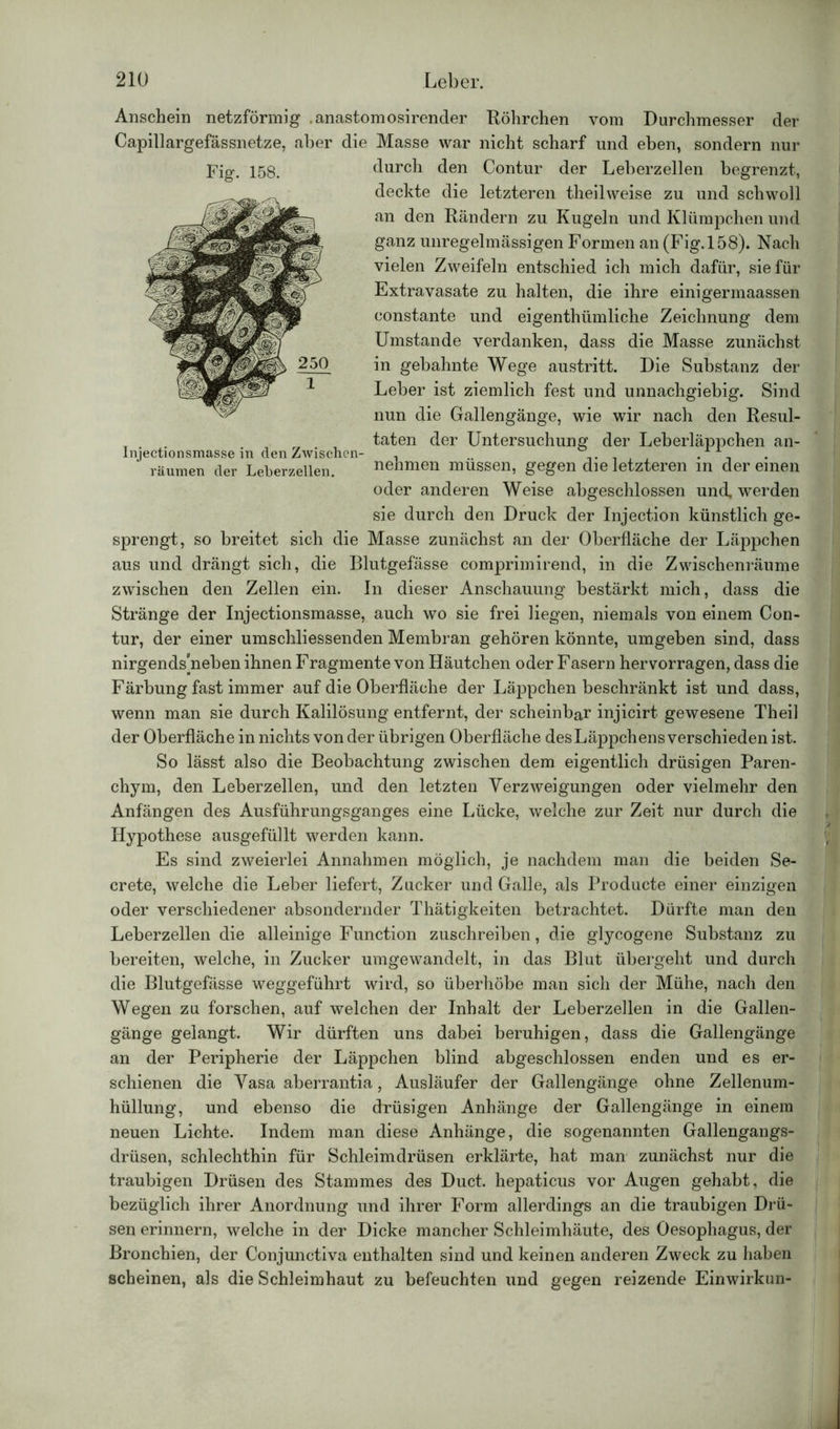 Anschein netzförmig .anastomosirender Röhrchen vom Durchmesser der Capillargefässnetze, aber die Masse war nicht scharf und eben, sondern nur durch den Contur der Leberzellen begrenzt, deckte die letzteren theilweise zu und schwoll an den Rändern zu Kugeln und Klümpchen und ganz unregelmässigen Formen an (Fig.158). Nach vielen Zweifeln entschied ich mich dafür, sie für Extravasate zu halten, die ihre einigermaassen constante und eigenthümliche Zeichnung dem Umstande verdanken, dass die Masse zunächst in gebahnte Wege austritt. Die Substanz der Leber ist ziemlich fest und unnachgiebig. Sind nun die Gallengänge, wie wir nach den Resul- taten der Untersuchung der Leberläppchen an- lnjectionsmasse in den Zwischen- , .. . A räumen der Leberzellen. nehmen müssen, gegen die letzteren in der einen oder anderen Weise abgeschlossen und, werden sie durch den Druck der Injection künstlich ge- sprengt, so breitet sich die Masse zunächst an der Oberfläche der Läppchen aus und drängt sich, die Blutgefässe comprimirend, in die Zwischenräume zwischen den Zellen ein. In dieser Anschauung bestärkt mich, dass die Stränge der Injectionsmasse, auch wo sie frei liegen, niemals von einem Con- tur, der einer umschliessenden Membran gehören könnte, umgeben sind, dass nirgends neben ihnen Fragmente von Häutchen oder Fasern hervorragen, dass die Färbung fast immer auf die Oberfläche der Läppchen beschränkt ist und dass, wenn man sie durch Kalilösung entfernt, der scheinbar injicirt gewesene Th eil der Oberfläche in nichts von der übrigen Oberfläche desLäppchens verschieden ist. So lässt also die Beobachtung zwischen dem eigentlich drüsigen Paren- chym, den Leberzellen, und den letzten Verzweigungen oder vielmehr den Anfängen des Ausführungsganges eine Lücke, welche zur Zeit nur durch die Hypothese ausgefüllt werden kann. Es sind zweierlei Annahmen möglich, je nachdem man die beiden Se- crete, welche die Leber liefert, Zucker und Galle, als Producte einer einzigen oder verschiedener absondernder Thätigkeiten betrachtet. Dürfte man den Leberzellen die alleinige Function zuschreiben, die glycogene Substanz zu bereiten, welche, in Zucker umgewandelt, in das Blut übergeht und durch die Blutgefässe weggeführt wird, so überhöbe man sich der Mühe, nach den Wegen zu forschen, auf welchen der Inhalt der Leberzellen in die Gallen- gänge gelangt. Wir dürften uns dabei beruhigen, dass die Gallengänge an der Peripherie der Läppchen blind abgeschlossen enden und es er- schienen die Vasa aberrantia, Ausläufer der Gallengänge ohne Zellenum- hüllung, und ebenso die drüsigen Anhänge der Gallengänge in einem neuen Lichte. Indem man diese Anhänge, die sogenannten Gallengangs- drüsen, schlechthin für Schleimdrüsen erklärte, hat man zunächst nur die traubigen Drüsen des Stammes des Duct. hepaticus vor Augen gehabt, die bezüglich ihrer Anordnung und ihrer Form allerdings an die traubigen Drü- sen erinnern, welche in der Dicke mancher Schleimhäute, des Oesophagus, der Bronchien, der Conjunctiva enthalten sind und keinen anderen Zweck zu haben scheinen, als die Schleimhaut zu befeuchten und gegen reizende Einwirkun- Fig. 158.