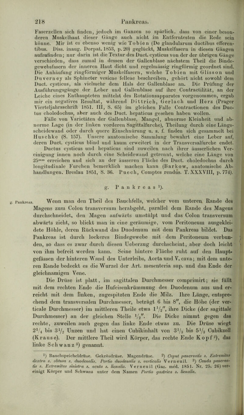 Faserzellen sich finden, jedoch im Ganzen so spärlich, dass von einer beson- deren Muskelhaut dieser Gänge auch nicht im Entferntesten die Rede sein könne. Mir ist es ebenso wenig wie Tobien (De glandularum ductibus efferen- tibus. Diss. inaug. Dorpat. 1853, p. 20) geglückt, Muskelfasern in diesen Gängen aufzufinden; nur darin ist die Textur des Duct. cysticus von der der übrigen Gänge verschieden, dass zumal in dessen der Gallenblase nächstem Theil die Binde- gewebsfasern der inneren Haut dicht und regelmässig ringförmig geordnet sind. Die Anhäufung ringförmiger Muskelfasern, welche Tobien mit Glisson und Duverney als Sphincter vesicae felleae beschreiben, gehört nicht sowohl dem Duct. cysticus, als vielmehr dem Hals der Gallenblase an. Die Prüfung der Ausführungsgänge der Leber und Gallenblase auf ihre Contractilität, an der Leiche eines Enthaupteten mittelst des Rotationsapparates vorgenommen, ergab mir ein negatives Resultat, während Dittrich, Gerlach und Herz (Prager Vierteljahrsschrift 1851. III, S. 65) im gleichen Falle Contractionen des Duc- tus choledochus, aber auch des Duct. hepaticus gesehen haben wollen. Fälle von Varietäten der Gallenblase, Mangel, abnorme Kleinheit und ab- norme Lage (in der linken vorderen Sagittalfurche), Theilung durch eine Längs- scheidewand oder durch quere Einschnürung u. s. f. finden sich gesammelt bei Huschke (S. 157). Unsere anatomische Sammlung bewahrt eine Leber auf, deren Duct. cysticus blind und kaum erweitert in der Transversalfurche endet. Ductus cysticus und hepaticus sind zuweilen nach ihrer äusserlichen Ver- einigung innen noch durch eine Scheidewand getrennt, welche eine Länge von 25mm erreichen und sich an der äusseren Fläche des Duct. choledochus durch longitudinale Furchen bemerklich machen kann (Barkow, anatomische Ab- handlungen. Breslau 1851, S. 36. Puech, Comptes rendus. T. XXXVIII, p. 774). g. Pankreas1). g. Pankreas. Wenn man den Theil des Bauchfells, welcher vom unteren Rande des Magens zum Colon transversum herabgeht, parallel dem Rande des Magens durchschneidet, den Magen aufwärts um stülpt und das Colon transversum abwärts zieht, so blickt man in eine geräumige, vom Peritoneum ausgeklei- dete Höhle, deren Rückwand das Duodenum mit dem Pankreas bildet. Das Pankreas ist durch lockeres Bindegewebe mit dem Peritoneum verbun- : den, so dass es zwar durch diesen Ueberzug durchscheint, aber doch leicht von ihm befreit werden kann. Seine hintere Fläche ruht auf den Haupt- gefässen der hinteren Wand des Unterleibs, Aorta und V. cava; mit dem unte- ren Rande bedeckt es die Wurzel der Art. mesenteria sup. und das Ende der gleichnamigen Vene. Die Drüse ist platt, im sagittalen Durchmesser comprimirt; sie füllt mit dem rechten Ende die Hufeisenkrümmung des Duodenum aus und er- reicht mit dem linken, zugespitzten Ende die Milz. Ihre Länge, entspre- chend dem transversalen Durchmesser, beträgt 6 bis 8, die Höhe (der ver- ticale Durchmesser) im mittleren Tlieile etwa 11/2,\ ihre Dicke (der sagittale Durchmesser) an der gleichen Stelle 1/2,/. Die Dicke nimmt gegen das rechte, zuweilen auch gegen das linke Ende etwas zu. Die Drüse wiegt 21/4 bis 31/2 Unzen und hat einen Cubikinhalt von 31/3 bis hl/3 Cubikzoll (Krause). Der mittlere Theil wird Körper, das rechte Ende Kopf2), das linke Schwanz3) genannt. 1) Bauchspeicheldrüse. Gekrösdrüse. Magendrüse. Caput pancreatis s. Extremität i | dextra s. obtusa s. duodenalis. Portio duodenalis s. verticalis Verneuil. 3) Cauda pancrea- tis s. Extremitas sinistra s. acuta s. lienalis. Verneuil (Gaz. med. 1851. Nr. 25. 26) ver- einigt Körper und Schwanz unter dem Namen Portio gastrica s. lienalis.