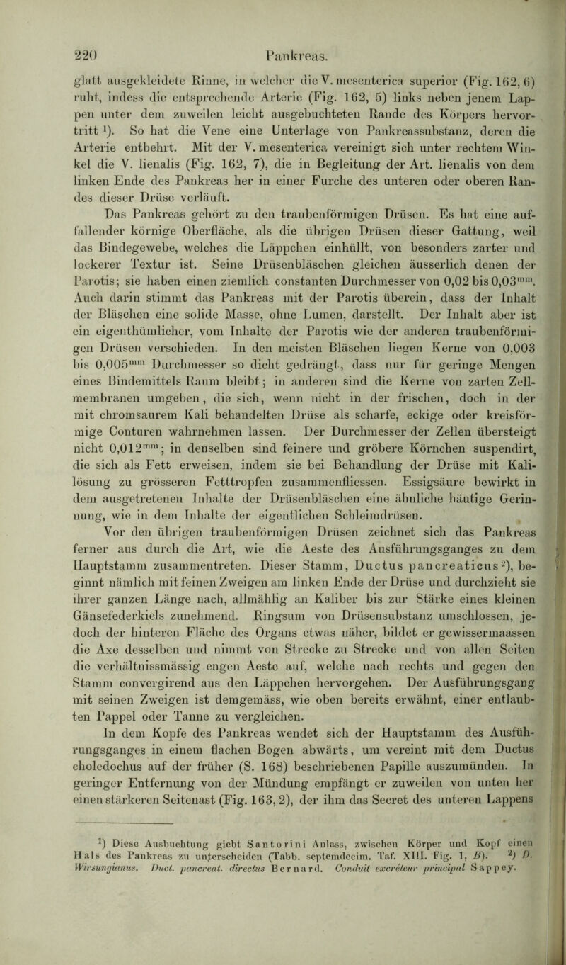 glatt ausgekleidete Rinne, in welcher die V. mesenterica superior (F’ig. 162, 6) ruht, indess die entsprechende Arterie (Fig. 162, 5) links neben jenem Lap- pen unter dem zuweilen leicht ausgebuchteten Rande des Körpers hervor- tritt l). So hat die Vene eine Unterlage von Pankreassubstanz, deren die Arterie entbehrt. Mit der V. mesenterica vereinigt sich unter rechtem Win- kel die V. lienalis (Fig. 162, 7), die in Begleitung der Art. lienalis von dem linken Ende des Pankreas her in einer Furche des unteren oder oberen Ran- des dieser Drüse verläuft. Das Pankreas gehört zu den traubenförmigen Drüsen. Es hat eine auf- fallender körnige Oberfläche, als die übrigen Drüsen dieser Gattung, weil das Bindegewebe, welches die Läppchen einhüllt, von besonders zarter und lockerer Textur ist. Seine Drüsenbläschen gleichen äusserlich denen der Parotis; sie haben einen ziemlich constanten Durchmesser von 0,02 bis 0,03mm. x\uch darin stimmt das Pankreas mit der Parotis überein, dass der Inhalt der Bläschen eine solide Masse, ohne Lumen, darstellt. Der Inhalt aber ist ein eigenthümlieher, vom Inhalte der Parotis wie der anderen traubenförmi- gen Drüsen verschieden. In den meisten Bläschen liegen Kerne von 0,003 bis 0,005mm Durchmesser so dicht gedrängt, dass nur für geringe Mengen eines Bindemittels Raum bleibt; in anderen sind die Kerne von zarten Zell- membranen umgeben, die sich, wenn nicht in der frischen, doch in der mit chromsaurem Kali behandelten Drüse als scharfe, eckige oder kreisför- mige Conturen wahrnehmen lassen. Der Durchmesser der Zellen übersteigt nicht 0,012mm; in denselben sind feinere und gröbere Körnchen suspendirt, die sich als Fett erweisen, indem sie bei Behandlung der Drüse mit Kali- lösung zu grösseren Fetttropfen zusammenfliessen. Essigsäure bewirkt in dem ausgetretenen Inhalte der Drüsenbläschen eine ähnliche häutige Gerin- nung, wie in dem Inhalte der eigentlichen Schleimdrüsen. Vor den übrigen traubenförmigen Drüsen zeichnet sich das Pankreas ferner aus durch die Art, wie die Aeste des Ausführungsganges zu dem Ilauptstamm zusammentreten. Dieser Stamm, Ductus pancreaticus-), be- 1 ginnt nämlich mit feinen Zweigen am linken Ende der Drüse und durchzieht sie ihrer ganzen Länge nach, allmählig an Kaliber bis zur Stärke eines kleinen Gänsefederkiels zunehmend. Ringsum von Drüsensubstanz umschlossen, je- doch der hinteren Fläche des Organs etwas näher, bildet er gewissermaassen die Axe desselben und nimmt von Strecke zu Strecke und von allen Seiten die verhältnissmässig engen Aeste auf, welche nach rechts und gegen den Stamm convergirend aus den Läppchen hervorgehen. Der Ausführungsgang mit seinen Zweigen ist demgemäss, wie oben bereits erwähnt, einer entlaub- ten Pappel oder Tanne zu vergleichen. In dem Kopfe des Pankreas wendet sich der Hauptstamm des Ausfüh- rungsganges in einem flachen Bogen abwärts, um vereint mit dem Ductus choledochus auf der früher (S. 168) beschriebenen Papille auszumünden. In geringer Entfernung von der Mündung empfängt er zuweilen von unten her einen stärkeren Seitenast (Fig. 163, 2), der ihm das Secret des unteren Lappens 0 Diese Ausbuchtung giebt Santorini Anlass, zwischen Körper und Kopf einen Hals des Pankreas zu unterscheiden (Tabb. septemdecira. Taf. XIII. Fig. 1, ß). 2) 0- Wirsungianus. Duct. pancreat. directus Bernard. Conduit excreteur principal Sappey.