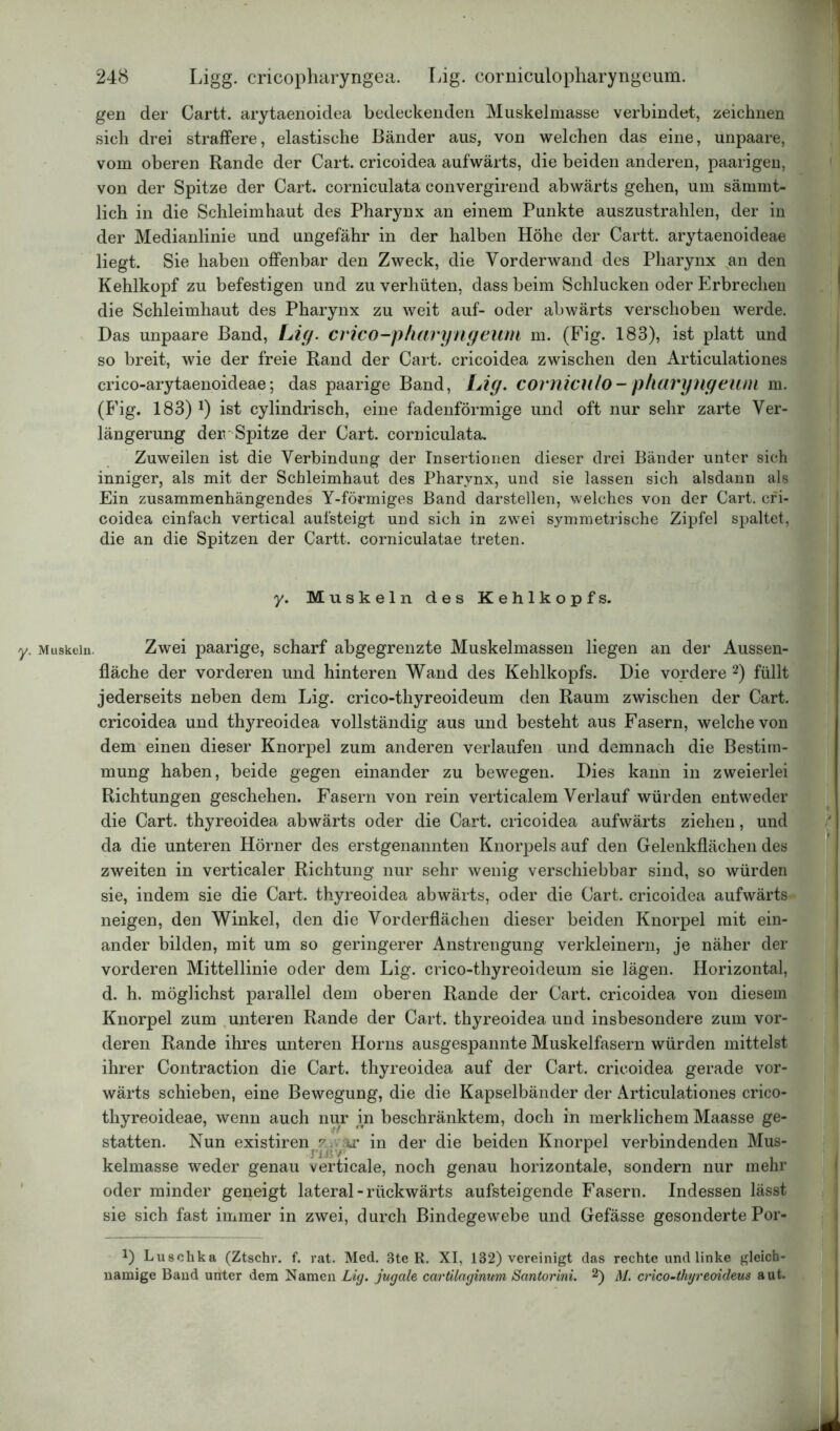 gen der Cartt. arytaenoidea bedeckenden Muskelmasse verbindet, zeichnen sich drei straffere, elastische Bänder aus, von welchen das eine, unpaare, vom oberen Rande der Cart. cricoidea aufwärts, die beiden anderen, paarigen, von der Spitze der Cart. corniculata convergirend abwärts gehen, um sänimt- lich in die Schleimhaut des Pharynx an einem Punkte auszustrahlen, der in der Medianlinie und ungefähr in der halben Höhe der Cartt. arytaenoideae liegt. Sie haben offenbar den Zweck, die Vorderwand des Pharynx an den Kehlkopf zu befestigen und zu verhüten, dass beim Schlucken oder Erbrechen die Schleimhaut des Pharynx zu weit auf- oder abwärts verschoben werde. Das unpaare Band, Li ff- crico-pharynffeiini m. (Fig. 183), ist platt und so breit, wie der freie Rand der Cart. cricoidea zwischen den Articulationes crico-arytaenoideae; das paarige Band, Li ff. comicitlo - pharyilffeiMl m. (Fig. 183) !) ist cylindrisch, eine fadenförmige und oft nur sehr zarte Ver- längerung derrSpitze der Cart. corniculata. Zuweilen ist die Verbindung der Insertionen dieser drei Bänder unter sich inniger, als mit der Schleimhaut des Pharynx, und sie lassen sich alsdann als Ein zusammenhängendes Y-förmiges Band darstellen, welches von der Cart. cri- coidea einfach vertical aufsteigt und sich in zwei symmetrische Zipfel spaltet, die an die Spitzen der Cartt. corniculatae treten. y. Muskeln des Kehlkopfs. y. Muskeln. Zwei paarige, scharf abgegrenzte Muskelmassen liegen an der Aussen- fläche der vorderen und hinteren Wand des Kehlkopfs. Die vordere 2) füllt jederseits neben dem Lig. crico-thyreoideum den Raum zwischen der Cart. cricoidea und thyreoidea vollständig aus und besteht aus Fasern, welche von dem einen dieser Knorpel zum anderen verlaufen und demnach die Bestim- mung haben, beide gegen einander zu bewegen. Dies kann in zweierlei Richtungen geschehen. Fasern von rein verticalem Verlauf würden entweder die Cart. thyreoidea abwärts oder die Cart. cricoidea aufwärts ziehen, und da die unteren Hörner des erstgenannten Knorpels auf den Gelenkflächen des zweiten in verticaler Richtung nur sehr wenig verschiebbar sind, so würden sie, indem sie die Cart. thyreoidea abwärts, oder die Cart. cricoidea aufwärts neigen, den Winkel, den die Vorderflächen dieser beiden Knorpel mit ein- ander bilden, mit um so geringerer Anstrengung verkleinern, je näher der vorderen Mittellinie oder dem Lig. crico-thyreoideum sie lägen. Horizontal, d. h. möglichst parallel dem oberen Rande der Cart. cricoidea von diesem Knorpel zum unteren Rande der Cart. thyreoidea und insbesondere zum vor- deren Rande ihres unteren Horns ausgespannte Muskelfasern würden mittelst ihrer Contraction die Cart. thyreoidea auf der Cart. cricoidea gerade vor- wärts schieben, eine Bewegung, die die Kapselbänder der Articulationes crico- thyreoideae, wenn auch nur in beschränktem, doch in merklichem Maasse ge- statten. Nun existiren^y. -jxr in der die beiden Knorpel verbindenden Mus- kelmasse weder genau verticale, noch genau horizontale, sondern nur mehr oder minder geneigt lateral - rückwärts aufsteigende Fasern. Indessen lässt sie sich fast immer in zwei, durch Bindegewebe und Gefässe gesonderte Por- *) Luschka (Ztschr. f. rat. Med. Bte R. XI, 132) vereinigt das rechte und linke gleich- namige Band unter dem Namen Lig. jugcde carlilagintm, Santorini. 2) M. crico-thyreoideus aut.