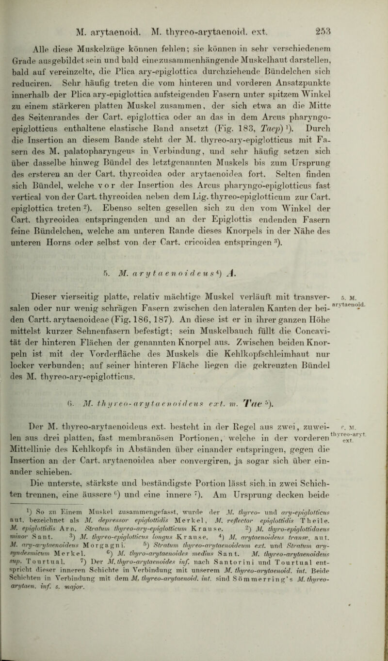 Alle diese Muskelzüge können fehlen; sie können in sehr verschiedenem Grade ausgebildet sein und bald einezusammenhängende Muskelhaut darstellen, bald auf vereinzelte, die Plica ary-epiglottica durchziehende Bündelchen sich reduciren. Sehr häufig treten die vom hinteren und vorderen Ansatzpunkte innerhalb der Plica ary-epiglottica aufsteigenden Fasern unter spitzem Winkel zu einem stärkeren platten Muskel zusammen, der sich etwa an die Mitte des Seitenrandes der Cart. epiglottica oder an das in dem Arcus pharyngo- epiglotticus enthaltene elastische Band ansetzt (Fig. 183, Taep)A). Durch die Insertion an diesem Bande steht der M. thyreo-ary-epiglotticus mit Fa- sern des M. palatopharyngeus in Verbindung, und sehr häufig setzen sich über dasselbe hinweg Bündel des letztgenannten Muskels bis zum Ursprung des ersteren an der Cart. thyreoidea oder arytaenoidea fort. Selten finden sich Bündel, welche vor der Insertion des Arcus pharyngo-epiglotticus fast vertical von der Cart. thyreoidea neben dem Lig. thyreo-epiglotticum zur Cart. epiglottica treten 2). Ebenso selten gesellen sich zu den vom Winkel der Cart. thyreoidea entspringenden und an der Epiglottis endenden Fasern feine Bündelchen, welche am unteren Rande dieses Knorpels in der Nähe des unteren Horns oder selbst von der Cart. cricoidea entspringen 3). 5. M. arytaenoideus4) A. Dieser vierseitig platte, relativ mächtige Muskel verläuft mit transver- 5. m. salen oder nur wenig schrägen Fasern zwischen den lateralen Kanten der bei- arjtaenojd' den Cartt. arytaenoideae (Fig. 186, 187). An diese ist er in ihrer ganzen Höhe mittelst kurzer Sehnenfasern befestigt; sein Muskelbauch füllt die Concavi- tät der hinteren Flächen der genannten Knorpel aus. Zwischen beiden Knor- peln ist mit der Vorderfläche des Muskels die Kehlkopfschleimhaut nur locker verbunden; auf seiner hinteren Fläche liegen die gekreuzten Bündel des M. thyreo-ary-epiglotticus. 6. M. thyreo-arytaenoideus ext. m. I'flt 5). Der M. thvreo-arytaenoideus ext. besteht in der Regel aus zwei, zuwei- r. m. len aus drei platten, fast membranösen Portionen, welche in der vorderenthy'ext.ai* Mittellinie des Kehlkopfs in Abständen über einander entspringen, gegen die Insertion an der Cart. arytaenoidea aber convergiren, ja sogar sich über ein- ander schieben. Die unterste, stärkste und beständigste Portion lässt sich in zwei Schich- ten trennen, eine äussere ü) und eine innere 7). Am Ursprung decken beide D So zu Einem Muskel zusammengefasst, wurde der M. thyreo- und ary-epiglotticus aut. bezeichnet als M. depressor epigiottidis Merkel, M. refiector epigiottidis Th eile. M. epigiottidis Arn. Stratum thyreo-ary-epiglotticum Krause. 2) M. thyro-epiglottidaeus minor Sant. 3) M. thyreo-epiglotticus longus Krause. 4) M. arytaenoideus transv, aut. M. ary-arytaenoideus Morgagni. 5) Stratum thyreo-arytaenoideum ext. und Stratum ary- syndesmicum Merkel. 6) M. thyro-arytaenoides medius Sant. M. thyreo-arytaenoideus sup. Tourtual. 7) Der M. thyro-arytaenoides inf. nach Santorini und Tourtual ent- spricht dieser inneren Schichte in Verbindung mit unserem M. thyreo-arytaenoid. int. Beide Schichten in Verbindung mit dem M. thyreo-arytaenoid. int. sind Sömmerr ing’s M.thyreo- arytaen. inf. s. major.