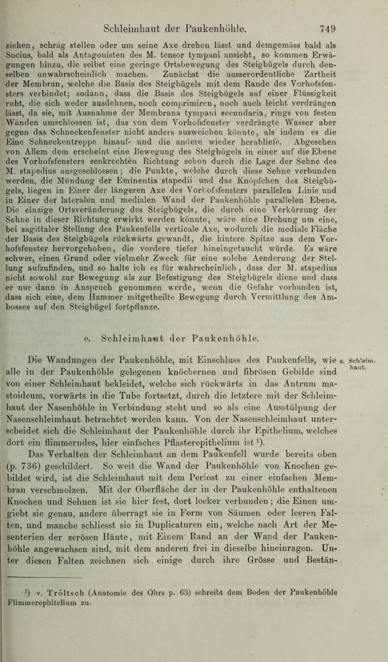ziehen, schräg stellen oder um seine Axe drehen lässt und demgemäss bald als Socius, bald als Antagonisten des M. tensor tympani ansieht, so kommen Erwä- gungen hinzu, die selbst eine geringe Ortsbewegung des Steigbügels durch den- selben unwahrscheinlich machen. Zunächst die ausserordentliche Zartheit der Membran, welche die Basis des Steigbügels mit dem Rande des Vorhofsfen- sters verbindet; sodann, dass die Basis des Steigbügels auf einer Flüssigkeit ruht, die sich weder ausdehnen, noch comprimiren, noch auch leicht verdrängen lässt, da sie, mit Ausnahme der Membrana tympani secundaria, rings von festen Wänden umschlossen ist, das von dem Vorhofsfenster verdrängte Wasser aber gegen das Schneckenfenster nicht anders ausweichen könnte, als indem es die Eine Schneckentreppe hinauf- und die andere wieder herabliefe. Abgesehen von Allem dem erscheint eine Bewegung des Steigbügels in einer auf die Ebene des Vorhofsfensters senkrechten Richtung schon durch die Lage der Sehne des M. stapedius ausgeschlossen; die Punkte, welche durch diese Sehne verbunden werden, die Mündung der Eminentia stapedii und das Knöpf dien des Steigbü- gels, liegen in Einer der längeren Axe des Vorhofsfensters parallelen Linie und in Einer der lateralen und medialen Wand der Paukenhöhle parallelen Ebene. Die einzige Ortsveränderung des Steigbügels, die durch eine Verkürzung der Sehne in dieser Richtung erwirkt werden könnte, wäre eine Drehung um eine, bei sagittaler Stellung des Paukenfells verticale Axe, wodurch die mediale Fläche der Basis des Steigbügels rückwärts gewandt, die hintere Spitze aus dem Vor- hofsfenster hervorgehoben, die vordere tiefer hineingetaucht würde. Es wäre schwer, einen Grund oder vielmehr Zweck für eine solche Aenderung der Stel- lung aufzufinden, und so halte ich es für wahrscheinlich , dass der M. stapedius nicht sowohl zur Bewegung als zur Befestigung des Steigbügels diene und dass er nur dann in Anspruch genommen werde, wenn die Gefahr vorhanden ist, dass sich eine, dem Hammer mitgetheilte Bewegung durch Vermittlung des Am- bosses auf den Steigbügel fortpflanze. e. Schleimhaut der Paukenhöhle. Die Wandungen der Paukenhöhle, mit Einschluss des Paukenfells, wie e alle in der Paukenhöhle gelegenen knöchernen und fibrösen Gebilde sind von einer Schleimhaut bekleidet, welche sich rückwärts in das Antrum ma- stoideum, vorwärts in die Tube fortsetzt, durch die letztere mit der Schleim- haut der Nasenhöhle in Verbindung steht und so als eine Ausstülpung der Nasenschleimhaut betrachtet werden kann. Von der Nasenschleimhaut unter- scheidet sich die Schleimhaut der Paukenhöhle durch ihr Epithelium, welches dort ein flimmerndes, hier einfaches Pflaster epithelium ist1). Das Verhalten der Schleimhaut an dem Paukenfell wurde bereits oben (p. 736) geschildert. So weit die Wand der Paukenhöhle von Knochen ge- bildet wird, ist die Schleimhaut mit dem Periost zu einer einfachen Mem- bran verschmolzen. Mit der Oberfläche der in der Paukenhöhle enthaltenen Knochen und Sehnen ist sie hier fest, dort locker verbunden; die Einen um- giebt sie genau, andere überragt sie in Form von Säumen oder leeren Fal- ten, und manche schliesst sie in Duplicaturen ein, welche nach Art der Me- senterien der serösen Häute, mit Einem Rand an der Wand der Pauken- höhle angewachsen sind, mit dem anderen frei in dieselbe hineinragen. Un- ter diesen Falten zeichnen sich einige durch ihre Grösse und Bestän- ]) v. Tröltsch (Anatomie des Ohrs p. 63) schreibt dem Boden der Paukenhöhle Flimmerephitelium zu. . Schleim- haut.